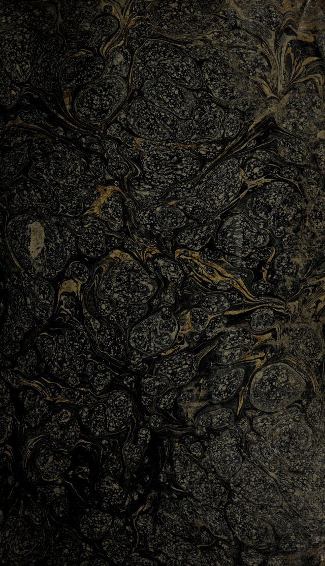 digitised image 1