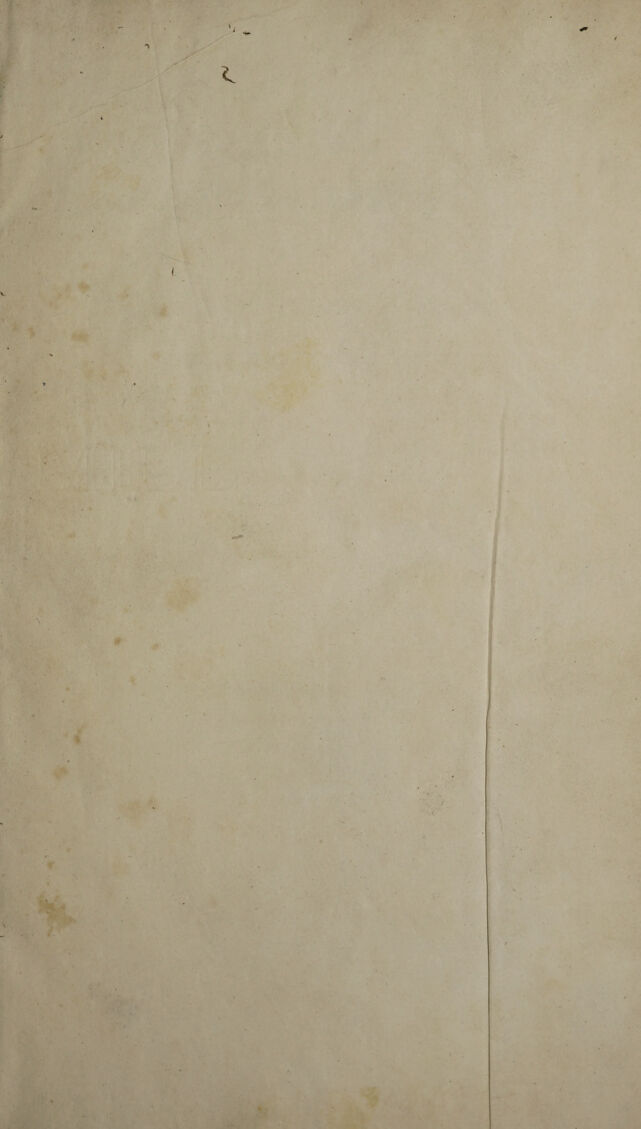 digitised image 3