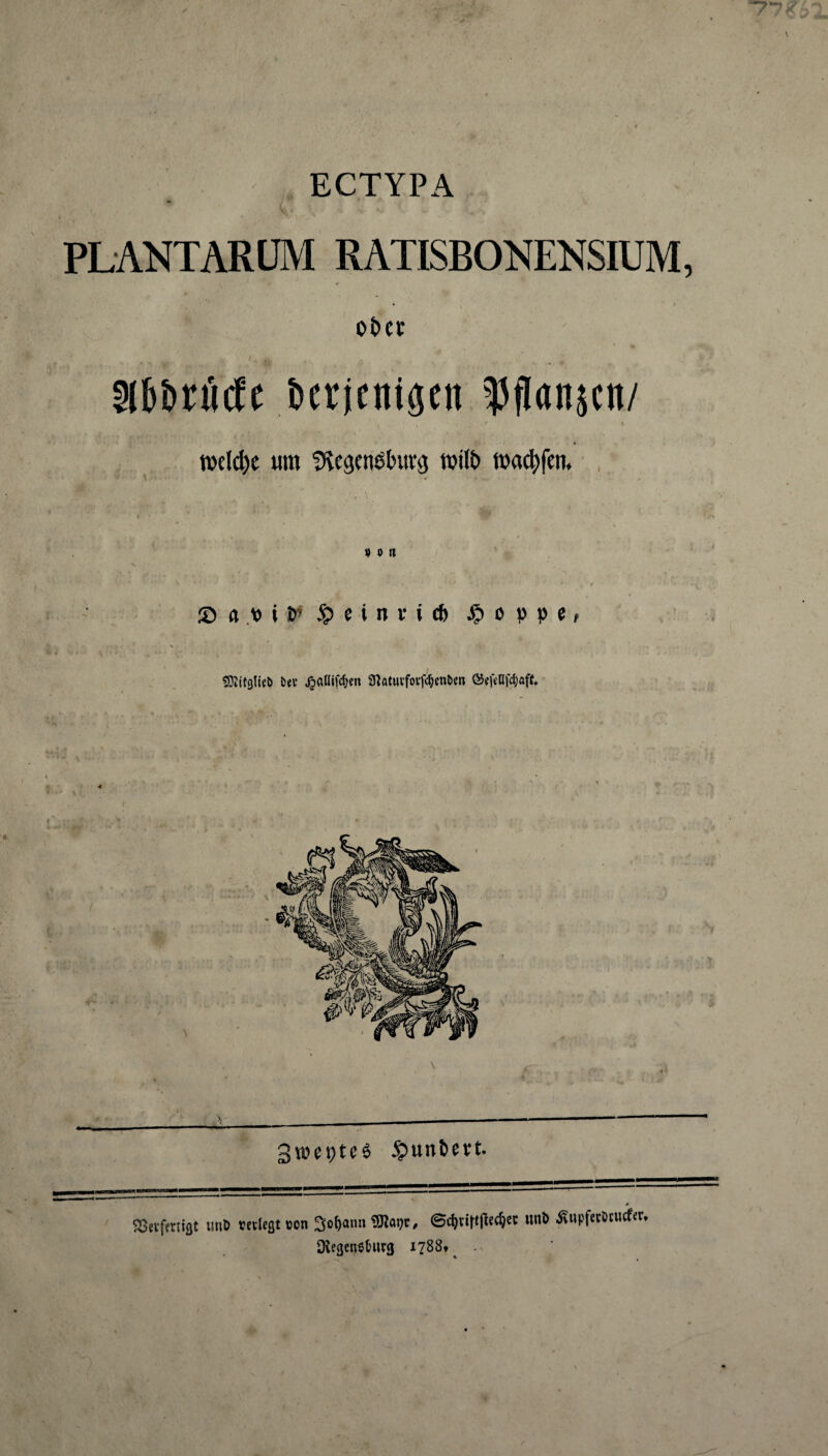 77* ECTYPA PLANTARUM RATISBONENSIUM, ofcct ll&örMe bevjcntscn ^flanjcn/ i ' . < / i welche um SHegendhtvg wifo warfen. . \ j> o tt 55 a t> i V $ e i n v i cfe % o p p e, SOiifgtteb bet Jjallifc&m 9?atuvfovfcl)enöen <33ef«Hfc$aflt. 3»et)te6 £unt>m. s gefertigt unO «etlegt von 3o*)aim ©c^viftfiec^cc unD ßupfetöcucfer* Dtegenötnirg 1788t fc»