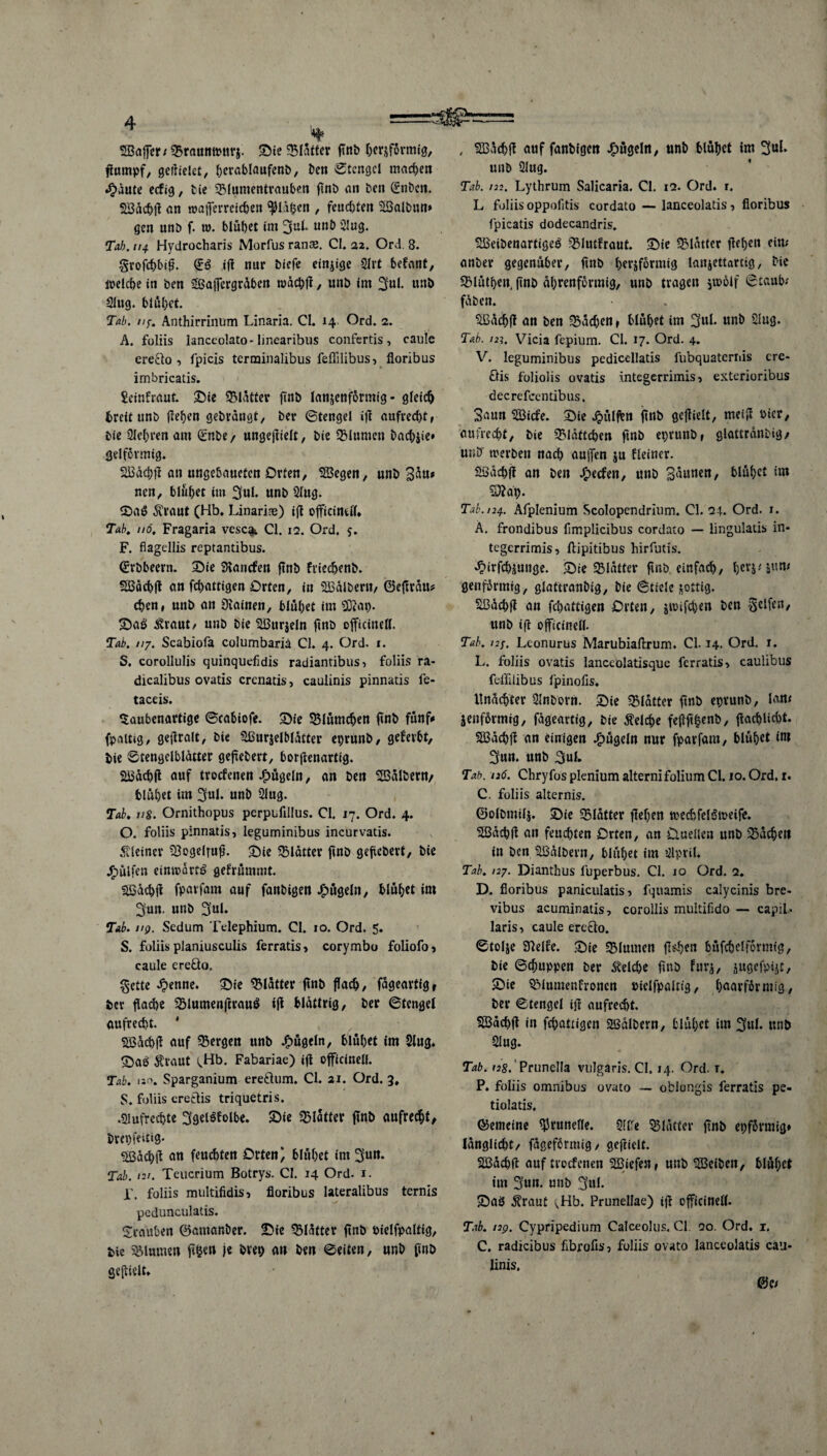 SBaffer; «Brauntpnrj. Sie ^Blatter ftnt> her*förmig, fiumpf, geilielet, (jerablaufenö, Den Stengel mad)en ^)aute eefig, Die SMumentrauben ftnb an Den Snbctt. Södchll an tuaiTerrcichen glühen , feuchten SSalbun» gen unb f. ro. blühet im 3ul. unb Slug. Tab. 114. Hydrocharis Morfus ranae. CI. 22. Ord. 8. Srofchbif?. (£3 ifl nur biefe einige Slrt befant, welche in ben Sßaffergrdben tuächfl, unb im 3ul. unb Slug, blühet. Tab. n$. Anthirrinum Linaria. CI. 14. Ord. 2. A. foliis lanceolato' linearibus confertis, caule erefto , fpicis terminalibus feflllibus , floribus imbricatis. Scinfraut. Sie SBIattcr ftnb lanjenformig - gleich (reit unb flehen gebrangt, ber ©tengel ift aufrecht, bie Sichren am (£nbe/ ungejlielt, bie Blumen Dad)jie» gelfcvmig. SBdchfl an ungebaueten Orten, Söegen, unb 3«»* nen, blühet im 3ul. unb Slug. Saö $rauf (Hb. Linaria) tfl officinell* Tab. //o, Fragaria vescaw CI. 12. Ord. F. flagellis reptantibus. ©rbbeern. Sie SKancfen ftnb fviechenb. 5Bäd)ft an fd)attigen Orten, in SBdibent, ©eftrdu* chen, unb an Üiainen, blühet im Sülat). Sa$ £raut, unb bie SBurjeln finb officinell. Tab. 117. Scabiofa columbariä CI. 4. Ord. 1. S. corollulis quinquefidis radiantibus, foliis ra- dicalibus ovatis crenatis, caulinis pinnatis fe- taceis. $aubenartige ©cabiofe. Sie ÜBlümdjen ftnb fünf* fpaitig, geflralt, bie Sßurjelbldtter eprunb, geferbt, bie ©tengclbldtter gefiebert, borflenartig. Sbdchfl auf troefenen Jjpügeln, an ben Süßdlbeni/ blühet im 2ful. unb Slug. Tal. uS. Ornithopus perpufillus. CI. 17. Ord. 4. O. foliis pinnatis, leguminibus incurvatis. kleiner 33ogelfufi. Sie glätter ftnb gefiebert, bie hülfen einmdrfö gefrümmt. äödchfl fparfam auf fanbigen bügeln, blühet im Sun. unb S’ul. Tab. //p. Sedum Telephium. CI. 10. Ord. 5. S. foliis planiusculis ferratis, corymbo foliofo, caule ereöo. g-ette ^)enne. Sie Blatter ftnb flach, fageartigf ber flache SMumenftrauö ifl blättrig, ber ©tengel aufrecht. * Södchfl auf bergen unb Jfpügeln, blühet im Slug. Saö $raut i,Hb. Fabariae) ifl officinell. Tab. »s^. Sparganium ereöum. CI. 21. Ord. 3, S. foliis cretlis triquetris. .Slufrechte 3gei$folbe. Sie glatter ftnb aufrecht/ Dreiseitig- aödchfl an feuchten Ortend blühet im 3ult* Tab. 121. Teucrium Botrys. CI. 14 Ord. 1. r. foliis mtiltifidis, floribus lateralibus ternis pedunculatis. Srduben ©amanber. Sie QMdtter ftnb Dielfpaltig, bie Blumen ft&en je bret) an ben ©eiten, unb ftnb geftielt* , SBachff auf fanbigen bügeln, unb blühet im 3«^ unb Slug. Tab. ui. Lythrum Saücaria. CI. 12. Ord. r. L foliis oppolitis cordato — lanceolatis, floribus fpicatis dodecandris. SBeibenartigeö S31utfraut. Sie Blatter flehen ein; anber gegenüber, ftnb herdförmig lanjettarcig, bie SMüthen. ftnb ahrenformig, unb tragen jtoöif ©taub; fdbeu. SBdcfjfl an ben Rachen, blühet im 3«l- wnb Slug. Tab. 121. Vicia fepium. CI. 17. Ord. 4. V. leguminibus pedicellatis lubquatertiis cre- £lis foliolis ovatis integerrimis, exterioribus decrefcentibus. Saun SBicfe. Sie hülfen ftnb geflielt, meifi Pier, aufrecht, bie ^Kittchen ftnb eprunb, glattrdnbig, unb werben nach aujfen $u Heiner. Söachfl au ben Reefen, unb Saunen, blühet trn 5D?at). Tab. 124. Afplenium Scolopendrium. CI. 24. Ord. x. A. frondibus fimplicibus cordato — lingulatis in¬ tegerrimis, ftipitibus hirfutis. ^irfchdunge. Sie glätter ftnb einfach, hcrä'*im' genformtg, glaftraubig, bie ©tiele ^ottig. Sßachfl an fchattigen Orten, jtPifdhen ben Reifen/ unb ifl officinell. Tab. i2f. Leonurus Marubiaftrum. CI. 14- Ord. 1. L. foliis ovatis lanceolatisque ferratis, caulibus feffilibus fpinofis. Unachter Slnborrt. Sie Blatter ftnb eprunb, lau; denformig, fageartig, bie Welche fejlftfcenb, flachlid)t. Sßächfl an einigen bügeln nur fparfam, blühet int 3un. unb 3ul. Tab. 126. Chryfos plenium alternifolium CI10. Ord, r. C. foliis alternis. ©olbmilj. Sie ^Blatter flehen tpechfel&oeife. Sßachfl an feuchten Orten, an Cluellea unb kachelt in ben Söülbern, blühet im Slpril. Tab. 127. Dianthus fuperbus. CI. 10 Ord. 2. D. floribus paniculatis, fquamis calycinis bre- vibus acuminatis, corollis multifido — capil- laris, caule ereflo. ©tolje Slelfe. Sie Blumen f!«h«n büfchelformtg, bie ©puppen ber Welche ftnb fin^, jugefpijt. Sie SMumenfroneu Pielfpaltig, haarf&rmig, ber ©tengel ifl aufrecht. SBachfl in fchattigen SSalbern, blühet im 3ul. unb Slug. Tab. 128.' Prunella vulgaris. CI. 14. Ord. t. P. foliis omnibus ovato — ofclongis ferratis pe- tiolatis. ©emeine SJtnnefle. Sll-e 33Iütter ftnb epformig* Ianglid)t, fdgefermig, geftielt. 2Bdd)fl auf troefenen Söiefen, unb Höciöcn, blühet im 3un. unb 3«I- Saö tout <Hb. Prunellae) ifl officinell. Tab. 12p. Cypripedium Calceolus. CI. qo. Ord. x. C. radicibus fibrofis, foliis ovato lanceolatis cau¬ linis. ©c; /