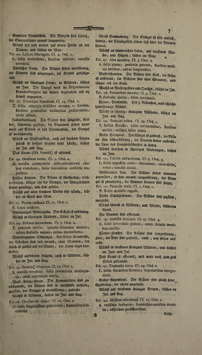©«meinet* «Bcuuefcljuh. Sie Wurzln fir»t> faferig, öie Starmubldtfer eprunb lanjenartig. Wadjfl hin unb wieber auf Denen Seifen an Der Sonati/ unb blühet im 9D?at). Tab. iso. Lilium Martagon. CI. 6. Ord. i. L.] foliis vcrticillatis, floribus reflexis 5 corollis revolutis. Sürftfcher QMtnb. Sie glätter fielen quirlfbrmig, Die Blumen flnb umgebogen, Die fronen jurücfge* rolt. Wachfl an Saftigen Orten/ in Walbern/ blühet im 3un. Sie Wurjel wirb im Difpenlatorio Brandenburgs für Kadix Asphodelii alb of, ftcinell angegeben. Tab. ist. Teucrium Scordium. CI. 14. Ord. 1» T. foliis oblongiVfeflilibus dentato — ferratis, floribus geminibus axillaribus ped'unculatis »■ caule diffulo. Sacbenfnoblaucb. Sie Blätter flnb langlid)t, flicl< lo3, fügeartig; gejabnt, bie «Blummen flehen paar/ weife auf Stielen in Den 5Blatfn>infeln, Der Stengel ifl weitschweifig. Wäd)fl an Wafiergrabeit, auch auf feuchten liefen jeboch in biejtger ©egenb nicht häufig, blühet im 3ul. unb Slug. Sab $raut (Hb Scordii) ifl ojficinell. Tab. i)2. Gentiana verna. CI. 5. Ord. 2. G. corolia quinquelida infundibuliformi cau- lem excedente, foliis radicalibus confertis ma- joribus. früher en&iati. Sie «Blume ifl fünffpaltig, trtd)/ tevförmig, langer alb Der Stengel, bie Wurjelblattev fiehen gebrdngt, unb fmb gröffer. Wachfl auf allen feuchten liefen fehr h«uflS/ htä* het im Slpril unb «Blap. Tab. iss- Pyrola uniflora. CI. 10. Ord. r. P. feapo unifioro. ©inblumigeö Wintergrün. Ser Schaft iß einblumig. SBdchfi in fchattigen Wälbern, blühet im 3ul. Tab. 134 Fefruca decumbens. CI. 3. Ord. 2. F. panicula ere&a, fpiculis fubovatis muticis, calyce flofeulis majore, culmo decumbente. Slieberliegenber Schwingel, Ste Olföpe iß aufrecht, bie $!el)vd)cn ftnb fart eprunb, ohne ©rannen , ber dtelch ifl gtbfler alb bie SBlume, bev £ahu lieget bar« nicber. 2Bdd)(i auf Dürren bügeln, aud) in Wälbevn, bim het im 3ul. unb Slug. Tab. <ss- Senecio;'ylvaticus. CI. 19. Ord. 2. S. corollis revolutis, foliis pinnatifidis dcnticula- tis, caule corymbofo ereäo. Salb Streu*» traut. Sie tfronenblattcr flnb tücfgerollt, bie glatter ftnb in querflüefe gethcilt/ gejdhnt, Der Stengel ifl firauöförmig , aufred;t. Wdchfl in Wälbern, blühet int 3«1* unb Slug. Tab.is6. Orobanche major. CI. 14. Ord. 2. O. caule fimpliciffimo pubefeente, ftaminibus fub- exfertis. 5 ©rofe Sonuenwnrj. Ser Stengel ifi fdjr einfach, paarig / bie Staubgefaflc flehen fajl über bie Blumen herauf. Wachfi an fonnereichen Orten, auf troefenen Wie« fen, unb bügeln / blühet im Sttap. # Tab. 137. Aira aquatica. CI. 3. Ord. 2. A. foliis plams, panicula patente, floribus muti- cis la^vibus, calyce longioribus. Wafierfchmielcn. Sie Blatter ftnb flach. Die Otffpe ift abflehenb, bie SMüthen ftnb ohne ©rannen, unb langer alö ber Äelch. Wad;fl an Waffergrübcn unb Quellen, 6lühet im 3ul. Tab. 133. Prenantbes muralis. CI. p. Ord. 1. P. flofeulis quinis , foliis runcinatis. datier. «Jrenanthe. £at 5. «Blümchen, mnb fcBlicfit^ hobetformige glatter. Wachfl in feflattig/ fleinigfen Walbern, blühet im 3ul. unb Slug. Tal. 13c/. Serapias rubra. CI. 20. Ord, $. S. bulbis flbrofls, foliis enfiformibus, floribus ere&is, ne&arii labio acuto. Ücothe Serapias?. S ie Wurzel ifljaferich, bie«Bl<fo tcr flnb fchwevbformig , bie «Blumen flehen aufrecht, bie Sippe beä .fpontgbehalfnifleö ifl fpifcjg. Wachfl fparfam in fchattigen Walbungen, 6lühee im2fun. Tab. 140. T.intim catliarticum. CI. 5. Ord. 5. L. foliis oppofitis ovato - lanceolatis, caule dicho tomo , corollis acuris. Slbführettber Sein. Sie Blatter flehen einanber gegenüber, fte flnb et)runb; lanjenförmig, ber Stern gel tfl iweptheilig, bie Blumen fronen flnb fpifcig. Tab. 141. Primula veris. CI. 5. Ord. 1, P. Foliis dentatis rugofis. Stüh* Schlüffelblume. Sie «Blatter flnb gejaf;nt, rnnjlicht. Wacbflüherafl in Wdlbcrn/ «nb Wiefcn, blühetim fllpril. Sie 33lumen flnb officinetf. Tab. f4J Genifta tinbloria. CI. 17. Ord. 4. G. foliis lanceolatis glabris, ramis Uriatis tereti- bus ereftis. Sdrber / ©infler. Sie «Blatter flnb fadenförmig, glatt, bie ülcfle flnb geflreift, rnnb , uttb flehen auf; recht. Wadjfl in troefenen fleinigten Walbern, unb blühet im 3un. unb SaS tout ifl offtciucll, unb wirb aud; jum gelb färben gebraucht. Tab. 14s. Faiphrafia lutea. CI. 14. Ord. 2. E. foliis linearibus ferratis; fuperioribus integer- rimi?. ©elber' 3lugeufrofl. Sie glatter flnb gleid) breit , fügefbnttig; bte obern uugeferbt. f Wüchfl auf troefenen fleinigen «Bergen, blühet im 3ul. unb Slug. Tab. 144. Alyffum calycinum. CI. 15. Ord. 1. A. caulibus herbaccis, ftaminibusOmnibus denta¬ tis 5 calycibus perfiflentibus» 5lcfch.'