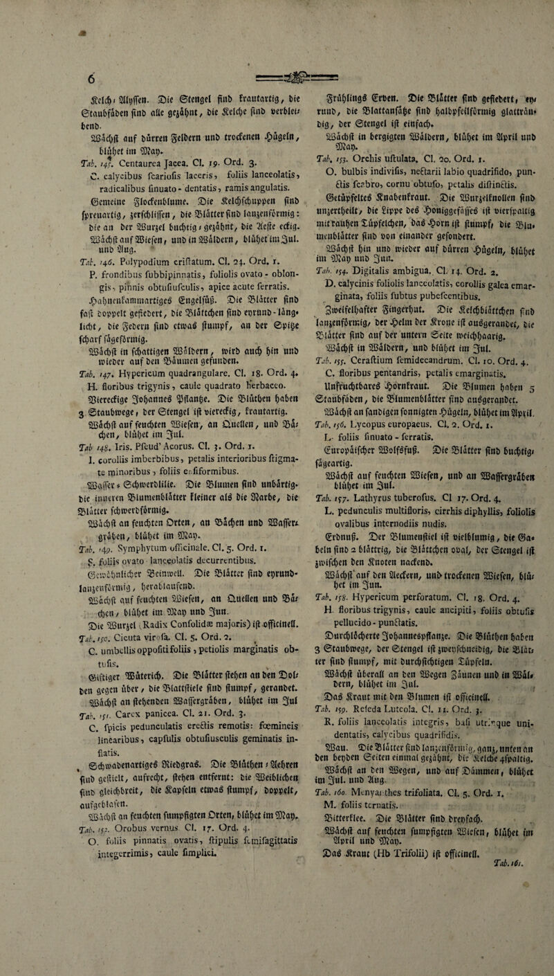 m 6 Ädc^i3Ii#n. Sie ©tengel ftnb frautcivtt^ / bie ©taubfaben fiitb aUc gejähnt, bic Seiche ftnb »erbiet; bcnb. 2ßachft auf burrett Selbem unb trocfenett bügeln, biubet int aftap* Tab. 147. Centaurea Jacea. CI. 19. Ord. 3. C. calycibus fcariofis laceris, foliis lanceolatis, radicalibus linuato- dentatis, ramis angulatis. ©cnteine glocfeublume. Sie iMcbfcbuppen ftnb fpreuavtig, jerfcblilTen, bie Bldtterfmb lanjenformig: bie an bei* aßurjel bucbtig; geahnt, bie 2fefte ecfig. S3äd)frauf2öiefen, unb in SiBdibern, blühctimSul. unb 3iug. Tat. 146. Polypodium crifiatum. CI. 24. Ord. 1. P. frondibus fubbipinnatis, foliolis ovato- oblon- gis, pinnis obtufiufculis, apice acute ferratis. Jjpabnenbammarttgeg (gngelfüp. Sie Blätter ftnb faft doppelt gefiebert, bie Blättchen ftnb etnunb-läng» itri)t, bie Sehern ftnb etwaä ftumpf, an ber ©pi£e fd)arf fageförmig. SBad)ft in fdjattigen 5Bnibem, wirb auch h*n unb tuieber aufben gaumen gefuuben* Tab. 147» Hypericum quadrangulare. CI. 18- Ord* 4* H. fioribus trigynis, caule quadrato herbaceo. Bierecfige ^o^anncö ^}flan^e. Sie Blütben haben 3 ©taubroege, ber ©tengel iftviereefig, frautartig. B3ad)ft auf feuchten SBiefen, an üueilen, unb 35a; d;en, blühet im 3ul. Tab 148, Iris. Pfeud’ Acorus. CI. 4. Ord. 1. I. corollis imberbibus, petalis interioribus ftigma- te minoribus , foliis er fiformibus. SBajfer * ©d)t»erbiilte. Sie Blumen ftnb unbdrtt'g* bic inneren Blumenblätter Heiner aig bie Starbe, bie Blatter fd)tt>erbfbrmig. %ßdd)ft an feuchten Orten, an Bachen unb Sßafferi graben, blühet im ORap. Tab. '4p. Sympliytum officinale. CI. 5. Ord. 1. $. foliis ovato lanceolatis decurrentibus. ©crobhnlichev Beinwell. Sie Blatter ftnb eprunb* Iattjenförmtg, hevablaufcnb. $Bdd)ft auf feuchten üBiefett, an Oatellen unb Ba; d>en/ blühet im DRap unb 3un. S)ie BSurjel ^Radix Confolids majoris) ift officineH. Tab. 170. Cicuta virofa. CI. 5. Ord. 2. C. umbcllis oppofiti foliis , petiolis marginatis ob¬ tu fis. triftiger Wüterich. Sie Blatter flehen an ben Sol; ben gegen über / bie Blattfriele ftnb ftumpf, geranbet. <mad)\t an ftef>enben SÖafergraben, blühet im fjul Tab. /ft. Carex panicea. CI. 21. Ord. 3. C. fpicis pedunculatis ere&is remotis: foemineis linearibus, capfulis obtußusculis geminatis in- fiatis. ©chwabenartigeö SUebgrag. Sie Blüfhen; Slehren ftnb gezielt, aufred;t, flehen entfernt: bie leiblichen ftnb gleichbreit, bie ^apfeln etwag flumpf, hoppelt, aufgcblafen. 3Büd)ft an feuchten fumpftgten Orten, blühet imSOtap. Tab. if?. Orobus vernus. CI. 17. Ord. 4. O. foliis pinnatis ovatis, ftipulis funifagittatis integerrimis, caule fimpüci. Srühlittgö (Erben. Sie Blatter ftnb gefiebert, tp; runb, bie Blattanfäfce ftnb halbpfetlfbrmig glattrön* big, ber ©tengel ift einfad> B3ad)ft in bergigten SBalbern, blühet im Slpril unb SOtap. Tab. ifp. Orcliis uflulata. CI. 20. Ord. 1. O. bulbis indivifis, neftarii Iabio quadrifido, pun- £tis feabro, cornu obtufo, petalis diftin&is. ©etüpfelteö ^nabenfraut. Sie Sßttrjelfnollen ftnb unjertheilt/ bie Sippe beö £oniggefa ffeg ift oierfpaltig mit taühenTüpfelchen, bag^orntft ftumpf, bie Bin* menbldtter ftnb bon einanber gefonbert. acht! hin unb mieber auf bürren bügeln, blühet im \)Rap unb 3um Tal>. 1S4. Digitalis ambigua.. CI. 14. Ord. 2. D. calycinis foliolis lanceolatis, corollis galea emar- ginata, foliis lubtus pubefeentibus. gweifelhafter S‘»3erhut. Sie ^elcf;b»attchen ftnb lanjettformig/ ber ^)elm ber Grotte ifi auggeranbet, bie Blatter ftnb auf ber untern ©eite meichhaarig. 3Bachf! in SBalbern, unb blühet im 3ul. Tab. iff. Ceraftium femidecandruni. CI. 10. Ord. 4. C. fioribus pentandris, petalis emarginatis. Unffuchtbareö ^»örnfraut. Sie Blumen haben 5 ©taubfaben, bie Blumenblätter ftnb auggeranbet. 3i3achf! an fanbigen fonnigten kugeln, blühet im Slptil, Tab. ifö. L.vcopus europaeus. CI. 2. Ord. 1. L- foliis finuato - ferratis. ©uvopdtfcher SBolfgfuf. Sic Blatter ftnb bud)tig< fdgeavtig. SBachf! auf feuchten SBiefen, unb an aBaffergvdbe« blühet im 3ul‘ Tab. if7. Lathyrus tuberofus. CI 17. Ord. 4. L. pedunculis multifloris, cirrhis diphyllis, foliolis ovalibus internodiis nudis. €rbnufj. Ser BlumenfM if! oielblumig, bte @a« beln ftnb 2. blättrig, bie Blättchen oüal, ber ©tengel ift ätiüfrf)en ben knoten naefenb. SBachlV auf ben Slecfern, unb- troefenen BSiefen, blü; het int 3un. Tab. ifS. Hypericum perforatum. CI. /8. Ord. 4. H. fioribus trigynis, caule ancipiti, foliis obtufis pellucido- punfiatis. Surchlocherte 3o^amteöpfTanje. Sie Blüthen haben 3 ©taubwege, ber ©tengel ift jmepfchneibig, bte Bldr« ter ftnb ftumpf, mit burchftchtigen Süpfcln. Sffiächft überall an ben B3egen Bannen «nb tit S£BaI« bevn, blühet im 3ul. Sag föraut mit ben Blumen ift officineH. Tab. ift). Releda Lutcola. CI. 11. Ord. }. R. foliis lanceolatis integris, bali utr>.que uni- dentatis, calycibus quadrifidis. B3au. Sie Blatter ftnb lanjenformig, gan^, unten an ben bepben ©eiten einmal geahnt, bie belebe 4fpaltig. aBachft an ben SBegen, unb auf Säumten, blühet im 3ul. unb 2tug. Tab. 160. Menyanthes trifoliata. CI. 5. Ord. 1. M. foliis ternatis. Bitterblee. Sie Blatter ftnb brepfac!). aBad)|t auf feuchten fumpftgten Briefen, blühet im Slpril unb 3)tap. Sag ^rant (Hb Trifolii; ift officineH. Tab. 161.