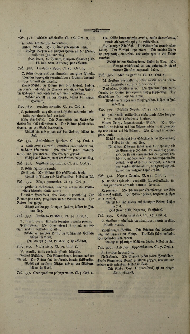 'S * 8 =5* • / Tab. 3S7. Althaea officinalis. CI. 16. Ord. 8. A. foliis fimplicibus tomentofis. 2llthee, (£ibifch. Sie 25ldtter flnb einfach ftljig. £Bdchft fparfant auf fcuc&tcn 93oben an bec Sonau, blühet im 3ul. unb 2fug’. SaS $raut, bie Blumen, SBurdeln, ©aamen (Hb. Fl. Rad. Sem. Altheae) ftnb officincll. Tab. 388. Carduus crifpus. CI. 19. Ord. 1. C. foliis decurrentibus finuatis: margine fpinofis, floribus aggregatis terminalibus: fquamis inermi- bus fubariftatis patulis. Traufe Siftcl: bie 35ldtter ftnb herablaufcnb, buchtig, am 3fianbc flachlicht, bie 9$lumen gcf>aufr, an ben <£nbcn: bie ©chuppen imbewerth faft gegramtet, abfleljcnb. äßdcbft überall an ben £Begcn, blühet ben ganjen ©ommer. * Tab. 38p. Sonchus arvenfis. CI. 19. Ord. r. w S. pedunculis calycibusque hifpidis, fubumbellatis, foliis runcinatis bafi cordatis. 2lcfer ©anfcbiflel. Sie SMumenftiefe unb Welche ftnb fleifborflig, faft bolbenformig. Sic Setter fchlichthobcl* förmig, an bec 35aftö herdförmig. SOßdchft bin unb wiebcc auf ben 2fedfern, blühet im 3ul. Tab. 3po. Antirrhinum fpurium. CI. 14. Ord. 2. A. foliis ovatis alternis, caulibus procumbentibus. UndchteS Scmenmaul. Sie «Blatter flehen wechfclS# Weife, unb ftnb eprunb. Sie ©tcngel geffretft. SBdchff auf SÄecfern, nach bcc (Srnbte, blühet im 2fug. Tab. 3pi. Sagittaria fagittifolia. CI. 21. Ord. 8. S. foliis fagittatis acutis. fjjfeilfraut. Sie SBlattcr ftnb pfeilformig, fpifcig. 2ßad;fl in Reichen unb SBaffergcdbcn, blühet im 3M. Tab. 3p2. Filago germanica. CI. 19. Ord. 3. F. panicula dichotoma, floribus rotundatis axilla- ribus Mrfutis, foliis acutis. SeutfchcS ^abenfraut. Sic 3viSpe ifl dweptbeilig. Sie ®lumcn ftnb runb, dotig, jlfcen in ben ©lattwinfeln. Sie Blatter flnb fpil^ig. äBachft auf bergigt peinigten Slccfetn, blühet im 2(ul. unb 2lug. Tab. 3p3. Tuflilago Petafites. CI. 19. Ord. 2. T. thyrfo ovato, flofeulis foemineis nudis paucis. ^cjlilenjrourä. Sec SlumenftrauS ijl eprunb, mit we* nigen naeften weiblichen Sßlüthen. SBdchft an feuchten Srten, an Stoffen unb ®cdben, blühet im 3lpril. Sie 2Bur$eI (Rad. Petafitidis) ijt officiiteflC. Tab. 3P4. Viola hirta. CI. 19. Ord. 5. V. acaulis, foliis cordatis pilofo- hifpidis» BotigcS Teilchen. Sic ißlumenflengcl fommen auSbet Sößnrjel. Sie glatter ftnb herdförmig, haarig* fteifborftig. SBdchft auf troefenen SBicfen, unb an ben SBdlbern, Hübet im 2lpri(. Tab. 3py. Chenopoäium polyspermum. CI. 5. Ord. 2. Ch. foliis integerrimis ovatis, caute decumbcnte,' cymis dichotomis aphyllis axillaribus. Sßielfaamiger ©dnfefu§. Sie Q5ldtter ftnb eprunb, glatt# ranbig. Ser ©tcngel lieget nieber. Sie undchtc Selbe ift d^eptheilig, blätterlos, unb entfpringet in ben 22>latt# windeln. SBdchft in beti ßüchcngdrtcn, blühet im 2lug. Ser ©tcngel wachfl auch bei unS aufrecht, fo tvie eS mehrere Sloriften angemerft haben. Tab. 3p6. Mentha gentilis. CI. 12. Ord. 1. M floribus verticillatis, foliis ovatis acutis ferra- tis, ftaminibus corolla brevioribus. Söachntündc, SSajllicnmünd«. Sic SMnmen ft§en quirl* förmig, bie glatter ftnb eprunb, fpifcig fdgeformig. Sie ©taubfaben fürder aiS bie Grotte. UBdchfl an Seichen uttb aBaflergrdbcn, blühet im 3ul. unb 2lug. Tab. 3P7- Meliffa Nepeta. CI. 14. Ord. 1. M. pedunculis axillaribus dichotomis folio longio- ribus, caule adfendente hirfuto. SBilbcr spolep, fahenntünjartige €0?eliffe. Ser 35lit# menftiel entfpringet auS ben iölattwincfeln, er ifi jwcpthefr lig unb langer als bie glatter. Set ©tengel ift auftfei* genb, d^ttig- äßdehfl häufig auf beut ©chloßberge bei Sonaujtauf, blühet im 3ul. unb 2lug. 3n einigen Sfficinen ftnbet man biefe l|3flande für bie 93ergmün£e (Meliffa Calamintha) gefant* Hielt, ba fle mit einem flarfcn spolcpgeruch oer* fehen ifl, unb baher tvütfliche mcbicinifcheSrdftc beft^et, fo i(f eS eher ju oerdeihen, als n>enn man oonben SOtaterialiflen, baSgerud;lofe Cli- nopodium vulgare bafür erhalt. Tab. 3p8. Nepeta Cataria. CI, a4. Ord. 1. N. floribus fpicatis: verticillis fubpedicellatis} fo- • liis petiolatis cordatis dentato- ferratis. ßafccnmünje Sie Blumen ftnb dhrenforntig: bie 2Bir# teln etwas gezielt. Sie glatter gezielt, herdförmig, fage? artig geddhnt. -2Bdchfl hin unb wiebcc auf peinigten 35oben, blühet im 3ul. SaS Straut (Hb. Nepetae) i|l officineH. Tab. 3pp. Cytifus capitatus. CI. 17. Ord. 4. C. floribus umbellatis terminalibus, ramis ere&is, foliolis ovatis. ^opfformiger 6ei§flee. Sie Blumen flnb bolbenfor? mig, unb ft^cn an ber ©pi^e. Sie 2lef!e flehen aufrecht. Sie Blättchen flnb eprunb. SBdchfl in fchattigen SBdlbern hduftg, blühet im 3uf. Tab. 400. Aefculus Hippocaftanum. CI. 7. Ord. x. A. floribus heptandris. 3fto§faflanie. Sie 25lumen haben fleben ©taubfdben. Stefer 25aum wirb überall du gejogen, unb hin unb wieber wilb gefunben, blühet im iO?ap. Sie 9£inbe (Cort. Hippocaftani) ifl an einigen Srten otficineU.