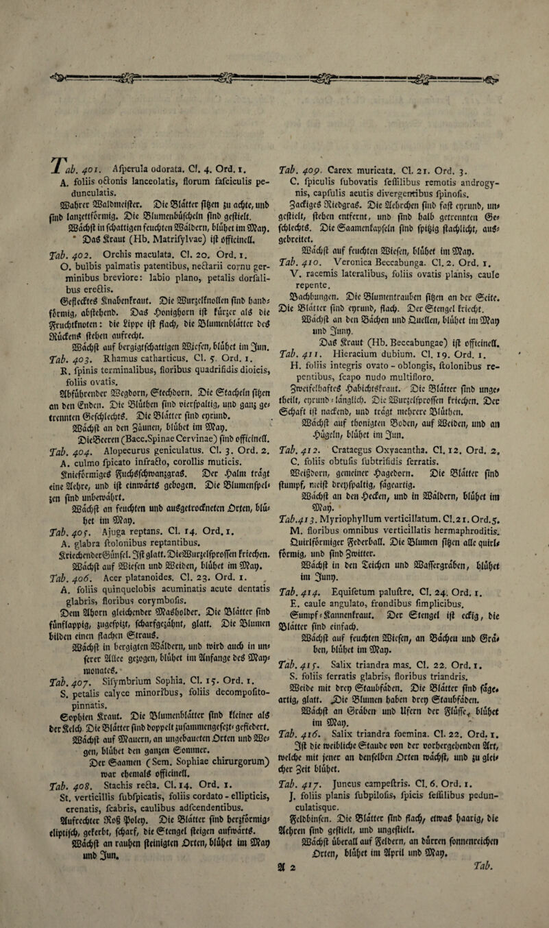 •O—■ „ 1-X=S^g£^jL^==-ggZ!==!LJ_>^: J ab. 401. Afperula odorata. CI. 4. Ord. 1. A. foliis o£lonis lanceolatis, florum fafciculis pe- dunculatis. SBabrer SBalbmeifler. Sic Blatter ft^cn ju achte, unb finb lanjettfbrmig. Sie Blumcnbüfchcln finb ^cflieft. Sßdchjl in fcöatt igcn feuchten 2Bdlbem, Hupet im $0?ap. * Sag £caut (Hb. Matrifylvae) ifl üfficinctl. 'Tab. 402. Orchis maculata. CI. 20. Ord. 1. O. buibis palmatis patentibus, nectarii cornu ger- minibus breviore: labio plano, petalis dorfali- bus ere&is. ©cflccFtcg ^nahenftaut. Sie SSurjclfnoflen finb panb# förmig, abjlepenb. Sag efponigporn ift fürjcr alg bie gruchtfnoten: bie £ippe i|l find;, bie Blumenblätter beg SKücfeng fiepen aufrecht. 2Bdchft auf bergigtfehattigen SBicfen, Hübet im 3mt. Tab. 403. Rhamus catharticus. CI. 5. Ord. 1. R. fpinis terminalibus, fioribus quadrifidis dioicis, foliis ovatis. Abfüprenbcr 2£cgborn, ©teepbom. Sie Stacheln filmen cm ben (fnben. Sie Blüfhen fmb Hccfpaltig, unb ganj ge# (rennten ©cfchlechtS. Sie Blatter finb eprirnb. «Eßdchfl an ben 3auncii, biübet im 2D?ap. SicBceren (Bacc.SpinaeCervinae) finb officineff. Tab. 404. Alopecurus geniculatus. CI. 3. Ord. 2. A. culmo fpicato infrafto, corollis muticis. gnieformigeg guchgfchwanjgrag. Ser £alm (ragt eine Siebte, unb ijt cinwdrtg gebogen. Sie Blumenfpel« jen finb unbewdhcf. AJdchft an feuchten unb auggetroefneten Srten, Hü* bet im $?ap. Tab. 40s. Ajuga reptans. CI. 14. Ord. 1. A. glabra ftolonibus reptantibus. ^rieienbec@ünfel. 3(1 glatt. SieSBurjelfproffen Frtecben. &ßdchjl auf SBiefen unb jffieiben, Hübet im SDIap. Tab. 406. Acer platanoides. CI. 23. Ord. 1. h. foliis quinquelobis acuminatis acute dentatis glabris, fioribus corymbofis. Sem Ahorn glcicbenber 9D?agbolber. Sie Blatter finb fünflappig, jugefpijl, fcparfgejdhnf, glatt. Sie Blumen bilben einen flauen @trau5. ^ jJBdchfl in bergigten SBalbern, unb wirb auch in un* ferer Allee gejogen, blubet im Anfänge beg $Kat)i monafeg. Tab. 407. Sifymbrium Sophia. CI. 15. Ord. 1. S. petalis calyce minoribus, foliis decompofito- pinnatis. 0cpbien Äraut. Sie BlumenHdttcr finb Heiner alg ber Selch Sie Blatter fmb hoppelt jufammengefejt# gefiebert. SBachfl auf dauern, an ungebaucten Srten unb A3c* gen, blühet ben ganjen ©ommec. Set ©aanien (Sem. Sophiae chirurgorum) war ehemals officineU. Tab. 408. Stachis retta. CI. 14. Ord. 1. St. verticillis fubfpicatis, foliis cordato - ellipticis, crenatis, feabris, caulibus adfeendentibus. Aufrechter 9vo§ «polcp. Sie Blatter finb herjformig# eliptifch, geferbt, fcharf, bie ©tcngel (leigen aufwärts. SBdchjl an rauhen (leinigten Srten, blühet im 23?ap unb 3un. Tab. 40p. Carex muricata. CI. 21. Ord. 3. C. fpiculis fubovatis feflilibus remotis androgy- nis, capfulis aeutis divergerrtibus fpinofis. 3acftgcS iRiebgrag. Sic Achrchen finb fafl eprunb, utt* gcfliclt, (leben entfernt, unb (Inb halb getrennten @e# fchlechtö. Sie ©aamcnfapfeln finb fpifcig jlachlicht, aug* gebreitet. SBachfl auf feuchten liefen, blühet int 2C!?ap. Tab. 410. Veronica Beccabunga. CI. 2. Ord. i. V. racemis lateralibus, foliis ovatis planis, caule repente. Bacpbuugen. Sie Blumentraubett ft^cn an bei* ©eite. Sie Blatter finb eprunb, flach. Ser ©tetigel friecht. S£dd;fl an ben Bachen unb Sueflcn, blubet im Üttap unb 3unp. Saö Sraut (Hb. Beccabungae) ijl officineff. Tab. 411. Hieracium dubium. CI. 19. Ord. 1. H. foliis integris ovato - oblongis, ftolonibus re- pentibus, feapo nudo multifioro. greife! baff eg £aHchfgfraut. Sie Blatter finb unge# thcilt, eprunb * länglich. Sie SBurjelfproffcn friechen. Sec ©Schaft i|l nasfenb, unb tragt mehrere Blüthen. 2Bdd;fl auf thonigten Bobcn, auf Reiben, unb an bügeln, blühet int 3»n. Tab. 412. Crataegus Oxyacantha. CI. 12. Ord. 2. C. foliis obtufis lubtrifidis ferratis. 2Bei§born, gemeiner £agebom. Sie Blatter finb fluntpf, ntcifl brepfpaltig, fdgearfig. Sßdchfl an ben Reefen, unb in ASdlbern, blühet im $?ap. Tab.413. Myriophyllum verticillatum. CI.21. Ord.5. M. fioribus omnibus verticillatis hermaphroditis. Suirlformiger Sebcrhall. Sie Blumen fifcen ade quirl# fbrmig, unb finb gmitter. SGBdchfl in ben Seichen unb 2Saffergrdhcn, blühet im 3utih- Tab. 414. Equifetum paluftre. CI. 24. Ord. 1. E. caule angulato, frondibus fimplicibus. (Sumpf* tonenfraut. Ser ©fengel ifl eefig, bie Blatter finb einfach. SBdchfl auf feuchten liefen, an Bachen unb @rd# ben, blühet im S0?ap. Tab. 415. Salix triandra mas. CI. 22. Ord. 1. S. foliis ferratis glabris, fioribus triandris. 28eibe mit brep (Staubfdben. Sie Blatter (mb fage# artig, glatt. .Sie Blumen haben brep ©taubfdben. SBdchfl an Ordbcn unb Ufern ber SlüiTe^ blühet im S0?ap. Tab. 416. Salix triandra foemina. CI. 22. Ord. 1. 3(1 bie tveihliche ©taube oon ber oorhergehenbcit Ärt, welche mit jener an bettfelbcn Srten wdchfl, unb ju gleü eher 3eit blühet. Tab. 417. Juncus campeftris. CI. 6. Ord. 1. J. foliis planis fubpilofis, fpicis feflilibus pedun- culatisque. Sclbbinfcn. Sie Blatter finb flach/ e(n?aö haarig, bie Aehceit finb geflielt, unb ungeflielt. AJdchfl überall auf gelbem, an bürren fonnenreichen Seien, blühet im April unb 5D?ap.