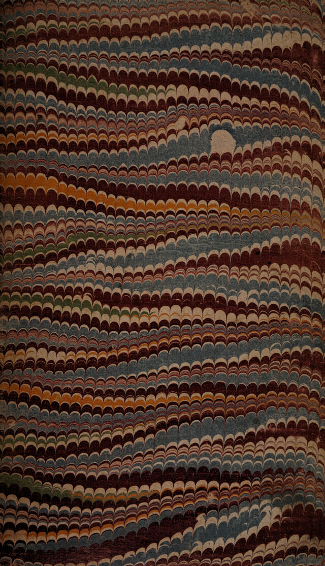 No text description is available for this image