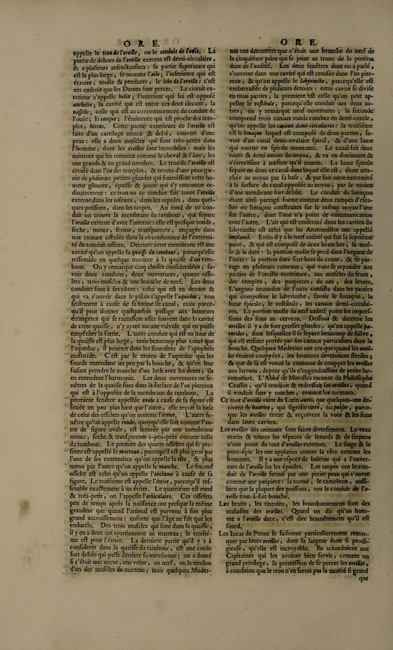 appelle le trou de Voreille, ou le conduit de Foaie, Là partie de dehors de l'oreille externe eft demi-circulaire, &amp; a plufieurs anfraâuofitez : fa partie fuperieure qui eft la plus large, fe nomme Y aile 5 l’inferieure qui eft étroite &gt; molle &amp; pendante, le lobe de l'oreille : c’eft cet endroit que les Dames font percer. Le circuit ex¬ térieur s’appelle hélix j l’interieur qui lui eft oppofé anthelix -, la cavité qui eft entre ces deux circuits , la najfelle -, celle qui eft au commencement du conduit de l’ouïe ; la conque ; l’éminence qui eft proche des tem¬ ples, hircus. Cette partie extérieure de Y oreille eft faite d’un cartilage mince &amp; délié, couvert d’une peau: elle a deux mufcles qui font très-petits dans l’homme, dont les oreilles font immobiles : mais les animaux qui les remuent comme le cheval &amp; l’âne, les ont grands 5c en grand nombre. Le trou de Y oreille eft crcufé dans l’os des temples, 5c revetu d’une peau gar¬ nie de plufieurs petites glandes qui fournirent cette hu¬ meur gluante, épaiffe &amp; jaune qui s’y rencontre or¬ dinairement : ce trou ou ce conduit fait toute Yoreille externe dans les oifeaux , dans les reptiles , dans quel¬ ques poilfons, dans les taupes. Au fond de ce con¬ duit on trouve la membrane du tambour, qui fepare Yoreille externe d’avec l’interne : elle eft prefque ronde, feche, mince, ferme, tranfparente, engagée dans une rainure crhufée dans la circonférence de l’extremi- té du conduit offeux. Derrière cette membrane eft une cavité qu’on appelle la quaijfe du tambour, parcequ’elle relfemble en quelque maniéré à la quaiife d’un tam¬ bour. On y remarque cinq chofes confiderables, fa- voir deux conduits, deux ouvertures, quatre olfe- lcts, trois mufcles 5c une branche de nerf. Les deux conduits font à fes cotez: celui qui eft en devant 5c qui va s’ouvrir dans le palais s’appelle Y aqueduc, non feulement à caufe de fa forme de canal, mais paree¬ qu’il peut donner quelquefois partage aux humeurs étrangères qui fe ramaftent allez fouvent dans la cavité de cette quaiife, n’y ayant aucune valvule qui en puilfe empêcher la fortie. L’autre conduit qui eft au haut de la quaiife eft plus large, mais beaucoup plus court que l’aqueduc, il pénétré dans les finuofitez de l’apophife maftôïde. C’eft par le moien de l’aqueduc que les fourds entendent un peu par la bouche, 5c qu’en leur faifant prendre le manche d’un luth avec les dents, ils en entendent l’harmonie. Les deux ouvertures ou fe¬ nêtres de la quaiife font dans la furface de l’os pierreux qui eft à l’oppofite de la membrane du tambour. La première fenêtre appellée ovale à caufe de fa figure eft fituée un peu plus haut que l’autre, elle reçoit la bafe de celui des olfelets qu’on nomme Yétrier. L’autre fe¬ nêtre qu’on appelle ronde, quoyqu’elle foit comme l’au¬ tre de figure ovale, eft fermée par une membrane mince, feche 5c tranfparente à-peu-près comme celle du tambour. Le premier des quatre olfelets qui fe pre- fente eft appellé le marteau, pareequ’il eft plus gros par l’une de fes extremitez qu’on appelle la tête, 5c plus menu par l’autre qu’on appelle le manche. Le fécond olfelet eft celui qu’on appelle Y enclume à caufe de fa figure. Le troifiéme eft appelle Y étrier, pareequ’il ref- femble exactement à un étrier. Le quatrième eft rond 5c très-petit, on YappelleYorbUulaire. Ces olfelets peu de temps après la nailfance ont prefque la même grandeur que quand l’animal eft parvenu à fon plus grand accroilfement : enforte que l’âge ne fait que les endurcir. Des trois mufcles qui font dans la quaiife, il y en a deux qui apartiennent au marteau ; le troifié¬ me eft pour l’étrier. La dernicre partie qu’il y a à confiderer dans la quaiife du tambour, eft une corde fort delïee qui palfe derrière fa membrane ; on a douté fi c’etoit une artere, une veine, un nerf, ou le tendon d’un des mufcles du marteau ; mais quelques Moder- nés ont découvert que c’étoit une Branche du nerf dé la cinquième paire qui fe joint au tronc de la portion dure de l’auditif. Les deux fenêtres dont on a parlé , s’ouvrent dans une cavité qui eft creufée dans l’os pier¬ reux &gt; 5c qu’on appelle le labyrinthe, parcequ’elle eft embarralfée de plufieurs détours : cette cavité fe divife en trois parties ; la première 'eft celle qu’on peut ap- peller le vefttbule, parcequ’elle conduit aux deux au¬ tres ; on y remarque neuf ouvertures ; la fécondé comprend trois canaux ronds courbez en demi-cercle, qu’on appelle les canaux demi-circulaires : la troifiéme eft le limaçon lequel eft compofé de deux parties fa- voir d’un canal demi-ovalaire fpiral, 5c d’une lame qui tourne en fpirale montante. Le canal fait deux tours 5c demi autour du noyau, 5c va en diminuant 5c s’étreciftant à mefure qu’il monte. La lame fpirale fepare en deux ce canal dans lequel elle eft, étant atta¬ chée au noyau par fa bafe, 5c par fon autre extrémité à la furface du canal oppofée au noyau, par le moien d’une membrane fort déliée. Le conduit du limaçon étant ainfi partagé forme comme deux rampes d’elca- lier en limaçon conftruites fur le même noyau l’une fur l’autre, dont l’une n’a point de communication avec l’autre. L’air qui eft renfermé dans les cavitez du labyrinthe eft celui que les Anatomiftes ont appellé implanté. Enfin il y a le nerf auditif qui fait la feptiéme paire, 5c qui eft compofé de deux branches , la mol¬ le 5c la dure : la portion molle fe perd dans l’organe de l’ouïe : la portion dure fort hors du crâne, 5c fe par¬ tage en plufieurs rameaux, qui vont fe répandre aux parties de l’oreille extérieure, aux mufcles du front * des temples , des paupières, du nez , des levres. L’organe immédiat de l’ouïe confifte dans les parties qui compofent le labyrinthe, favoir le limaçon, la lame fpirale, le veftibule, les canaux demi-circulai¬ res. La portion molle du nerf auditif porte les impref* fions des fons au cerveau. Delfous 5c derrière les oreilles il y a de fort grolfcs glandes, qu’on appelle pa¬ rotides , dans lefquelles il fe fepare beaucoup de falive » qui eft enfuite portée par des canaux particuliers dans la bouche. Quelques Médecins ont cru que quand les oreil¬ les étoient couppées, les hommes devenoient fteriles ; 5é que de là eft venue la coutume de coupper les oreilles aux larrons, depeur qu’ils n’engendralfent de petits lar¬ ronneaux. L’Abbé de Marolies raconte du Philofophe Cralfot, qu’il remüoit 5t redrefloif fes oreilles, quand il vouloit fans y toucher, comme les animaux. Ce mot d’oreille vient du Latin auris, que quelques-uns dé¬ rivent dehaurire, qui fignifietirer, ouputfer, parce- que les oreilles tirent 5c reçoivent la voix 5c les fons dans leurs cavitez. Les oreilles des animaux font faites diverfement. Le veau marin 5c toutes les efpeces de lézards 5c deferpens n’ont point du tout d’oreilles externes. Le finge 5c le porc-épic les ont applaties contre la tête comme les hommes. Il y a une efpece de baleine qui a l’ouver¬ ture de Yoreille fur les épaules. Les taupes ont le con¬ duit de Yoreille fermé par une petite peau qui s’ouvre comme une paupière : la tortue, le caméléon, auffi- bien que la plupart des poilfons, ont le conduit de Yo¬ reille tout-à-fait bouché. Les bruits , les tintoins, les bourdonnemens font des maladies des oreilles. Quand on dit qu’un hom¬ me a Yoreille dure, c’eft dire honnêtement qu’il eft fourd. Les Incas du Pérou fe faifoient particulièrement remar¬ quer par leurs oreilles, dont la largeur étoit fi prodi- gieufe, quelle eft incroyable. Ils accordoient aux Capitaines qui les avoient bien fervis, comme un grand privilège, la permiffion de fe percer les oreilles , à condition que le trou n’en feroit pas la moitié fi grand que