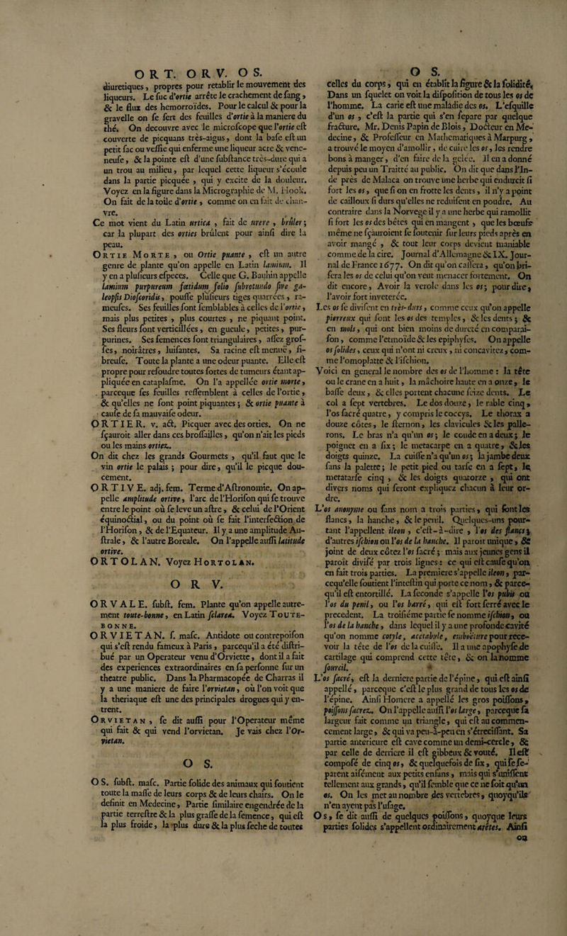 diurétiques, propres pour rétablir le mouvement des liqueurs. Le fuc d'ortie arrête le crachement de fang, &amp; le flux des hémorroïdes. Pour le calcul &amp; pour la gravelle on fe fert des feuilles d'ortie à la maniéré du thé. On découvre avec le microfcope que l'ortie eft couverte de picquans très-aigus, dont la bafe eft un petit fac ou veffie qui enferme une liqueur acre &amp; venc- neufe , &amp; la pointe eft d’une fubftance très-dure qui a un trou au milieu, par lequel cette liqueur s’écoule dans la partie picquée &gt; qui y excite de la douleur. Voyez en la figure dans la Micrographie de M. Hook. On fait de la toile d'ortie , comme on en lait de chan¬ vre. Ce mot vient du Latin tirtica , fait de tirer e , brûler ; car la plupart des orties brûlent pour ainfi dire la peau. Ortie Morte, ou Ortie puante , eft un autre genre de plante qu’on appelle en Latin lamum. Il y en a plufieurs efpeces. Celle que G. Bauhin appelle larn'mn purpttreum fatidum folio fubrotundo five ga- leopfis Diofcoridis, poufle plufieurs tiges quarrces, ra- meufes. Ses feuilles font femblables a celles de l'ortie, mais plus petites , plus courtes , ne piquant point. Ses fleurs font verticillées, engueule, petites, pur¬ purines. Ses femences font triangulaires, aflez grof- les, noirâtres, luifantes. Sa racine eft menue, fi- breufe. Toute la plante a une odeur puante. Elle eft propre pour refoudre toutes fortes de tumeurs étant ap¬ pliquée en cataplafme. On l’a appellée ortie morte, parccque fes feuilles reflemblent â celles de l’ortie, Sc qu’elles ne font point piquantes ; &amp; ortie pliante à caufe de fa mauvaife odeur. O R TIE R. v. a&lt;ft. Picquer avec des orties. On ne fçauroit aller dans ces broflailles, qu’on n’ait les pieds ou les mains ortiez.. On dit chez les grands Gourmets , qu’il faut que le vin ortie le palais ; pour dire, qu’il le picque dou¬ cement. ORTIVE. adj. fem. Terme d’Aftronomie. On ap¬ pelle amplitude ortive y l’arc de l’Horifon qui fe trouve entre le point où fe lève un aftre, &amp; celui de l’Orient cquinoélial, ou du point où fe fait l’interfedlion de l’Horifon, &amp; de l’Equateur. Il y a une amplitude Au- ftrale, &amp; l’autre Boreale. On l’appelle auffi latitude ortive. ORTOLAN. Voyez Hortolan. O R V. O R V A L E. fubft. fem. Plante qu’on appelle autre¬ ment toute-bonne, en Latin fclarea. Voyez Toute- BONNE. ORVIETAN, f. mafe. Antidote oucontrepoifon qui s’eft rendu fameux à Paris, pareequ’il a etc diftri- buc par un Operateur venu d’Orviette, dont il a fait des expériences extraordinaires en fa perfonne fur un theatre public. Dans la Pharmacopée de Charras il y a une maniéré de faire Yorviétan, où l’on voit que la thériaque eft une des principales drogues qui y en¬ trent. Orviétan, fedit auffi pour l’Operateur même qui fait &amp; qui vend l’orvietan. Te vais chez l’Or- vietan. o s. O S. fubft. mafe. Partie folide des animaux qui foutient toute la mafle de leurs corps &amp; de leurs chairs. On le définit en Medecine, Partie fimilaire engendrée de la partie terreftre&amp;la plus gralfe de la femence, qui eft la plus froide, la plus dure &amp; la plus feche de toutes Celles du corps, qui en établit h figure &amp; la folidité. Dans un fquelet on voit la difpofition de tous les os de l’homme. La carie eft une maladie des os. L’efquille d’un os , c’eft la partie qui s’en fepare par quelque fraéhire. Mr. Denis Papin de Blois, Doèteur en Mé¬ decine , Sc Profeflcur en Mathématiques à Marpurg , a trouvé le moyen d’amollir, de cuire les os, les rendre bons à manger, d’en fiire de la gelée. Il en a donné depuis peu un Traitté au public. On dit que dans l’In¬ de près deMalaca on trouve une herbe qui endurcit fi fort les os, que fi on en frotte les dents, il n’y a point de cailloux fi durs qu’elles ne reduifent en poudre. Au contraire dans la Norvège il y a une herbe qui ramollit fi fort les os des bêtes qui en mangent , que les boeufs meme ne fçàuroient fe foutenir fur leurs pieds après en avoir mangé , Sc tout leur corps devient tnaniable comme de la cire. Journal d’Allemagne 6c IX. Jour¬ nal de France 1677. On dit qu’on cafl'era, qu’on bri- fera les os de celui qu’on veut menacer fortement. On dit encore, Avoir la vérole dans les os; pour dire, l’avoir fort invétérée. Les os fe divifent en très-durs &gt; comme ceux qu’on appelle pierreux qui font les «des temples, &amp; les dents; 8c en mois, qui ont bien moins de dureté en comparai- fon, comme l’etmoïde &amp; les epiphyfes. On appelle os folides, ceux qui n’ont ni creux, ni concavitcz, com¬ me l’omoplatte (3c l’ifchion. Voici en general le nombre des os de l’homme : la tête ou le crâne en a huit, la mâchoire haute en a onze, le bafle deux, 6c elles portent chacune feize dents. Le col a fept vertébrés. Le dos douze, le rable cinq &gt; l’os fac ré quatre, y compris ie coccys. Le thorax a douze côtes, le fternon, les clavicules 6cles palle- rons. Le bras n’a qu’un os; le coude en a deux ; le poignet en a fix; le métacarpe en a quatre, &amp;les doigts quinze. La cuifle n’a qu’un os; la jambe deux fans la palette ; Je petit pied ou tarfe en a fept, Iq metatarfe cinq , Sc les doigts quatorze , qui ont divers noms qui feront expliquez chacun à leur or¬ dre. L'os anonyme ou fans nom a trois parties, qui font les flancs, la hanche, Sc le penil. Quelques-uns pour¬ tant l’appellent iléon , c’eft-à-dire , Vos des flancs}, d’autres ifebion ou l’&lt;w de la hanche. 11 paroit unique, SC joint de deux cotez l'os facré ; mais aux jeunes gens il paroît divifé par trois lignes : ce qui eft caufe qu’on en fait trois parties. La première s’appelle iléon, par- ccqu’elle foutient l’inteftin qui porte ce nom, Sc paree¬ qu’il eft entortillé. La fécondé s’appelle l'os pubis ou l'os du penil y ou Vos barré y qui eft fort ferré avec le precedent. La troifiéme partie fe nomme ifebion y ou Vos de la hanche, dans lequel il y a une profonde cavité qu’on nomme cotyle, acctabule, emboémre pour rece¬ voir la tête de l'os de la cuifle. Il a une apophyfe de cartilage qui comprend cette tête, &amp; on la nomme fourcil. Vos facré y eft la derniere partie de l’épine, qui eft ainfi appelle, parccque c’eft le plus grand de tous les os de l’épine. Ainfi Homere a appelle les gros poifions » poiffons facrez,. On l’appelle auffi Fox large, pareeque fa largeur fait comme un triangle, qui eft au commen¬ cement large, Sc qui va peu-à-peu en s’étreciflant. Sa partie anterieure eft cave comme un demi-cercle, Sc par celle de derrière il eft gibbeux Sc routé. Ileftf compofé de cinq os y Sc quelquefois de fix, qui fe fe- parent aifément aux petits enfans, mais qui s’unîftènt tellement aux grands, qu’il femble que ce ne foit qu-un os. On les met au nombre .des vertébrés, quoyqu’ils n’en ayent pas l’ufage, O s, fe die auffi de quelques poijTons, quoyque leurs parties folides s'appellent ordinairement arêtes. Ainfi