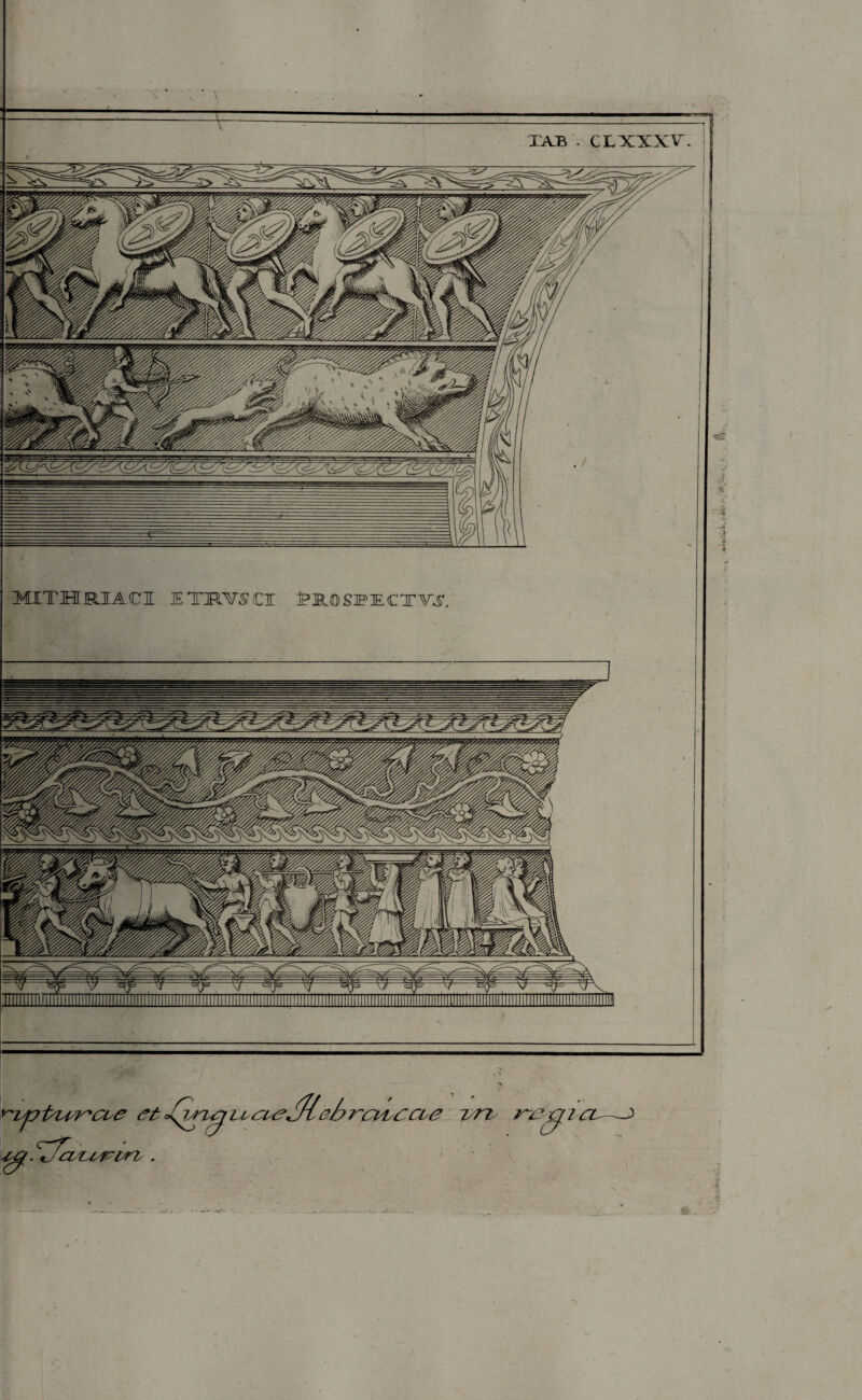 ^ijjPuj^CLe et°tij^UsCCse^lel?rci4s£cise ir? ry?c/ .'Jk ^3' ■£Q. 'jasusrwb . MITHRIACI ET1VSCI PR®SJPECTVC