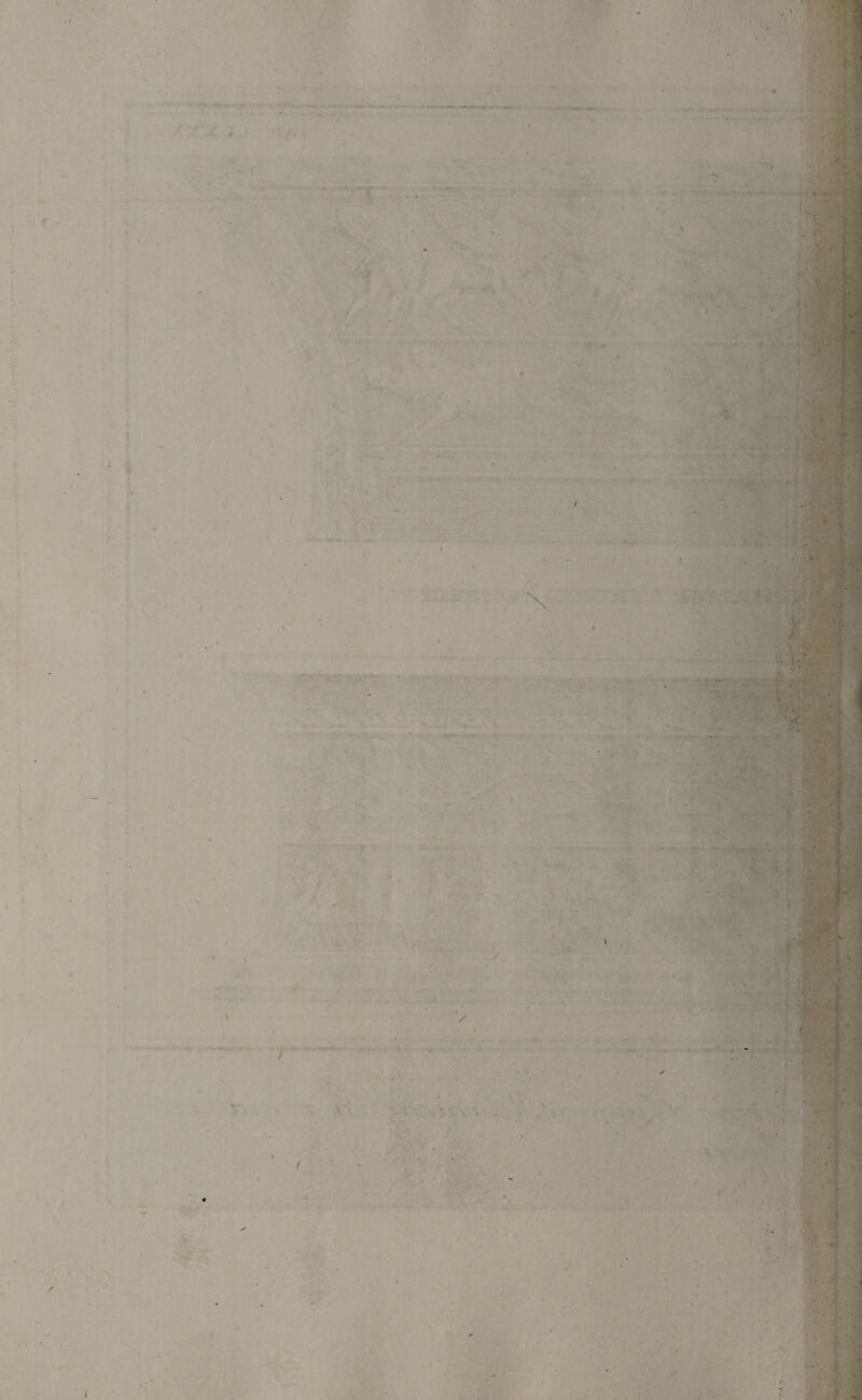 t . . . - f >9 ' • ; i t * . ■ . . _ •. • • •. ■ ! \ * / <• * * . / > (