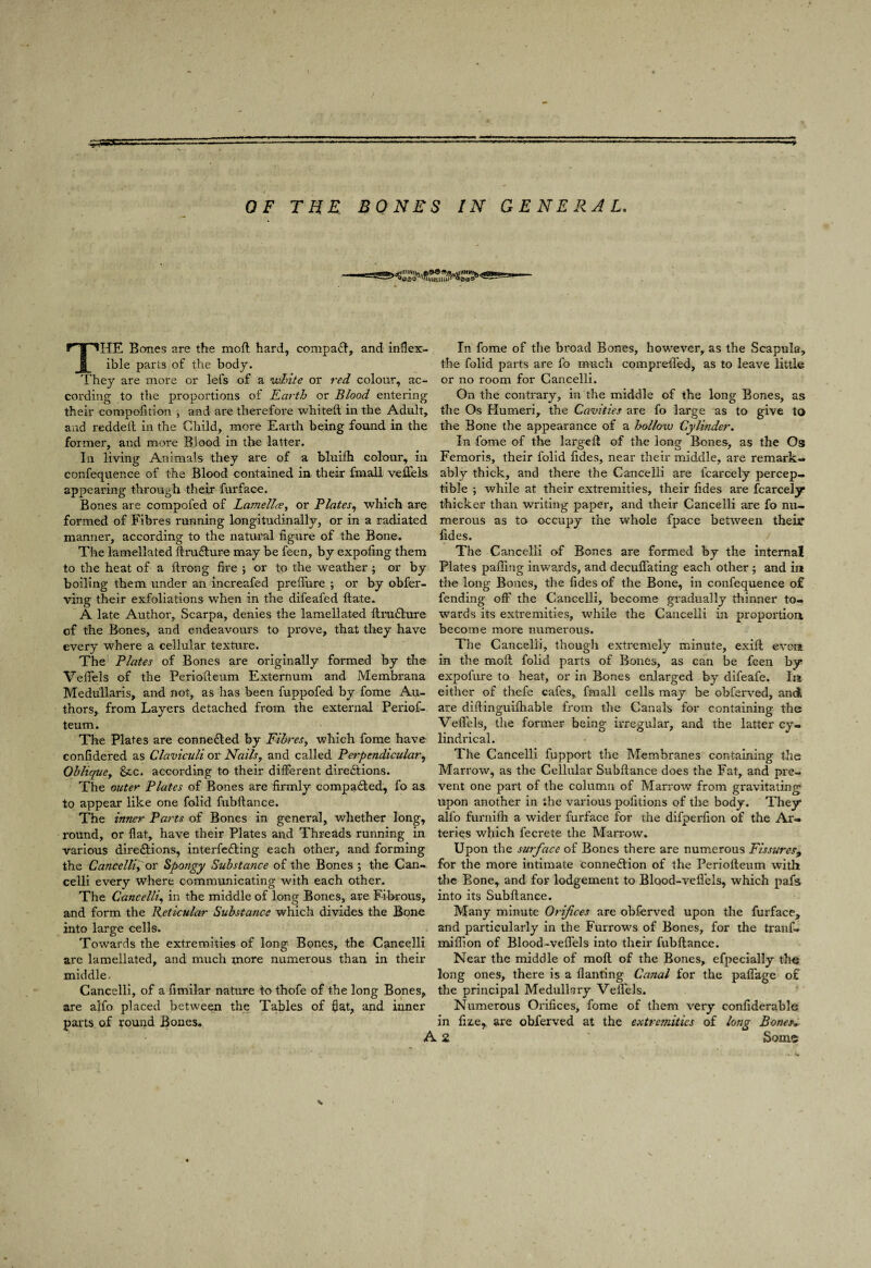 The Banes are the moft hard, compaf^, and inflex¬ ible parts of the bodj. They are more or lefs of a wlnte or red colour, ac¬ cording to the proportions of Earth or Blood entering their compofition , and are therefore whiteft in the Adult, and reddell in the Child, more Earth being found in the former, and more Blood in the latter. In living Animals they are of a bluilh colour, in confequence of the Blood contained in their fmall veflels appearing through their furface. Bones are compofed of Lamellce, or Plates^ which are formed of Fibres running longitudinally, or in a radiated manner, according to the natural figure of the Bone. The lamellated ftrusEfure may be feen, by expofing them to the heat of a ftrong fire ; or to the weather ; or by boiling them under an increafed prefiure ; or by obfer- ving their exfoliations when in the difeafed ftate. A late Author, Scarpa, denies the lamellated llm£l;ure of the Bones, and endeavours to prove, that they have every where a cellular texture. The' Plates of Bones are originally formed by the Vefiels of the Periodeum Externum and Membrana Medullaris, and not, as has been fuppofed by fome Au¬ thors, from Layers detached from the external Periof- teum. The Plates are connedled by FihreSy which fome have confidered as Claviculi or Nails, and called Perpendicular^ Oblique, &.C. according to their different directions. The outer Plates of Bones are firmly compaCled, fo as to appear like one folid fubftance. The inner Parts of Bones in general, whether long, round, or flat, have their Plates and Threads running in various directions, interfeCling each other, and forming the Cancelli, or Spongy Substance of the Bones ; the Can- celli every where commtmicating with each other. The Cancelli^ in the middle of long Bones, are Fibrous, and form the Reticular Substance which divides the Bone into large cells. Towards the extremities of long Bones, the Cancelli are lamellated, and much more numerous than in their middle. Cancelli, of a fimilar nature ta thofe of the long Bones, are alfo placed between the Tables of flat, and inner parts of round Bones. In fome of the broad Bones, however, as the Scapula, the folid parts are fo much comprefled, as to leave little or no room for Cancelli. On the conti’ary, in the middle of the long Bones, as the Os Humeri, the Cavities are fo large as to give to the Bone the appearance of a hollow Cylinder. In fome of the largeft of the long Bones, as the Os Feraoris, their folid fides, near their middle, are remark¬ ably thick, and there the Cancelli are fcarcely percep¬ tible ; while at their extremities, their fides are fcarcely thicker than writing paper, and their Cancelli are fo nu¬ merous as to occupy the whole fpace between their fides. The Cancelli of Bones are formed by the Internal Plates pafling inwards, and decufiating each other; and in the long Bones, the fides of the Bone, in confequence of fending off the Cancelli, become giadually thinner to¬ wards its extremities, while the Cancelli in proportion become more numerous. The Cancelli, though extremely minute, exifl even in the moll folid parts of Bones, as can be feen by expofure to heat, or in Bones enlarged by difeafe. In either of thefe cafes, fmall cells may be obferved, and are diftinguilhable from the Canals for containing the VeflTels, the former being irregular, and the latter cy- llndi'ical. The Cancelli fupport the Membranes containing the Marrow, as the Cellular Subftance does the Fat, and pre¬ vent one part of the column of Marrow from gravitating upon another in the various pofitions of the body. They alfo furnlfh a wider furface for the difperfion of the Ar¬ teries which fecrete the Marrow. Upon the surface of Bones there are numerous Fissures^ for the more intimate Connexion of the Periofteum with the Bone, and for lodgement to Blood-vefi’els, which pafs into its Subftance. Many minute Orifices are obferved upon the furface, and particularly in the Furrows of Bones, for the tranf- miflion of Blood-veflels Into their fubftance. Near the middle of moft of the Bones, efpeclally the long ones, there is a flanting Canal for the paflage of the principal Medullary VeflTels. Numerous Orifices, fome of them very confiderable in fiz.e, are obferved at the extremities of long Bones, 2 Some