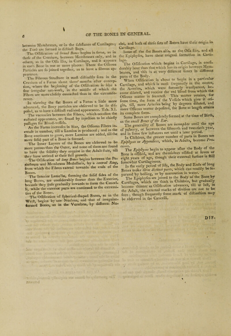 <5 between ^Jembranes, or in the fubftance of Cartilages ; the Teeth are formed in diftind Bags. The OiTification of broad Bones begins in fome, as ni thofe of the Cranium, between Membranes only, and in others, as in the Ofl’a Ilia, in Cartilage, and it appears in each Bone in one or more places : There the Ofl'eous Particles are fo joined together, as to have a fibrous ap¬ pearance. . . , r -1 The Fibrous Stru6lure is moft diftin£tly feen in the Cranium of a Foetus about three' months after concep¬ tion, where the beginning of the Ofllfication is like a fine irregular net-work, in the middle of which the Fibres are more clofely connefted than in the circumle- rcncc# In viewing the flat Bones of a Foetus a little more advanced, the Bony particles are obferved to be fo dif- pofed, as to have adiftinft radiated appearance. Tab. Xi. 'The vacancies between the Fibres, which occafion the radiated appearance, are found by injection to be chiefly paffages for Blood-veflels. As the Foetus increafes in Size, the Ofleous Fibres in- creafe in number, till a Lamina is produced ; and as the Bone continues to grow, more Laminae are added, till the more folid part of a Bone is formed. The Inner Layers of the Bones are obferved to be more porous than th^ Outer, and none of them ^e found to have the folidity they acquire in the Adult Itate, till they have arrived at their full growth. The OiTification of long Bones begins between the Pe- . riofteum and Membrana Medullaris, by a central Rtng^ from which the Fibres extend towards the ends of the ^°The Interior Lamellae, forming the folid fides of the long Bones, are confiderably lliorter than the Exterior, becaufe they pafs gradually inwards to form the Cancel- H, while the exterior parts are continued to the extremi¬ ties of the Bones. , „ ' • *1, The Olfification of fpherical-Ibaped Bones, as m the Wrift, begins by one Nucleus, and that of irregi^r- formed Bones, as in the Vertebrae, by diflfexent Nu¬ clei, and both of thefe fets of Bones have their origin iu Cartilage. tt Some of the flat Bones alfcv as the Ofla Ilia, and ad the Epiphyfes, have their orignal formation in Carti- ^The OiTification which begias in Cartilage, is confi¬ derably later than that which has its origin between Mem¬ branes, and this is at very diiferent times in difterent parts of the Body. ^ ^ • 1 • When OiTification is about to begin in a particular Cartilage, and whicli is moll frequently in the centre, the Arteries, which vrere formerly tranfparent, be¬ come dilated, and receive the red blood from which the Offeous matter is fecreted. This matter retains, tor fome time, the form of the Veflfels which give it ori¬ gin, till, more Arteries being by degrees dilated, and more Ofleous matter depofited, the Bone at length attains its complete form. . Some Bones are completely formed at the time ot Birtn, as the small Bones of the Ear. ^ The generality of Bones are incomplete until the age of puberty, or between the fifteenth and twentieth year, and in fome few inflances not until a later period. In Children, the greater number of parts in Bones are Epiphyses or Appendices, which, in Adults, become Pro- ^^^The Epiphyses begin to appear after the Body of the Bone is offified, and are themfelves offified at ^^^yen or eight years of age, though their external furface is Itill fomewhat Cartilaginous. ' ^ ^ In the early period of life, the Body and Ends of long Bones make three distinct parts, which can readily be ie- parated by boiling, or by maceration in water. The Epiphyfes are joined to the Body of the Bone by Cartilages, which are thick in Children, but gradually become thinner as OiTification advances, till at lall, m the Adult, the external marks of divifion are not to be feen ; though frequently fome mark of diilin£lion may be obferved in the Cancelli. DIF-