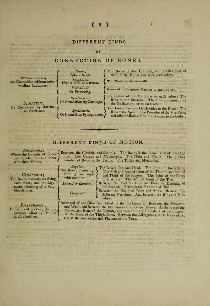( ? ) DIFFERENT KINDS OP CONNECTION OF BONES. ®r Connection without inter-^ mediate Subftance. Suture, Like a Seam. Like a Nail in a Jioara. SrMPiirsis, Or Conneftion by interme¬ diate Subftance. t f 1 Schindelysis, Or Furrowing^ {The Bones of the Cranium, and greater part of thofe of the Upper Jaw with each other. { J Bones of the Septum Narium to each other. Synchondrosis Or Connection by Cartilag f., ^ f iiartilage. 1 Syndesmosis, Or Connection by Ligament* The Bodies of the Vertebrae to each other; The Ribs to the Sternum : The Offa Innominata to the Os Sacrum, or to each other. The Lower Jaw and Os Hyoides to the Head : Tlie Ribs to the Spine ; The Procefles of the Vertebrae, and alfo the Bones of the Extremities to each other. DIFFERENT KINDS OF MOTION. Arthrodia; Where the flat ends of Bones are oppofed to each other with little Motion. Gjnglimus ; The Bones mutually receiving each other ; and the Liga- < ments admitting of a hing- like Motion. Between the Clavicle pus. The Carpus and Scapula. The Bones in the fecond row of the Car* and Matacarpus. The Tibia and Fibula. The greater number of Bones in the Tarfus. The Tarfus and Metatarfus. Angular. One Bone, in moving, forming an angle with another. Lateral or Circular. Compound. The Lower Jaw and Head. The Joint of the Elbow. The Firft and Second Joints of the Thumb, and Second and Third of the Fingers. The Joint of the Kiieei The Ankle. The two laft Joints of the Toes. 3 Between the Firft Vertebra and ProceiTus Dentatus of C the Second. Between the Radius and Ulna. \ Between the Occipital Bone and Atlas. Between the I different Vertebrae. And between the Ribs and Ver¬ tebrae. Enarthrosis ; Or Ball and Socket; the Li¬ gaments allowing Motion la all directions. 'Inner end of the Clavicle, Head of the Os Humeri. Between the Fore-arm and Wrift, and between the two Rows of the Carpal Bones. At the root of the Metacarpal Bone of the Thumb, and root of the firft Phalanx of the Fingers, At the Head of the Thigh-Bone, Between the Aftragalus and Os Naviculare, and at the root of the fii'ft Phalanx of the Toes.