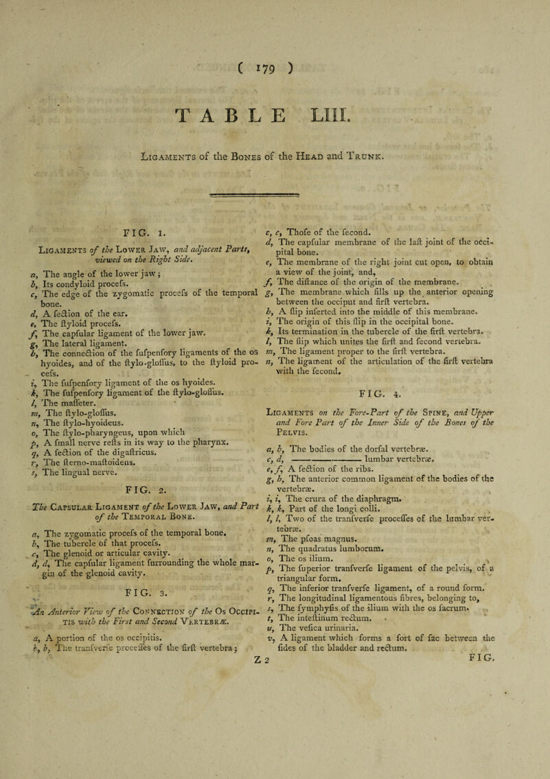 TABLE LIll. Ligaments of the Bones of the Head and Trunk. FIG. 1. Ligaments of the Lower Jaw, and adjacent Parts, viewed on the Right Side. a. The angle of the lower jaw j h. Its condyloid procefs. Cy The edge of the zygomatic procefs of the temporal bone. dy A feclion of the ear. By The ftyloid procefs. f The capfular ligament of the lower jaw. g. The lateral ligament. by The connection of the fufpenfory ligaments of the os hyoides, and of the ftylo-gloffus, to the ftyloid pro¬ cefs. z. The fufpenfory ligament of the os hyoides. ky The fufpenfory ligament of the flylo-gloflus. ly The mafl'eter. ?ny The ftylo-gloffus. 7/, The ftylo-hyoideus. Oy The ftylo-pharyngeus, upon which py A fmall nerve refts in its way to the pharynx. q, A feclion of the digaftricus. Vy The fterno-maftoideus. Sy The lingual nerve. FIG. 2. The Capsular Ligament of the Lower Jaw, and Part of the Temporal Bone. a. The zygomatic procefs of the temporal bone. h. The tubercle of that procefs. Cy The glenoid or articular cavity. dy dy The capfular ligament furrounding the whole mar¬ gin of the glenoid cavity. FIG. 3. '*An Anterior View of the Connection of the Os Occipi- Tis with the First and Second Vertebra:. dy A portion of the os occipitis. ly by The tranfverie prcceffes of the firft vertebra j Cy Cy Thofe of the fecond. dy Tlie capfular membrane of the laft joint of the occi¬ pital bone. Cy The membrane of the right joint cut open, to obtain a view of the joint, and, fy The diftance of the origin of the membrane. , gy The membrane which fills up the^ anterior opening between the occiput and firft vertebra. hy A flip inferted into the middle of this membrane. iy The origin of this flip in the occipital bone. ky Its termination in the tubercle of the firft vertebra. ly The flip which unites the firft and fecond vertebra. TUy The ligament proper to the firft vertebra. Uy The ligament of the articulation of the firft vertebra with the fecond. FIG. 4. Ligaments on the Fore-Part of the Spine, and Upper and Fore Part of the Inner Side of the Bones of the Pelvis. a, by The bodies of the dorfal vertebrse. Cy dy-lumbar vertebrse, Cyfy A feflion of the ribs. gy by The anterior common ligament of the bodies of the vertebrae. iy iy The crura of the diaphragm. ky ky Part of the longi colli. ly I, Two of the tranfverfe proceffes of the lumbar ver¬ tebrae. m. The pfoas magnus. n, The quadratus lumborum. Oy The os ilium. py The fuperior tranfverfe ligament of the pelvis, of a triangular form. q. The inferior tranfverfe ligament, of a round form. r. The longitudinal ligamentous fibres, belonging to, Sy The fymphyfis of the ilium with the os facrum. ty The inteftinum re£lum. Uy The vefica urinaria. A ligament which forms a fort of fac between the fides of the bladder and reftum.