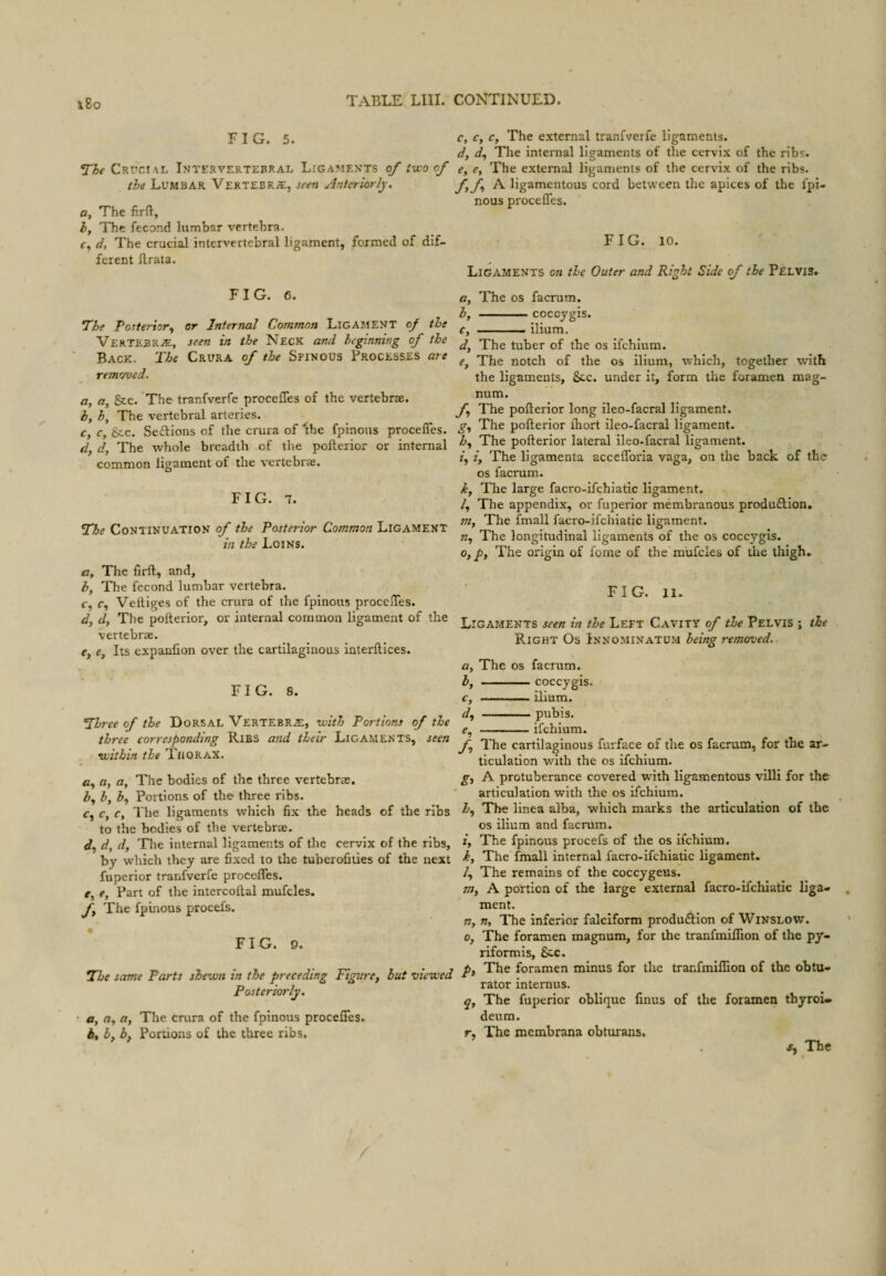 i8o FIG. 5. The Crttcial Intervertebral Ligaaients of two of the Lumbar Vertebra;, seen Anteriorly, c, The hrft, h. The fecond lumbar vertebra. r, d. The crucial intervertebral ligament, formed of dif¬ ferent Ilrata. FIG. 6. The 'Posterior,^ or Internal Common Ligament of the Vertebra:, seen in the Neck and beginning of the Back. The Crura of the Spinous Processes are removed, a, a, Sac. The tranfverfe procefles of the vertebrae. i, h, The vertebral arteries. c, c, Sec. Sedions of the crura of 'the fpinous procefles. d, d, The whole breadth of the pollerior or internal common ligament of the vertebras. FIG. 7. The Continuation of the Posterior Common Ligament in the Loins. <7, The firfl, and, h, The fecond lumbar vertebra, f, c, Veltiges of the crura of the fpinous procciTes. dy d, The pollerior, or internal common ligament of the vertebrae. ey Cy Its expanlion over the cartilaginous interllices. FIG. 8. Three of the Dorsal Vertebra;, with Portions of the three corresponding Ribs and their Ligaments, seen within the Thorax. c, n, a. The bodies of the three vertebrae. hy by 3, Portions of the three ribs. Cy Cy I he ligaments which fix the heads of the ribs to the bodies of the vertebras, f/, d, dy The internal ligaments of the cervix of the ribs, by which they are fixed to the tuberofities of the next fuperior tranfverfe proceflTes. Cy e. Part of the intercollal mufcles. fy The fpinous procefs. FIG. 9. The same Parts shewn in the preceding Ptgitre, but viewed Posteriorly. Oy ay a. The crura of the fpinous procefles. by by by Portions of the three ribs. c, c, Cy The external tranfverfe ligaments. dy dy The inteimal ligaments of the cervix of the ribs. ey ey The external ligaments of the cervix of the ribs. fyfy A ligamentous cord between the apices of the fpi- nous procefles. FIG. 10. Ligaments on the Outer and Right Side of the Pelvis. Oy The os facrum. by -coccygis. Cy ' ilium. dy The tuber of the os ifchium. Cy The notch of the os ilium, which, together with the ligaments, See. under it, form the foramen mag¬ num. fy The pollerior long ileo-facral ligament. gy The pollerior Ihort ileo-facral ligament. hy The pollerior lateral ileo-facral ligament. iy iy The ligamenta acceflbria vaga, on the back of the os facrum. ky The large facro-ifehiatic ligament. ly The appendix, or fuperior membranous produdion, nty The fmall facro-ifchiatic ligament. Uy The longitudinal ligaments of the os coccygis. Oy py The origin of fome of the mufcles of the thigh, FIG. 11. Ligaments seen in the Left Cavity of the Pelvis ; the Right Os Innominatum being removed. Oy The os facrum. hy O dy coccygis. ilium. pubis. ey -ifchium. fy The cartilaginous furface of the os facrum, for the ar¬ ticulation with the os ifchium. gy A protuberance covered with ligamentous villi for the articulation with the os ifchium. hy The linea alba, which marks the articulation of the os ilium and faemm. iy The fpinous procefs of the os ifchium. ky The fmall internal facro-ifchiatic ligament. ly The remains of the coccygeus. my A portion of the large external facro-ifchiatic liga¬ ment. n. The inferior falciform produdion of Winslow. Oy The foramen magnum, for the tranfmilTion of the py- nformis, S;c. py The foramen minus for the tranfmiffion of the obtu¬ rator internus. The fuperior oblifiue finus of the foramen thyroi- deum. r, The membrana obturans.