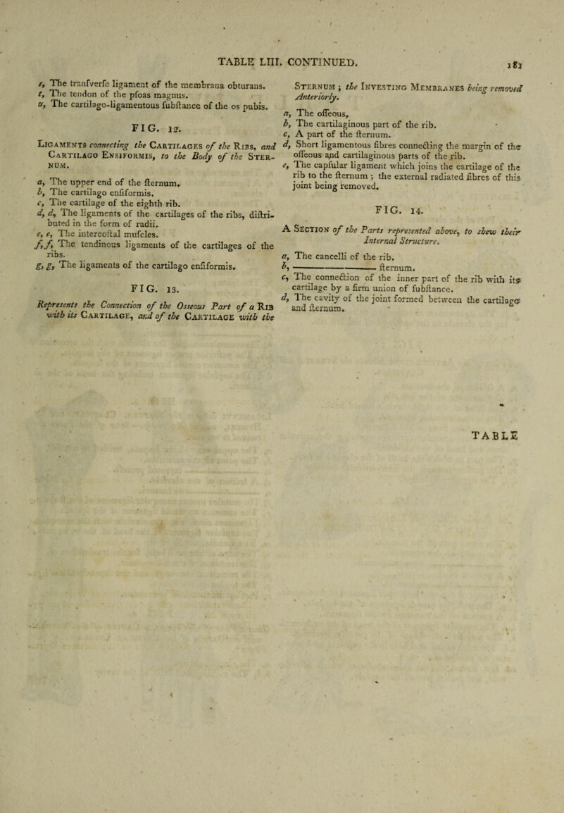 TABLE LIII. CONTINUED. 1S2 i'. The tranfverfe ligament of the membrana obturans. The tendon of the pfoas raagnus. Ehe cartilago-ligamentous fubftaiice of the os pubis. FIG. 1^. Ligaments connecting the Cartilages of the Ribs, ani Cartilago Ensiformis, to the Body of the Ster¬ num. fl, The upper end of the fternum, by The cartilago enfiformis. c. The cartilage of the eighth rib. dy d^ The ligaments of the cartilages of the ribs, diftri- buted in the form of radii. Cy By The intercoftal mufcles. The tendinous ligaments of the cartilages of the ribs. gy g. The ligaments of the cartilago enfiformis. 0 FIG. 13. Represents the Connection of the Osseous Fart of a R13 with its Cartilage, aud of the Cartilage vjith the Sternum j the Investing Membranes being removed Anteriorly, tty The ofleous, by The cartilaginous part of the rib. Cy A part of the flernum. dy Short ligamentous fibres conne£ling the margin of the olTeous and cartilaginous parts of the rib. €y Lhe capfular ligament which joins the cartilage of the rib to the fternum ; the external radiated fibres of this joint being removed, FIG. 14. A Section of the Parts represented above^ to shew their Interned Structure, Oy The cancelli of the rib. --llernum. c, The connexion of the inner part of the rib with its> cartilage by a firm union of fubilance. dy The cavity of the joint formed between the cartilage and flernum. TABLE (