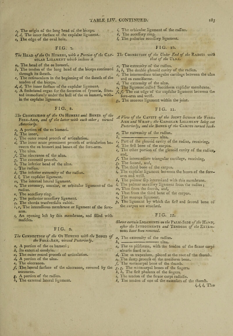 r, The orlglii of the long head of the biceps. dy d. The inner furface of the capfuNr ligament, e, The edge of the oval hole. fig; 7. Head of the Os Humeri, with a Portion of the Cap¬ sular Ligament which incloses it. <7, The head of the os humeri. The tendon of the long head of the biceps continued through its flieath. r. The retinaculum in the beginning of the iheath of the tendon of the biceps. dy dy The inner furface of the capfular ligament. Cy A fimbriated organ for the fecretion of fjnovia, fitua- ted immediately under the ball of the os humeri, with¬ in the capfular ligament. FIG..S. The Connection of the Os Humeri and Bones of the Fore-Arm, and of the latter with each other ; viewed Anteriorly. Oy A portion of the os humeri. by The inner, Cy The outer round procefs of articulation. d, The inner acute prominent procefs of articulation be¬ tween the os humeri and bones of the fore-arm. r. The ulna. f The olecranon of the ulna. , The coronoid procefs. h.y The inferior head of the ulna. iy The radius. by The inferior extremity of the radius.. ly ly The capfular ligament. rsy The internal lateral ligament. The coronary, annular, or orbicular ligament of the radius. Oy The accefibry ring. py The pofterior acceffory ligament. The chorda tranfverfalis cubiti.. ?•, l y The interoffeous membrane or ligament of the fore¬ arm. s, An opening left by this membrane, and filled with mufcles. . FIG. 9. The Connection of the Os Humeri with the Bones of the Fore-Arm, viewed Posteriorly. Oy A portion of the os humeri j by Its extenial condyle. €y The outer round procefs of articulation. dy A portion of the ulna. Cy The olecranon. f The lateral furface of the olecranon, covered by the anconeus. gy A portion of the radius. hy The external lateral ligament. iy The orbicular ligament of the radius. .. ky The acceffory I'ing. /, The poherior accelfory ligament. FIG. 10. The Connection of the Under End of the Radius with that of the Ulna. ay The extremity of the radius. by by The double glenoid cavity of the radius. Cy The intermediate triangular cartilage between the ulna and os cuneiforme. dy The extremity of the ulna. Cy The ligament called Sacciform capfular membrane. fy fy The cut edge of the capfular ligament between the fore-arm and wrifl. gy The mucous ligament within the joint. FIG. li. A View of the Cavity of the Joint between the Fore- Arm Wrist; the Capsular Ligament being cut Posteriorljiy and the Bones of the Carpus turned hack.- Cy The extremity of the radius. by .. -— ulna. Cy Part of the glenoid cavity of the radius, receiving, dy The firfl bone of the carpus. Cy The other portion of the glenoid cavity of the radius^ and, fy The intermediate triangular cartilage, receiving, gy The fecond, and, hy The. third bone of the carpus. iy The capfular ligament between the bones of the fore«- arm and vvri'fl. ky The palmar flip intermi.ved with this membrane. ly The palmar accelTory ligament from the radius ; viy Tiiat from the fourth, and, iiy I'hat from the third bone of the carpus. 0, The mucous ligament. py The ligament by which the firft and fecond bone of tlic carpus are attached. • FIG. 12.- Shews certain Ligaments on the Palm-Side of the Hand^ (fter the Integuments and Tendons of the Exten¬ sors have been removed. tty The extremity of the radius. by-ulna, Cy rhe os pififorme, with the tendon of the flexor carpi- ulnaris fixed to it. dy The os trapezium, placed at the root of the thumb.. ey The iharp procefs of the unciform bone. fy The metacarpal bone of the tfmmb. gy gy Tlie Uietacarpal bones of the fingers. hy hy The firfi phalanx of the fingers. iy The tendon of the fiexor carpi radlalis. ky The tendon of one of the extenfors of the thumb. /, /, /, Th^