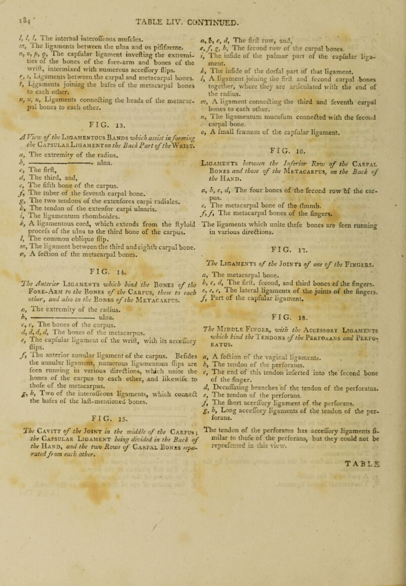 /, /, /, The intcrlial iiitcroffeous mufcles. tn, Ihe ligaments between the ulna and os piliformc. 0, py Qy The capfular ligament iiivefting the extremi¬ ties of the bones of the fore-arm and bones of the wrift, intermixed with numerous acceflbrj flips. r, Sy Ligaments between the carpal and metacarpal bones. fy Ligaments joining the bafcs of the metacarpal bones to each other. f/y u, Uy Ligaments conneding the heads of the metacar¬ pal bones to eacli other. FIG. 13. ^ T^iciv of the Ligamentous Bands which assist in forming the Capsular Ligament o/z the Back Part of /i>/WRisT. ny The extremity of the radius. by - ' ulna. Cy The firft, dy The third, and, c. The fifth bone of the carpus. f The tuber of the feventh carpal bone. gy T.he two tendons of the extenfores carpi radiales. hy The tendon of the extenfor carpi ulnaris. iy The ligamentum rhomboides. k, A ligamentous cord, which extends from the flyloid procefs of the ulna to the third bone of the carpus. l, The common oblique flip. ?/?, The ligament between the third andeighth carpal bone, r, A fe£lion of the metacarpal bones. FIG. 14. li'he Jnterior Ligaments which hind the Bones of the Fore-Arm to the Bones of the Carpus, these to each othery and also to the Bones of the Met.-vcarpus. eiy The extremity of the radius. hy ■ --ulna. Cy c. The bones of the carpus. dydydydy The bones of the metacarpus. e, The capfular ligament of the wrift, with its accelTory flips. fy The anterior annular ligament of the carpus. Befides the annular ligament, numerous ligamentous flips are feen running in various diredions, wliich unite the bones of the carpus to each other, and likewife to ihofe of the metacarpus. gy hy Two of the interofl'eous ligaments, which connefl the bafes of the laft-mentioned bones. FIG. 15. *Xhc Cavity of the Joint in the middle of the Carpus ; the Capsular Ligament being divided in the Back of the Hand, and the two Rows of Carpal Bones sepa¬ rated from each other. Oy Cy dy Tlie firfl row, and, Cyfy gy ky Tlio fccood pow of the carpal bones. iy The iafidc of the palmar part of the capfular liga¬ ment. The infide of the dorfal part of that ligament. /, A ligament joining the firfl and' fecond carpal bones together, where they are articulated with the end of the radius. m, A ligament connecfing the third and feventh carpal bones to each other. n. The ligamentum mucofum connefted with the fecond . carpal bone. Oy A fmall frtenum of the capfular ligament. FIG. 16. Ligaments between the Inferioi- Row of the Carpal Bones and those of the Metacarpus, on the Back of the Hand. * ■- p Oy by Cy dy The four bones of the fecond row bf the car¬ pus. Cy The metacarpal bone of the thumb. fy fy The metacarpal bones of the fingers. The ligaments which unite thefe bones are feen running in various directions. FIG. 17. Phe Ligaments of the Joints of one of the Fingers. ay The metacarpal bone. by Cy dy The firft, fecond, and third bones of the fingers. Cy e, e. The lateral ligaments of the joints of the fingers. fy Part of the capfular ligament. FIG. 18. The Middle Finger, with the Accessory Ligaments which bind the Tendons of the Pbkfoeans and Pereo- RaTUS. ' tty A feClion of the vaginal ligaments. by The tendon of the perforaius. Cy The end of this tendon inferted into the fecond bone of the finger. dy DeculTating branches of the tendon of the perforatus. Cy The tendon of the perforans. yi Ihe Ihort acceflbry ligament of the perforans. gy hy Long acceflbry ligaments of the tendon of the per¬ forans. The tendon of the perforatus has acceflbry ligaments fi- milar to thofe of the perlorans, but they could not be reprefented in this view. TABLE
