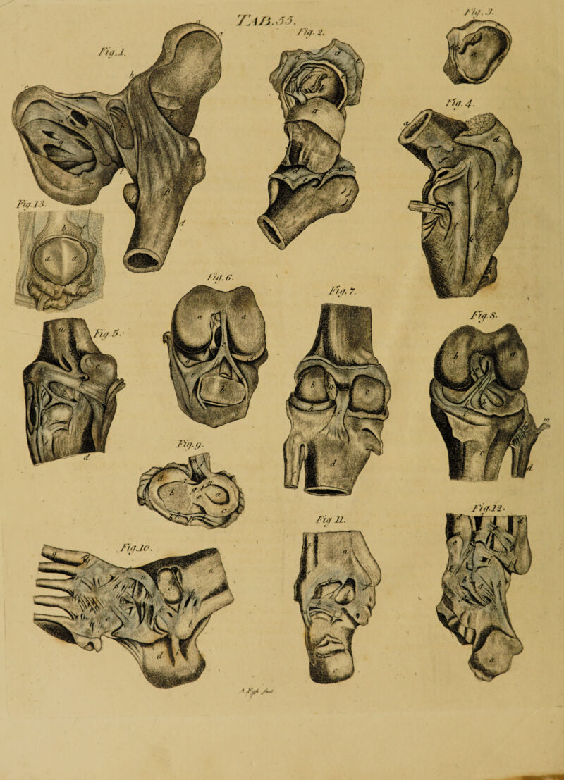 F7(7 I'-i fiif. e. I'hf. y. J'’nl22 Ficf 21 fiiJJO <7i»J£i5-X