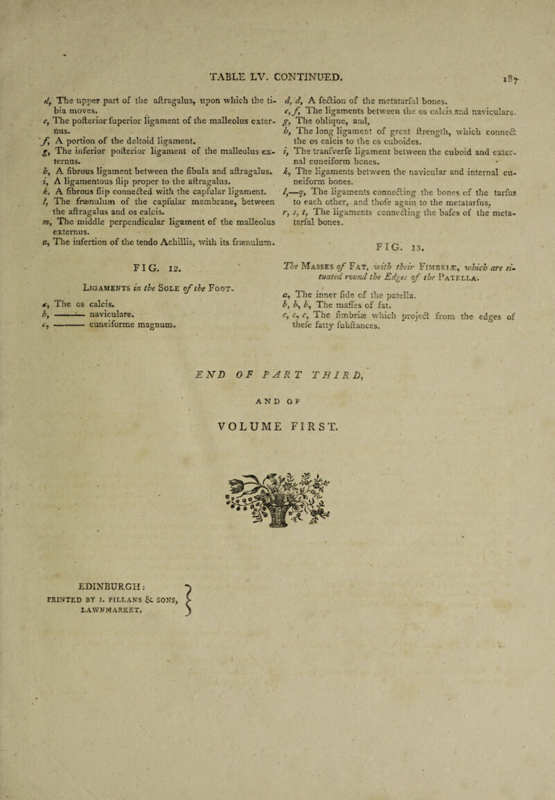 Oj % 1S7 fj. The upper part of the aftragalus, upon which the ti¬ bia moves. e. The pofterior fuperior ligament of the malleolus exter- nus. ■yi A portion of the deltoid ligament. The inferior pofterior ligament of the malleolus ex- ternus. h, A fibrous ligament between the fibula and aftragalus, j, A ligamentous flip proper to the aftragalus. A fibrous flip connefted with the capfular ligament. The fraenulum of the capfular membrane, between the aftragalus and os calcis. The middle perpendicular ligament of the malleolus externus. The infertion of the tendo Achillis, with its fraenulum. FIG. 12. Ligaments in the Sole o/*the Foot. The os calcis. -:— naviculare. -cuneiforme magnum. d, dj A fe£l;ion of the metatarfal bones. The ligaments between the os calcis and naviculare. gy The oblique, and, hy The long ligament of great ftrength, which conned the os calcis to the os cuboides. i, The traniverfe ligament between the cuboid and exter¬ nal cuneiform bones. The ligaments between the navicular and internal cu¬ neiform bones. ly—7, The ligaments conneding the bones of the tarfus to each other, and thofe again to the metatarfus. r, s, ty The ligaments conneding the bafes of the meta¬ tarfal bones. FIG. 13. The Masses of Fat, with their Fimbria:, -which are si^ tuated round the Edges of the Patella. <7, The inner fide of the patella. by The mafles of fat. c, c, Cy The fimbrias which project from the edges of thefe fatty fubftances. END OF PART THIRD,’ AND OF VOLUME FIRST. EDINBURGH: feinted by j. pillans Sc sons, L-AWNMARKET.