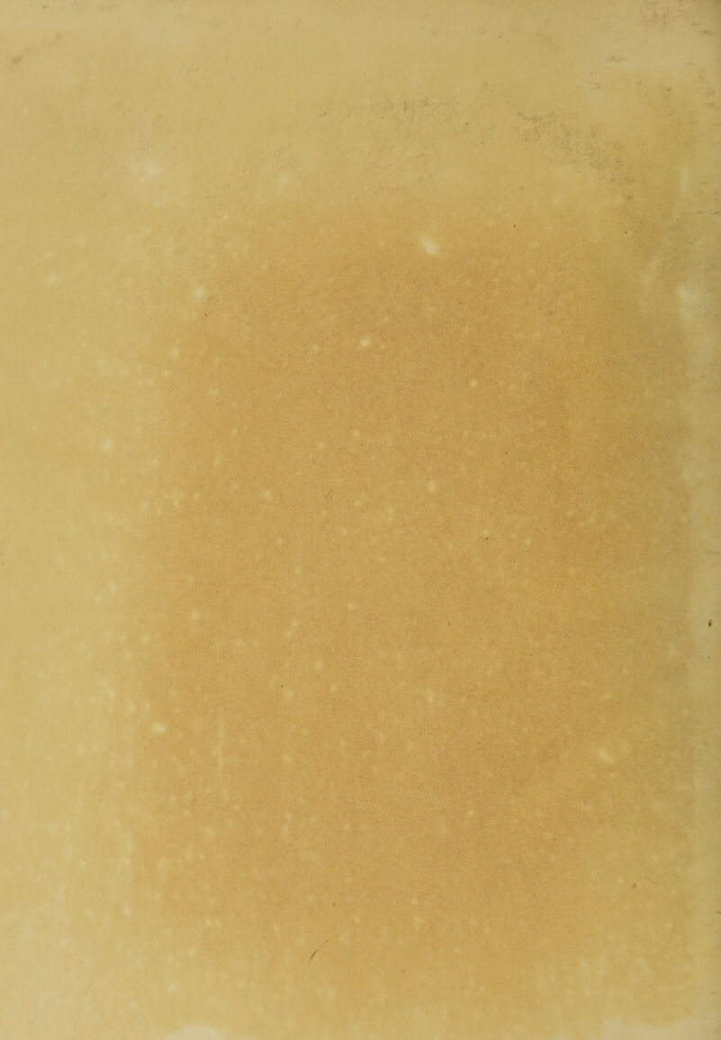 n ;Vr t’ ■ -'1 I‘Y .V t’ r, ■ It**- ' I • ■' ;■ ,• .;».«•■ N •' ■:A j - .’ / • « ► . ^ •f* . - ^Vv*V'' -»<> -' *f- ■ •-V, , ,• .'. -VSfc^» .. • • • V- . r ^ -V' J