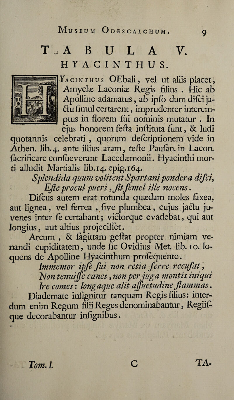 T , A B U L A V. HYACINTHUS. Ya c i n t h u s OEbali, vel ut aliis placet, Amyclae Laconiae Regis filius . Hic ab Apolline adamatus, ab iplb dumdilcija- £tu fimul certarent, imprudenter interem¬ ptus in florem lui nominis mutatur . In ejus honorem fella inftituta lunt, & ludi quotannis celebrati , quorum deferiptionem vide in Athen. lib. 4. ante illius aram, tefle Paulan. in Lacon, lacrificare confueverant Lacedaemonii. Hyacinthi mor¬ ti alludit Martialis lib. 14. epig.164. Splendida quum volitent Spartani pondera difci, Efle procul pueri ,fltfemel ille nocens. Difeus autem erat rotunda quaedam moles laxea, aut lignea, vel ferrea , live plumbea, cujus jactu ju¬ venes inter fe certabant; victor que evadebat, qui aut longius, aut altius projeciflet. Arcum , & lagittam geftat propter nimiam ve¬ nandi cupiditatem, unde fic Ovidius Met. lib. 1 o. lo- quens de Apolline Hyacinthum profequente. Immemor ipfe fui non retia ferre recufat, Non tenuijfe canes, non per juga montis iniqui Ire comes: longaque alit ajfuetudine flammas. Diademate infignitur tanquam Regis filius: inter¬ dum enim Regum filii Reges denominabantur, Regiifi que decorabantur infignibus. Tom. I.