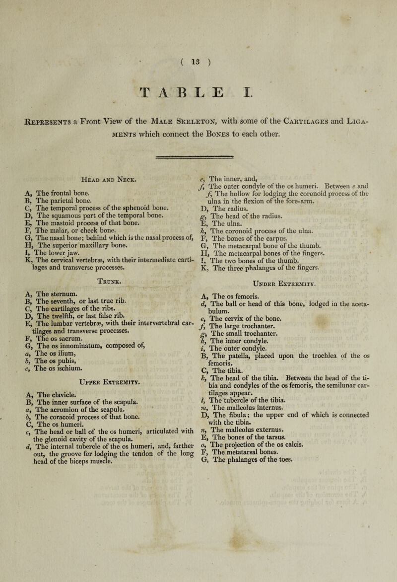 TABLE I. Represents a Front View of the Male Skeleton, with some of the Cartilages and Liga¬ ments which connect the Bones to each other. Head and Neck. A, The frontal bone. B, The parietal bone. C, The temporal process of the sphenoid bone. D, The squamous part of the temporal bone. E, The mastoid process of that bone. F, The malar, or cheek bone. G, The nasal bone; behind which is the nasal process of, H, The superior maxillary bone. I, The lower jaw. K, The cervical vertebrae, with their intermediate carti¬ lages and transverse processes. Trunk. A, The sternum. B, The seventh, or last true rib. C, The cartilages of the ribs. D, The twelfth, or last false rib. E, The lumbar vertebrae, with their intervertebral car¬ tilages and transverse processes. F, The os sacrum. G, The os innominatum, composed of, a, The os ilium, Jj, The os pubis, c, The os ischium. Upper Extremity. A, The clavicle. B, The inner surface of the scapula. a, The acromion of the scapula. b, The coracoid process of that bone. C, The os humeri. c, The head or ball of the os humeri, articulated with the glenoid cavity of the scapula. d, The internal tubercle of the os humeri, and, farther out, the groove for lodging the tendon of the long head of the biceps muscle. e, The inner, and, f, The outer condyle of the os humeri. Between e and f The hollow for lodging the coronoid process of the ulna in the flexion of the fore-arm. D, The radius. g, The head of the radius. E, The ulna. h, The coronoid process of the ulna. F, The bones of the carpus. G, The metacarpal bone of the thumb. H, The metacarpal bones of the fingers. I, The two bones of the thumb. K, The three phalanges of the fingers. Under Extremity. A, The os femoris. d, The ball or head of this bone, lodged in the aceta¬ bulum. e, The cervix of the bone. f, The large trochanter. g, The small trochanter. h, The inner condyle. 2, The outer condyle. B, The patella, placed upon the trochlea of the os femoris. C, The tibia. 7c, The head of the tibia. Between the head of the ti¬ bia and condyles of the os femoris, the semilunar car¬ tilages appear. I, The tubercle of the tibia. vi, The malleolus internus. D, The fibula; the upper end of which is connected with the tibia. n, The malleolus externus. E, The bones of the tarsus. o, The projection of the os calcis. F, The metatarsal bones. G, The phalanges of the toes.