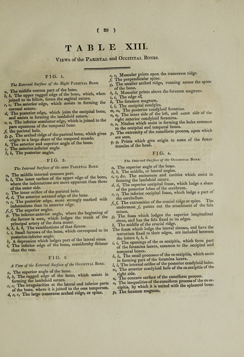 ( 29 ) TABLE XIII. Views of the Parietal and Occipital Bones. FIG. l. The External Surface of the Right Parietal Bone. a, The middle convex part of the bone. b b, The upper ragged edge of the bone, which, when ’ ioined to its fellow, forms the sagittal suture. c, c, The anterior edge, which assists in forming the coronal suture. . . . . , d The posterior edge, which joins the occipital bone, and assists in forming the lambdoid suture. e9 e. The inferior semilunar edge, which is joined to the pars squamosa of the temporal bone. f. the parietal hole. . , . g The arched ridge of the parietal bone, which gives & origin to a large share of the temporal muscle. The anterior and superior angle of the bone. 2, The anterior-inferior angle. Jc, Jc, The posterior angles. FIG. 2. The Internal Surface of the same Parietal Bone. a, The middle internal concave part. b, b, The inner surface of the upper edge of the bone, where the indentations are more apparent than those of the outer side. c, The inner orifice of the parietal hole. ds d, The anterior serrated edge of the bone. e e9 The posterior edge, more strongly marked with indentations than its anterior edge. f E The superior angles. , . . P gf The inferior-anterior angle, where the beginning of the furrow is seen, which lodges the trunk of the principal artery of the dura mater. k, ^ h, ^ The ramifications of that furrow. 2,%*, Small furrows of the bone, which correspond to its posterior-inferior angle. , . Jc, A depression which lodges part of the lateral sinus. l, The inferior edge of the bone, consideraby thinner than the rest. FIG. 3. A View of the External Surface of the Occipital Bone. o. The superior angle of the bone. . b, b, The ragged edge of the bone, which assists in forming the lambdoid suture. . c c The irregularities at the lateral and inferior parts ’ of the bone, where it is joined to the ossa temporum. d, e, e, The large transverse arched ridge, or spme. e, e, Muscular prints upon the transverse ridge. £ The perpendicular spine. g, The smaller arched ridge, running across the spine of the bone. h, h, Muscular prints above the foramen magnum. i, i, The edge of, Jc, The foramen magnum. 1, l, The occipital condyles. mi m, The posterior condyloid foramina. n, n, The inner side of the left, and outer side of the right anterior condyloid foramina. o, o, Nitches which assist in forming the holes common ’ to the occipital and temporal bones. p, The extremity of the cuneiform process, upon which are seen, „ , a q, q, Prints which give origin to some of the flexor muscles of the head. FIG. 4. The Internal Surface of the Occipital Bone. a. The superior angle of the bone. b, b, The middle, or lateral angles. _ c c, $>c. The eminences and cavities which assist in forming the lambdoid suture. d, d, The superior occipital fossae, which lodge a share ’ of the posterior lobes of the cerebrum. e, e, The inferior occipital fossae, which lodge a pait of the cerebellum. . , ., . f £ The extremities of the crucial ridge or spine. I he undermost /, points out the attachment of the falx p The fossa which lodges the superior longitudinal sinus, and has the falx fixed to its edges. h. The middle of the crucial ridge. The fossae which lodge the lateral sinuses, and have the tentorium fixed to their edges, are included between the letters h, b, b. . . . . , i i The openings of the os occipitis, which form pait of the foramina lacera, common to the occipital anu temporal bones. . ... ... n • . Jc Jc, The small processes of the os occipitis, which assist in forming part of the foramina lacera. L L The internal orifice of the posterior condyloid holes. m, The anterior condyloid hole of the os occipitis of the right side. rii The concave surface of the cuneiform process. o. The inequalities of the cuneiform process of the os oc¬ cipitis, by which it is united with the sphenoid bone. p. The foramen magnum.