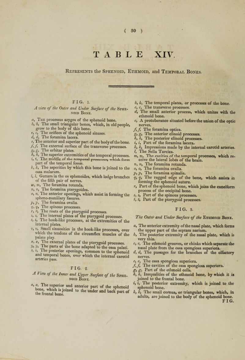 TABLE XIV. Represents the Sphenoid, Ethmoid, and Temporal Bones. FIG. 1. A view of the Outer and Under Surface of the Sphe¬ noid Bone. a, The processus azygos of the sphenoid bone. hi b, The small triangular bones, which, in old people, grow to the body of this bone. c, c, The orifices of the sphenoid sinuses. d, d, The foramina lacera. e, The anterior and superior part of the body of the bone. ,/)/ The external surface of the transverse processes. gi g, The orbitar plates. h, h, The superior extremities of the temporal processes. ?, 7, The middle of tlic temporal prooooaco, which form part of the temporal fossae. 7c, 7c, The asperities by which this bone is joined to the ossa malarum. l, l, Gutters in the os sphenoides, which lodge branches of the fifth pair of nerves. m, m, The foramina rotunda. n, n, The foramina pterygoidea. o, o, The anterior openings, which assist in forming the spheno-maxillary fissures. p, pi The foramina ovalia. q) q, The spinous processes. i'i *'i The roots of the pterygoid processes. s, s, The internal plates of the pterygoid processes. t, t, The hook-like processes, at the extremities of the internal plates. v, v, Small sinuosities in the hook-like processes, over which the tendons of the circumflex muscles of the palate play. x, x, 1 he external plates of the pterygoid processes. y* y> The parts of the bone adapted to the ossa palati. 2, The posterior openings, common to the sphenoid and temporal bones, over which the internal carotid arteries pass. F I G. 2. A l lew of the Inner and Upper Surface of the Sphe¬ noid Bone. a, a, The superior and anterior part of the sphenoid bone, which is joined to the under and back part of b, b, The temporal plates, or processes of the bone. c, c, The transverse processes. d, The small anterior process, which unites with the ethmoid bone. ei A protuberance situated before the union of the optic nerves. ff The foramina optica. gi g, The anterior clinoid processes. h, h, The posterior clinoid processes. ii /, Part of the foramina lacera. 7c, 7c, Impressions made by the internal carotid arteries. 7, The Sella Turcica. m, m. Thp cavities of the temporal processes, which re¬ ceive the lateral lobes of the brain. n, n, The foramina rotunda. o, o, The foramina ovalia. p, p. The foramina spinalia. q, q, The ragged edge of the bone, which assists in forming the sphenoid suture. r, Part of the sphenoid bone, which joins the cuneiform process of the occipital bone. s, s, Part of the spinous processes. t, t. Part of the pterygoid processes. FIG. 3. The Outer and Under Surface of the Ethmoid Bone. a, The anterior extremity of the nasal plate, which forms the upper part of the septum narium. b, The posterior extremity of the nasal plate, which is very thin. c, c, The ethmoid grooves, or chinks which separate the nasal plate from the ossa spongiosa superiora. d, d, The passages for the branches of the olfactory nerves. e, e, The ossa spongiosa superiora. ff, The cavities of the ossa spongiosa superiora. g, g. Part of the ethmoid cells. h, h, Inequalities of the ethmoid bone, by which it is joined to the frontal bone. it i. The posterior extremity, which is joined to the sphenoid bone. 7c, 7c, The small cornua, or triangular bones, which, in adults, are joined to the body of the sphenoid bone. FIG.