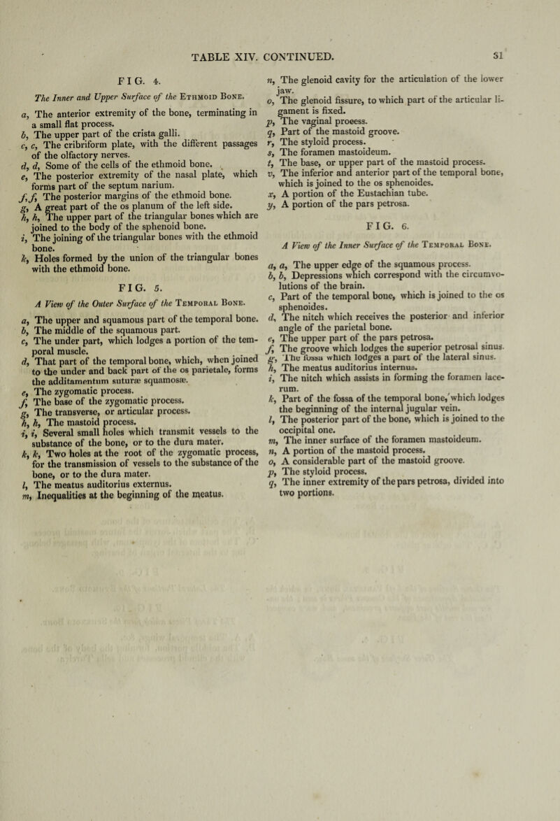 FIG. 4. The Inner and Upper Surface of the Ethmoid Bone. a, The anterior extremity of the bone, terminating in a small flat process. b, The upper part of the crista galli. c, c, The cribriform plate, with the different passages of the olfactory nerves. d, d, Some of the cells of the ethmoid bone. v e9 The posterior extremity of the nasal plate, which forms part of the septum narium. ff The posterior margins of the ethmoid bone. g, A great part of the os planum of the left side. //, h, The upper part of the triangular bones which are joined to the body of the sphenoid bone. 2, The joining of the triangular bones with the ethmoid bone. Holes formed by the union of the triangular bones with the ethmoid bone. FIG. 5. A View of the Outer Surface of the Temporal Bone. a, The upper and squamous part of the temporal bone. b, The middle of the squamous part. c, The under part, which lodges a portion of the tem¬ poral muscle. d, That part of the temporal bone, which, when joined to the under and back part of the os parietale, forms the additamentum suturae squamosa?. e9 The zygomatic process. f9 The base of the zygomatic process, g, The transverse, or articular process. hf k, The mastoid process. i9 i, Several small holes which transmit vessels to the substance of the bone, or to the dura mater. k, k, Two holes at the root of the zygomatic process, for the transmission of vessels to the substance of the bone, or to the dura mater. /, The meatus auditorius externus. nif Inequalities at the beginning of the meatus. n, The glenoid cavity for the articulation of the lower jaw. o, The glenoid fissure, to which part of the articular li¬ gament is fixed. •p, The vaginal process. qf Part of the mastoid groove. r, The styloid process. s, The foramen mastoideum. t} The base, or upper part of the mastoid process. v, The inferior and anterior part of the temporal bone, which is joined to the os sphenoides. x9 A portion of the Eustachian tube. t/, A portion of the pars petrosa. FIG. 6. A View of the Inner Surface of the Temporal Bone. a, a, The upper edge of the squamous process. b, b, Depressions which correspond with the circumvo¬ lutions of the brain. c, Part of the temporal bone, which is joined to the os sphenoides. d, The nitch which receives the posterior and inferior angle of the parietal bone. e, The upper part of the pars petrosa. f The groove which lodges the superior petrosal sinus, g*, The fussa which lodges a part of the lateral sinus. h, The meatus auditorius internus. 2, The nitch which assists in forming the foramen lace- rum. Jc, Part of the fossa of the temporal bone,'which lodges the beginning of the internal jugular vein. If The posterior part of the bone, which is joined to the occipital one. m9 The inner surface of the foramen mastoideum. n, A portion of the mastoid process. Of A considerable part of the mastoid groove. Pf The styloid process. qf The inner extremity of the pars petrosa, divided into two portions.