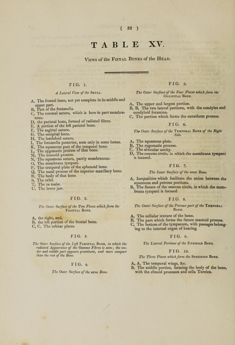 TABLE XV. Views of the Fcetal Bones of the Head. FIG. 1. A Lateral View of the Skull. A, The frontal bone, not yet complete in its middle and upper part. B, Part of the fontanella. C, The coronal suture, which is here in part membra¬ nous. D, the parietal bone, formed of radiated fibres. E, A portion of the left parietal bone. F, The sagittal suture. G, The occipital bone. H, The lambdoid suture. I, The fontanella posterior, seen only in some bones. K, The squamous part of the temporal bone. L, The zygomatic process of that bone. M, The mastoid process. N, The squamous suture, partly membranous. O, The membrana tympani. P, The temporal plate of the sphenoid bone. Q, The nasal process of the superior maxillary bone. F, The body of that bone. S, The orbit. T, The os malse. U, The lower jaw. FIG. 2. The Outer Surface of the Two Pieces which form the Frontal Bone. A, the right, and, B, the left portion of the frontal bone. C, C, The orbitar plates. FIG. 3. The Outer Surface of the Left Parietal Bone, in which the radiated Appearance of the Osseous Fibres is seen ; the un¬ der and middle part appears prominent, and more compact than the rest of the Bone. FIG. 4. The Outer Surface of the same Bone. FIG. 5. The Outer Surface of the Four Pieces which form the Occipital Bone. A, The upper and largest portion. B, B, The two lateral portions, with the condyles and condyloid foramina. C, The portion which forms the cuneiform process. FIG. 6. The Outer Surface of the Temporal Bone of the Right Side. A, The squamous plate. B, The zygomatic process. C, The articular cavity. D, The osseous circle, in which the membrana tympani is incased. FIG. 7. The Inner Surface of the same Bone. A, Inequalities which facilitate the union between the squamous and petrous portions. B, The fissure of the osseous circle, in which the mem¬ brana tympani is incased. FIG. 8. The Outer Surface of the Petrous part of the Temporal Bone. A, The cellular texture of the bone. B, The part which forms the future mastoid process. C, The bottom of the tympanum, with passages belong¬ ing to the internal organ of hearing. FIG. 9. The Lateral Portions of the Ethmoid Bone. FIG. 10. The Three Pieces which form the Sphenoid Bone. A, A, The temporal wings, &c. B, The middle portion, forming the body of the bone, with the clinoid processes and sella Turcica.