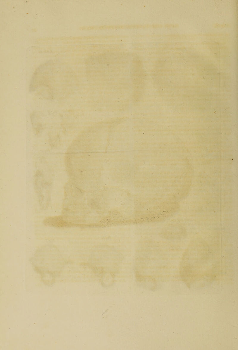 * '  l ■- • 1 - .... : ■ : 1 / • ,v -V. • . • < . > -