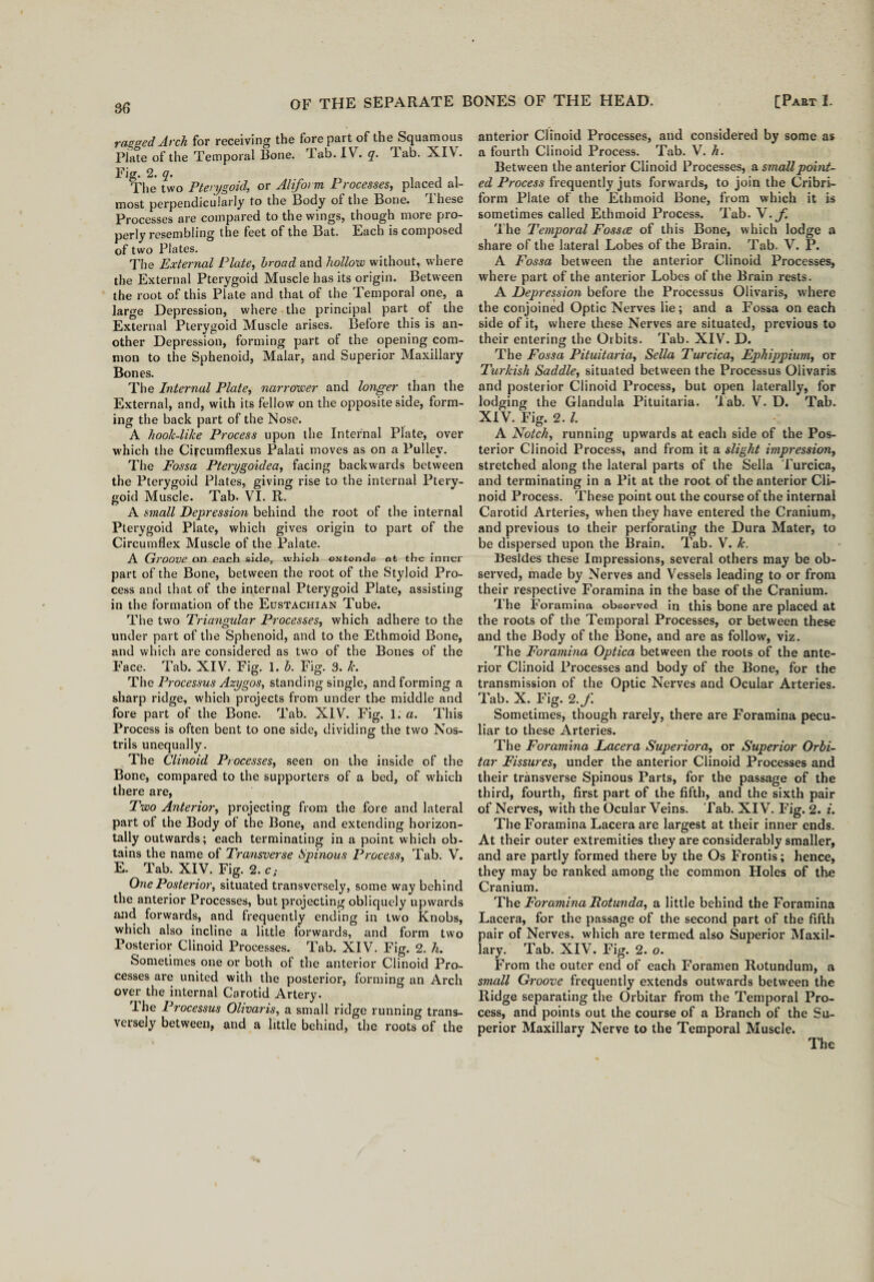 ragged Arch for receiving the forepart of the Squamous Plate of the Temporal Bone. lab. IV. q. d.ab. XIV. Fig. 2. q. . The two Pterygoid, or Aliform Processes, placed al¬ most perpendicularly to the Body of the Bone. These Processes are compared to the wings, though more pro¬ perly resembling the feet of the Bat. Each is composed of two Plates. The External Plate, broad and hollow without, where the External Pterygoid Muscle has its origin. Between the root of this Plate and that of the Temporal one, a large Depression, where the principal part ot the External Pterygoid Muscle arises. Before this is an¬ other Depression, forming part of the opening com¬ mon to the Sphenoid, Malar, and Superior Maxillary Bones. The Internal Plate, narrower and longer than the External, and, with its fellow on the opposite side, form¬ ing the back part of the Nose. A hook-like Process upon the Internal Plate, over which the Circumfiexus Palati moves as on a Pulley. The Fossa Pterygoidea, facing backwards between the Pterygoid Plates, giving rise to the internal Ptery¬ goid Muscle. Tab. VI. R. A small Depression behind the root of the internal Pterygoid Plate, which gives origin to part of the Circumflex Muscle of the Palate. A Groove on each side7 which extends ot the inner part of the Bone, between the root of the Styloid Pro¬ cess and that of the internal Pterygoid Plate, assisting in the formation of the Eustachian Tube. The two Triangular Processes, which adhere to the under part of the Sphenoid, and to the Ethmoid Bone, and which are considered as two of the Bones of the Face. Tab. XIV. Fig. 1. b. Fig. 3. k. The Processus Azygos, standing single, and forming a sharp ridge, which projects from under the middle and fore part of the Bone. Tab. XIV. Fig. 1. a. This Process is often bent to one side, dividing the two Nos¬ trils unequally. The Clinoid Processes, seen on the inside of the Bone, compared to the supporters of a bed, of which there are, Two Anterior, projecting from the fore and lateral part ot the Body of the Bone, and extending horizon¬ tally outwards; each terminating in a point which ob¬ tains the name of Transverse Spinous Process, Tab. V. E. Tab. XIV. Fig. 2. c; One Posterior, situated transversely, some way behind the anterior Processes, but projecting obliquely upwards and forwards, and frequently ending in two Knobs, which also incline a little forwards, and form two Posterior Clinoid Processes. Tab. XIV. Fig. 2. h. Sometimes one or both of the anterior Clinoid Pro¬ cesses are united with the posterior, forming an Arch over the internal Carotid Artery. rlhe Processus Olivaris, a small ridge running trans¬ versely between, and a little behind, the roots of the anterior Clinoid Processes, and considered by some as a fourth Clinoid Process. Tab. V. h. Between the anterior Clinoid Processes, a small point¬ ed Process frequently juts forwards, to join the Cribri¬ form Plate of the Ethmoid Bone, from which it is sometimes called Ethmoid Process. Tab. \• f. The Temporal Fossae of this Bone, which lodge a share of the lateral Lobes of the Brain. Tab. V. P. A Fossa between the anterior Clinoid Processes, where part of the anterior Lobes of the Brain rests. A Depression before the Processus Olivaris, where the conjoined Optic Nerves lie; and a Fossa on each side of it, where these Nerves are situated, previous to their entering the Orbits. Tab. XIV. D. The Fossa Pituitaria, Sella Turcica, Ephippium, or Turkish Saddle, situated between the Processus Olivaris and posterior Clinoid Process, but open laterally, for lodging the Glandula Pituitaria. 'lab. V. D. Tab. XIV. Fig. 2. I A Notch, running upwards at each side of the Pos¬ terior Clinoid Process, and from it a slight impression, stretched along the lateral parts of the Sella Turcica, and terminating in a Pit at the root of the anterior Cli¬ noid Process. These point out the course of the internal Carotid Arteries, when they have entered the Cranium, and previous to their perforating the Dura Mater, to be dispersed upon the Brain. Tab. V. k. Besides these Impressions, several others may be ob¬ served, made by Nerves and Vessels leading to or from their respective Foramina in the base of the Cranium. The Foramina observed in this bone are placed at the roots of the Temporal Processes, or between these and the Body of the Bone, and are as follow, viz. The Foramina Optica between the roots of the ante¬ rior Clinoid Processes and body of the Bone, for the transmission of the Optic Nerves and Ocular Arteries. Tab. X. Fig. 2./ Sometimes, though rarely, there are Foramina pecu¬ liar to these Arteries. The Foramina Lacera Superiora, or Superior Orbi- tar Fissures, under the anterior Clinoid Processes and their transverse Spinous Parts, for the passage of the third, fourth, first part of the fifth, and the sixth pair of Nerves, with the Ocular Veins. Tab. XIV. Fig. 2. i. The Foramina Lacera are largest at their inner ends. At their outer extremities they are considerably smaller, and are partly formed there by the Os Frontis; hence, they may be ranked among the common Holes of the Cranium. The Foramina Eotunda, a little behind the Foramina Lacera, for the passage of the second part of the fifth pair of Nerves, which are termed also Superior Maxil¬ lary. Tab. XIV. Fig. 2. o. From the outer end of each Foramen Rotundum, a small Groove frequently extends outwards between the Ridge separating the Orbitar from the Temporal Pro¬ cess, and points out the course of a Branch of the Su¬ perior Maxillary Nerve to the Temporal Muscle.