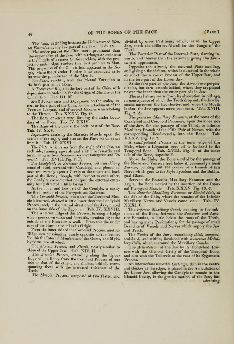 The Chin, extending between the Holes termed Men¬ tal Foramina at the fore part of the Jaw. Tab. IV. The under part of the Chin more prominent than the upper edge of the Jaw, with a triangular eminence in the middle of its outer Surface, which, with the pro¬ jecting under edge, renders this part peculiar to Man. This projection of the Chin is less apparent in the Ne¬ gro, where the Alveolar Border is so expanded as to increase the prominence of the Mouth. The Sides, reaching from the Mental Foramina to the back part of the Bone. A Transverse Ridge on the fore part of the Chin, with depressions on each side, for the Origin of Muscles of the Under Lip. Tab. III. M. Small Prominences and Depressions on the under, in¬ ner, or back part of the Chin, for the attachment of the Fraenum Linguae, and of several Muscles which belong to the Throat. Tab. XXXV. Fig. 13. The Base, or lowest part, forming the under boun¬ dary of the Face. Tab. IV. XXIV. The Angle of the Jaw at the back part of the Base. Tab. IV. XXV. Impressions made by the Masseter Muscle upon the outside of the angle, and also on the Plate which arises from it. Tab. IV. XXVI. The Plate, which rises from the angle of the Jaw, on each side, l’unning upwards and a little backwards, and terminating in two Processes, termed Condyloid and Co- ronoid. Tab. XVIII. Fig. 2. F. The Condyloid, or Articular Process, with an oblong rounded head, covered with Cartilage, and placed al¬ most transversely upon a Cervix at the upper and back part of the Bone ; though, with respect to each other, the Condyles are somewhat oblique, the external extre¬ mity being directed a little forward. At the under and fore part of the Condyle, a cavity for the insertion of the Pterygoideus Externus. The Coronoid Process, into which the Temporal Mus¬ cle is inserted, situated a little lower than the Condyloid Process, and, in the natural situation of the Jaw, placed on the inner side of the Zygoma. Tab. IV. XXVIII. The Anterior Edge of this Process, forming a Ridge which goes downwards and forwards, terminating at the outside of the Posterior Alveoli. From this the under edge of the Buccinator takes its Origin. From the inner side of the Coronoid Process, another Ridge seen terminating nearly opposite to the former. To this the Internal Membrane of the Gums, and Mylo- hyoideus, are attached. The Alveolar Process, and Alveoli, nearly similar to those of the Upper Jaw. Tab. XIV. II. The Alveolar Process, extending along the Upper Edge of the Bone, from the Coronoid Process of one side to that of the other; and thickest behind, corre¬ sponding there with the increased thickness of the Teeth. The Alveolar Process, composed of two Plates, and divided by cross Partitions, which, as in the Upper Jaw, mark the different Alveoli for the Fangs of the Teeth. The Posterior Part of the Internal Plate, slanting in¬ wards, and thinner than the external, giving the Jaw a twisted appearance. Opposite the Alveoli, the external Plate swelling, and giving a fluted form, which is observed in the whole extent of the Alveolar Process of the Upper Jaw, and in the fore part of the Lower Jaw. At the fore part of the Jaw, the Alveoli are perpen¬ dicular, but turn inwards behind, where they are placed nearer the inner than the outer part of the Jaw. The Sockets are worn down by absorption in old age, in consequence of which the Teeth drop out, the Jaw be¬ comes narrower, the face shorter, and, when the Mouth is shut, the Jaw appears more prominent. Tab. XVIII. Fig. 7. A. The posterior Maxillary Foramen, at the roots of the Condyloid and Coronoid Processes, upon the inner side of the Jaw, for the passage of the Third, or inferior Maxillary Branch of the Fifth Pair of Nerves, with the corresponding Blood-vessels, into the Bone. Tab. XXXV. Fig. 13. 7. A small-pointed Process at the inner edge of this Hole, where a Ligament goes off to be fixed to the Temporal Bone. Tab. XVIII. Fig. 2. at the inner side of the Bone, opposite E. Above the Hole, the Bone marked by the passage of the Nerve and Vessels ; and below it, commonly a small Furrow, pointing out the course of a Branch of this Nerve which goes to the Mylo-hyoideus and the Sublin¬ gual Gland. Between the Posterior Maxillary Foramen and the Angle, the Bone marked by the insertion of the Inter¬ nal Pterygoid Muscle. Tab. XXXV Fig. 13. 6. The Anterior Maxillary Foramen, or Mental Hole, at the side of the Chin, where the remains of the Inferior Maxillary Nerve and Vessels come out. Tab. IV. XXXI. c. The Inferior Maxillary Canal, running in the sub¬ stance of the Bone, between the Posterior and Ante¬ rior Foramina, a little below the roots of the Teeth, and having many Perforations, for the passage of small Branches of Vessels and Nerves which supply the Jaw and Teeth. The Tables of the Jaw, remarkably thick, compact, and hard, and within, furnished with numerous Medul¬ lary Cells, which surround the Maxillary Canals. The Articulation of the Jaw by its Condyloid Pro¬ cess with the Glenoid Cavity of the Temporal Bone, and also with the Tubercle at the root of its Zygomatic Process. An intermediate moveable Cartilage, thin in the centre and thicker at the edges, is placed in the Articulation of the Lower Jaw, allowing the Condyle to remain in the Glenoid Cavity, in the gentler motion of the Jaw, but admitting