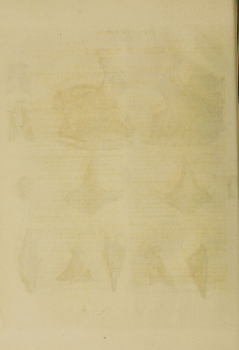 * - . - ••' ! . : ' ; ■ •; - ■ ■ a ■■ . . . - - . - : •: ‘ . ' * { . * • ■ « . . r. ■ ■ ■ ’ ‘ . M . . . ■ ■ . ' ■ - <• - r %