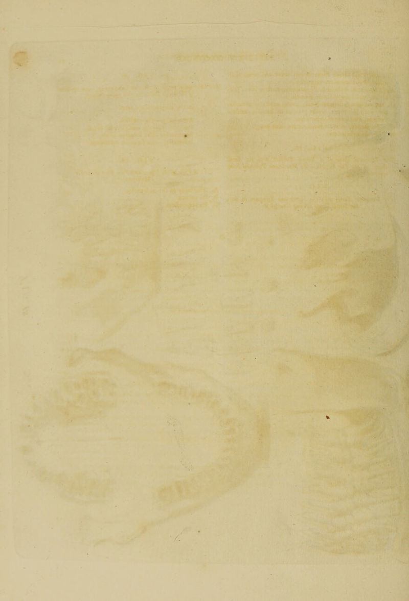  - •. . ' ■ - ■ \ •• ‘ • -i : 11 . * - , ■ •* \:- »*■ * ' I Jr ' - l v . ■ ‘4 J ■ ■ . jflfi •. jmum • I ' ■' J ■ |j -* - ■ ■' • * ■ , ■ v. - ■ . . ■ ■ :1