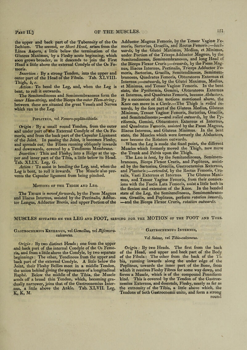 the upper and back part of the Tuberosity of the Os Ischium. The second, or Short Head, arises from the Linea Aspera, a little below the termination of the Gluteus Maximus, by a Fleshy acute beginning, which soon grows broader, as it descends to join the First Head a little above the external Condyle of the Os Fe¬ moris. Insertion: By a strong Tendon, into the upper and outer part of the Head of the Fibula. Tab. XLVIII. Thigh, b, c. Action: To bend the Leg, and, when the Leg is bent, to roll it outwards. The Semitendinosus and Semimembranosus form the inner Ham-string, and the Biceps the outer Ham-string; between these are situated the great Vessels and Nerves which run to the Leg. Popliteus, vel Femoro-poplUo-tibialis. Origin : By a small round Tendon, from the outer arid under part of the External Condyle of the Os Fe- moris, and from the back part of the Capsular Ligament of the Joint. In passing the Joint, it becomes Fleshy, and spreads out, the Fibres running obliquely inwards and downwards, covered by a Tendinous Membrane. Insertion : Thin and Fleshy, into a Ridge at the up¬ per and inner part of the Tibia, a little below its Head. Tab. XLIX. Leg, G. Action : To assist in bending the Leg, and, when the Leg is bent, to roll it inwards. The Muscle also pre¬ vents the Capsular ligament from being pinched. Motions of the Thigh and Leg. The Thigh is movedforwards, by the Psoas Magnus and Iliacus Internus, assisted by the Pectinalis, Adduc¬ tor Longus, Adductor Brevis, and upper Portion of the Adductor Magnus Femoris, by the Tensor Vaginas Fe- moris, Sartorius, Gracilis, and Rectus Femorisback¬ wards, by the Glutei Maximus, Medius, et Minimus, under Portion of the Triceps Adductor Magnus, by the Semitendinosus, Semimembranosus, and long Head of the Biceps Flexor Cruris;—inwards, by the Psoas Mag¬ nus, Iliacus Internus, Pectinalis, Triceps Adductor Fe¬ moris, Sartorius, Gracilis, Semitendinosus, Semimem¬ branosus, Quadratus Femoris, Obturatores Externus et Internus ;—outwards, by the Glutei Maximus, Medius, et Minimus, and Tensor Vaginae Femoris. In the bent state, the Pyriformis, Gemini, Obturatores Externus et Internus, and Quadratus Femoris, become Abductors. ?y a succession of the motions mentioned above, the Knee can move in a Circle.—The Thigh is rolled to¬ wards, by the fore part of the Gluteus Medius, Gluteus Minimus, Tensor Vaginae Femoris, Sartorius, Gracilis, and Semitendinosus ;—and rolled outwards, by the Py¬ riformis, Gemini, Obturatores Externus et Internus, and Quadratus Femoris, assisted by the Psoas Magnus, Iliacus Internus, and Gluteus Minimus. In the bent state, the Muscles which were formerly the Abductors, now become the Rotators outwards. When the Leg is made the fixed point, the different Muscles which formerly moved the Thigh, now move the Trunk and Pelvis upon the Thigh. The Leg is bent, by the Semitendinosus, Semimem¬ branosus, Biceps Flexor Cruris, and Popliteus, assist¬ ed by the Sartorius, Gracilis, Gastrocnemius Externus, and Plantaris;—extended, by the Rectus Femoris, Cru- ralis, Vasti Externus et Internus. The Gluteus Maxi¬ mus, and Tensor Vaginae Femoris, from their connex¬ ions with the Fascia Lata Femoris, assist a little both in the flexion and extension of the Knee. In the bended state of the Leg, the Semitendinosus, Semimembrano¬ sus, Gracilis, and Popliteus, perform rotation inwards, —and the Biceps Flexor Cruris, rotation outwards. MUSCLES situated on the LEG and FOOT, serving for the MOTION of the FOOT and Toes. Gastrocnemius Externus, vel Gemellus, \e\Bifomoro- calcaneus. Origin : By two distinct Heads ; one from the upper and back part of the internal Condyle of the Os Femo¬ ris, and from a little above the Condyle, by two separate beginnings : The other, Tendinous from the upper and back part of the external Condyle. A little below the Joint, their Fleshy Bellies meet in a middle Tendon, the union behind giving the appearance of a longitudinal Raphe. Below the middle of the Tibia, the Muscle sends off a broad thin Tendon, which, becoming gra¬ dually narrower, joins that of the Gastrocnemius Inter¬ nus, a little above the Ankle. Tab. XLVII. Leg, K, K, M. Gastrocnemius Internus, Vel Soleus, vel Tibio-calcaneus. Origin : By two Heads. The first from the back of the Head, and upper and back part of the Body of the Fibula: The other from the back of the Ti¬ bia, running inwards along the under edge of the Popliteus, towards the inner part of the Bone, from which it receives Fleshy Fibres for some way down, and forms a Muscle, which is of the compound Penniform kind. This is covered by the Tendon of the Gastroc¬ nemius Externus, and descends, Fleshy, nearly as far as the extremity of the Tibia, a little above which, the Tendons of both Gastrocnemii unite, and form a strong round