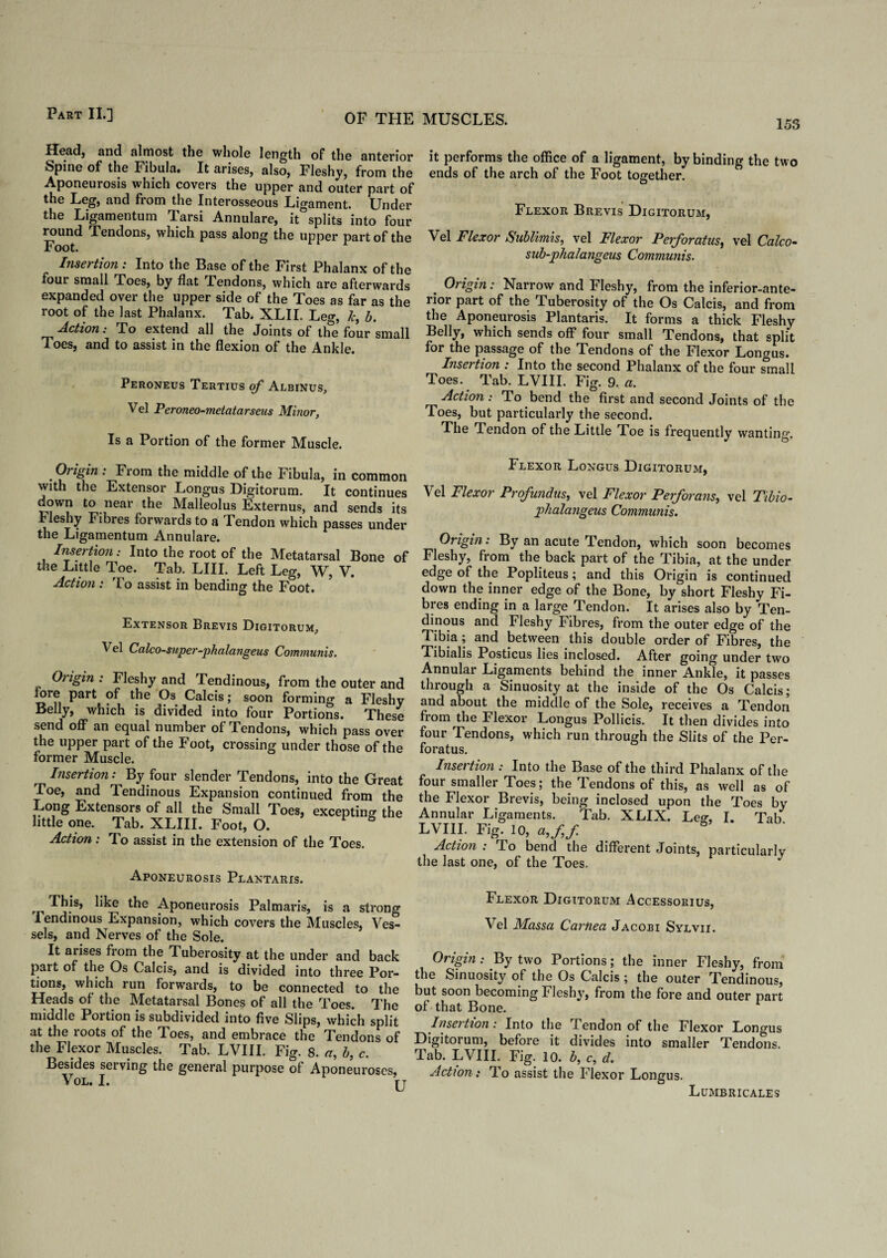 153 Head, and almost the whole length of the anterior Spine of the Fibula. It arises, also, Fleshy, from the Aponeurosis which covers the upper and outer part of the Leg, and from the Interosseous Ligament. Under the Ligamentum Tarsi Annulare, it splits into four round Tendons, which pass along the upper part of the Foot. Insertion: Into the Base of the First Phalanx of the four small Toes, by flat Tendons, which are afterwards expanded over the upper side of the Toes as far as the root of the last Phalanx. Tab. XLII. Leg, 7c, b. Action: To extend all the Joints of the four small Toes, and to assist in the flexion of the Ankle. Peroneus Tertius of Albinus, Vel Peroneo-metatarseus Minor, Is a Portion of the former Muscle. it performs the office of a ligament, by binding the two ends of the arch of the Foot together. Flexor Brevis Digitorum, Vel Flexor Sublimis, vel Flexor Perforatus, vel Calco- sub-phalangeus Communis. . Origin: Narrow and Fleshy, from the inferior-ante¬ rior part of the Tuberosity of the Os Calcis, and from the Aponeurosis Plantaris. It forms a thick Fleshy Belly, which sends off four small Tendons, that split for the passage of the Tendons of the Flexor Longus. Insettion : Into the second Phalanx of the four small Toes. Tab. LVIII. Fig. 9. a. Action: To bend the first and second Joints of the Toes, but particularly the second. The Tendon of the Little Toe is frequently wanting. Origin: From the middle of the Fibula, in common with the Extensor Longus Digitorum. It continues down to near the Malleolus Externus, and sends its eshy Fibres forwards to a Tendon which passes under the Ligamentum Annulare. Insertion: Into the root of the Metatarsal Bone of the Little Toe. Tab. LIII. Left Leg, W, V. Action : To assist in bending the Foot. Extensor Brevis Digitorum, Vel Calco-super-ph a la ngeus Communis. Origin : Fleshy and Tendinous, from the outer and fore part of the Os Calcis; soon forming a Fleshy Belly, which is divided into four Portions. These send off an equal number of Tendons, which pass over the upper part of the Foot, crossing under those of the former Muscle. Insertion: By four slender Tendons, into the Great Toe, and Tendinous Expansion continued from the Tong Extensors of all the Small Toes, excepting the little one. Tab. XLIII. Foot, O. Action: To assist in the extension of the Toes. Aponeurosis Plantaris. rr like the Aponeurosis Palmaris, is a strong Tendinous Expansion, which covers the Muscles, Ves¬ sels, and Nerves of the Sole. It arises from the Tuberosity at the under and back part of the Os Calcis, and is divided into three Por¬ tions, which run forwards, to be connected to the Heads of the Metatarsal Bones of all the Toes. The middle Portion is subdivided into five Slips, which split at the roots of the Toes, and embrace the Tendons of the Flexor Muscles. Tab. LVIII. Fig. 8. a, b, c. Besides serving the general purpose of Aponeuroses, VOL. I. TT Flexor Longus Digitorum, Vel Flexor Profundus, vel Flexor Perforans, vel Tibio- jphalangeus Communis. Origin: By an acute Tendon, which soon becomes Fleshy, from the back part of the Tibia, at the under edge of the Popliteus; and this Origin is continued down the inner edge of the Bone, by short Fleshy Fi¬ bres ending in a large Tendon. It arises also by Ten¬ dinous and Fleshy Fibres, from the outer edge of the Tibia; and between this double order of Fibres, the Tibialis Posticus lies inclosed. After going under two Annular Ligaments behind the inner Ankle, it passes through a Sinuosity at the inside of the Os Calcis; and about the middle of the Sole, receives a Tendon from the Flexor Longus Pollicis. It then divides into four Tendons, which run through the Slits of the Per¬ foratus. Insertion : Into the Base of the third Phalanx of the four smaller Toes; the Tendons of this, as well as of the Flexor Brevis, being inclosed upon the Toes by Annular Ligaments. Tab. XLIX. Leg1, I. Tab LVIII. Fig. 10, a,ff Action : To bend the different Joints, particularly the last one, of the Toes. J Flexor Digitorum Accessorius, Vel Massa Carnea Jacobi Sylvii. Origin: By two Portions; the inner Fleshy, from the Sinuosity of the Os Calcis ; the outer Tendinous, but soon becoming Flesh}', from the fore and outer part of that Bone. Insertion : Into the rI endon of the Flexor Longus Digitorum, before it divides into smaller Tendons. Tab. LVIII. Fig. 10. b, c, d. Action: To assist the Flexor Longus. Lumbricales