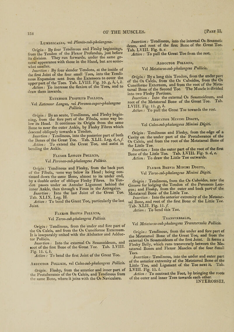 Lumbricales, vel Planto-sub-phalangeus. Origin : By four Tendinous and Fleshy beginnings, from the Tendon of the Flexor Profundus, just before its division. They run forwards, under the same ge¬ neral appearance with those in the Hand, but are some¬ what smaller. Insertion : By four slender Tendons, at the inside of the first Joint of the four small Toes, into the Tendi¬ nous Expansion sent from the Extensors to cover the upper part of the Toes. Tab. LVIII. Fig. 10. g, h, i, 1c. Action: To increase the flexion of the Toes, and to draw them inwards. Extensor Proprius Pollicis, Yel Extensor Longus, vel Peroneo-super-phalangeus Pollicis. Origin : By an acute, Tendinous, and Fleshy begin¬ ning, from the fore part of the Fibula, some way be¬ low0 its Head. It continues its Origin from the same Bone to near the outer Ankle, by Fleshy Fibres which descend obliquely towards a Tendon. Insertion : Tendinous, into the posterior part of both the Bones of the Great Toe. Tab. XLII. Leg, d,e,J\ Action: To extend the Great Toe, and assist in bending the Ankle. Flexor Longus Pollicis, Vel Peroneo-sub-phalangeus Pollicis. Origin: Tendinous and Fleshy, from the back part of the Fibula, t,ome way below its Head; being con¬ tinued down the same Bone, almost to its under end, by a double order of oblique Fleshy Fibres. Its Ten¬ don passes under an Annular Ligament behind the inner Ankle, then through a Fossa in the Astragalus. Insertion : Into the last Joint of the Great Toe. Tab. XLIX. Leg, H. Action : To bend the Great Toe, particularly the last Joint. Flexor Brevis Pollicis, Vel Tarso-sub-phalangeus Pollicis. Origin: Tendinous, from the under and fore part of the Os Calcis, and from the Os Cuneiforme Externum. It is inseparably united with the Abductor and Adduc¬ tor Pollicis. Insertion : Into the external Os Sesamoideum, and *oot of the first Bone of the Great Toe. Tab. LVIII. Fig. 11. i3 lc. Action : To bend the first Joint of the Great Toe. Abductor Pollicis, vel Calco-sub-phalangeus Pollicis. Origin. Fleshy, from the anterior and inner part of the Protuberance of the Os Calcis, and Tendinous from the same Bone, where it joins with the Os Naviculare. Insertion: Tendinous, into the internal Os Sesamoi¬ deum, and root of the first Bone of the Great Toe. Tab. LVIII. Fig. 9. c. Action : To pull the Great Toe from the rest. Adductor Pollicis, Vel Metatarso-sub-phalangeus Pollicis. Origin : By a long thin Tendon, from the under part of the Os Calcis, from the Os Cuboides, from the Os Cuneiforme Externum, and from the root of the Meta¬ tarsal Bone of the Second Toe. The Muscle is divided into two Fleshy Portions. Insertion: Into the external Os Sesamoideum, and root of the Metatarsal Bone of the Great Toe. Tab. LVIII. Fig. 11. g, h. Action: To pull the Great Toe towards the rest. Abductor Minimi Digiti, Vel Calco-sub-phalangeus Minimi Digiti. Origin: Tendinous and Fleshy, from the edge of a Cavity on the under part of the Protuberance of the Os Calcis, and from the root of the Metatarsal Bone of the Little Toe. Insertion : Into the outer part of the root of the first Bone of the Little Toe. Tab. LVIII. Fig. 9. d, e. Action: To draw the Little Toe outwards. Flexor Brevis Minimi Digiti, Vel Tarso-sub-phalangeus Minimi Digiti. Origin : Tendinous, from the Os Cuboides, near the Groove for lodging the Tendon of the Peroneus Lon¬ gus ; and Fleshy, from the outer and back part of the Metatarsal Bone of the Little rl oe. Insertion : Into the anterior extremity of the Metatar¬ sal Bone, .and root of the first Bone of the Little Toe. Tab. XLII. Fig. 11./ Action : To bend this Toe. Transversalis, Vel Metatarso-sub-phalangeus Transversalis Pollicis. Origin: Tendinous, from the under and fore part of the Metatarsal Bone of the Great Toe, and from the external Os Sesamoideum of the first Joint. It forms a Fleshy Belly, which runs transversely between the Me¬ tatarsal Bones and Flexor Muscles of the four Small Toes. Insertion: Tendinous, into the under and outer part of the anterior extremity of the Metatarsal Bone of the Little Toe, and Ligament of the Toe next it. Tab. LVIII. Fig. 11.1. Action : To contract the Foot, by bringing the roots of the outer and inner Toes towards each other. INTEROSSEI,