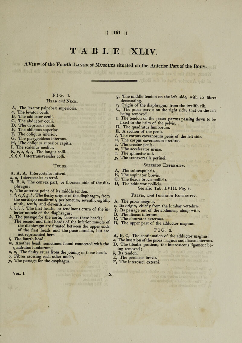 TABLE XLIV. A View of the Fourth La yeh of Muscles situated on the Anterior Part of the Body. FIG. 1. Head and Neck. A, The levator palpebrae superioris. a, The levator oculi. B, The adductor oculi. C, The abductor oculi. D, The depressor oculi. E, The obliquus superior. F, The obliquus inferior. G, The pterygoideus internus. H, The obliquus superior capitis. I, The scalenus medius. K, b, c, d, ey The longus colli. fffi Intertransversales colli. Trunk, A, A, A, Intercostales interni. <2, a, Intercostales externi. B, B, b, The convex part, or thoracic side of the dia¬ phragm ; by The anterior point of its middle tendon. cf d* et f gt hy The fleshy origins of the diaphragm, from the cartilago ensiformis, peritoneum, seventh, eighth, ninth, tenth, and eleventh ribs. h h h h The first heads, or tendinous crura of the in¬ ferior muscle of the diaphragm ; ky The passage for the aorta, between these heads; The second and third heads of the inferior muscle of the diaphragm are situated between the upper ends of the first heads and the psoae muscles, but are not represented here. ly The fourth head; m, Another head, sometimes found connected with the quadratus lumborum; ny nt The fleshy crura from the joining of these heads. Oj Fibres crossing each other under, pt The passage for the esophagus. qi The middle tendon on the left side, with its fibres decussating. r, Origin of the diaphragm, from the twelfth rib. C, The psoas parvus on the right side, that on the left being removed. Sf The tendon of the psoas parvus passing down to be fixed to the brim of the pelvis. D, The quadratus lumborum. E, A section of the penis. tf The corpus cavernosum penis of the left side. «, The corpus cavernosum urethrae. •a. The erector penis. ®>, The accelerator urinae. Xy The sphincter ani. t/y The transversalis perinei. Superior Extremity. A, The subscapularis. B, The supinator brevis. C, The flexor brevis pollicis. D, The adductor pollicis. See also Tab. LVIII. Fig. 4. Pelvis, and Inferior Extremity. A, The psoas magnus. zf Its origin, chiefly from the lumbar vertebrae. Sft Its passage out of the abdomen, along with, B, The iliacus internus. C, The obturator externus. D, The upper part of the adductor magnus. FIG. 2. A, B, C, The continuation of the adductor magnus. a. The insertion of the psoas magnus and iliacus internus. D, The tibialis posticus, the interosseous ligament be¬ ing removed; by Its tendon. E, The peroneus brevis. F, The interossei externi. Vol. I. X