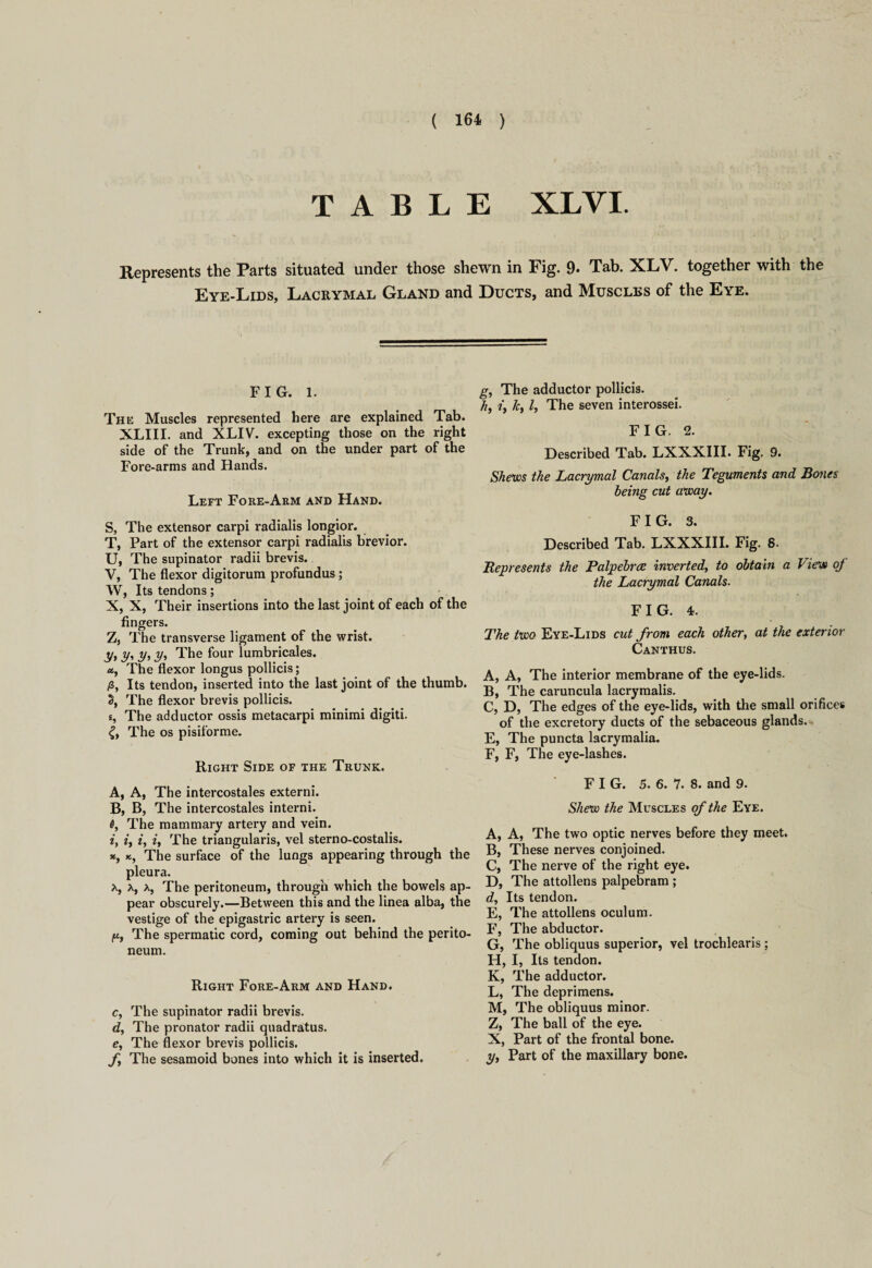 TABLE XLVI. Represents the Parts situated under those shewn in Fig. 9* Tab. XLV. together with the Eye-Lids, Lacrymal Gland and Ducts, and Muscles of the Eye. FIG. 1. The Muscles represented here are explained Tab. XLIII. and XLIV. excepting those on the right side of the Trunk, and on the under part of the Fore-arms and Hands. Left Fore-Arm and Hand. 5, The extensor carpi radialis longior. T, Part of the extensor carpi radialis brevior. U, The supinator radii brevis. V, The flexor digitorum profundus; W, Its tendons; X, X, Their insertions into the last joint of each of the fingers. Z, The transverse ligament of the wrist. y, y, y, y, The four lumbricales. The flexor longus pollicis; /3, Its tendon, inserted into the last joint of the thumb. The flexor brevis pollicis. s, The adductor ossis metacarpi minimi digiti. The os pisiforme. Right Side of the Trunk. A, A, The intercostales externi. B, B, The intercostales interni. 6, The mammary artery and vein. i, i, i, z, The triangularis, vel sterno-costalis. *, The surface of the lungs appearing through the pleura. x, x, x, The peritoneum, through which the bowels ap¬ pear obscurely.—Between this and the linea alba, the vestige of the epigastric artery is seen. /tt, The spermatic cord, coming out behind the perito¬ neum. Right Fore-Arm and Hand. c, The supinator radii brevis. d, The pronator radii quadratus. e, The flexor brevis pollicis. f, The sesamoid bones into which it is inserted. g, The adductor pollicis. //, ky l, The seven interossei. FIG. 2. Described Tab. LXXXIII. Fig. 9. Shews the Lacrymal Canals, the Teguments and Bones being cut away. FIG. 3. Described Tab. LXXXIII. Fig. 8. Represents the Palpebrce inverted, to obtain a View of the Lacrymal Canals. FIG. 4. The two Eye-Lids cut from each other, at the exterior Canthus. A, A, The interior membrane of the eye-lids. B, The caruncula lacrymalis. C, D, The edges of the eye-lids, with the small orifices of the excretory ducts of the sebaceous glands.^, E, The puncta lacrymalia. F, F, The eye-lashes. FIG. 5. 6. 7. 8. and 9. Shew the Muscles of the Eye. A, A, The two optic nerves before they meet. B, These nerves conjoined. C, The nerve of the right eye. D, The attollens palpebram ; d, Its tendon. E, The attollens oculum. F, The abductor. G, The obliquus superior, vel trochlearis ; H, I, Its tendon. K, The adductor. L, The deprimens. M, The obliquus minor. Z, The ball of the eye. X, Part of the frontal bone. y, Part of the maxillary bone.
