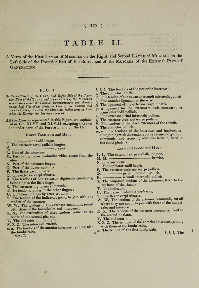 TABLE LI. A View of the First Layer of Muscles on the Right, and Second Layer of Muscles on the Left Side of the Posterior Part of the Body, and of the Muscles of the External Parts of Generation. FIG. l. On the Left Side of the Head, and Right Side of the Poste¬ rior Part of the Trunk and Extremities, the Muscles immediately tinder the Common Integuments are shewn ; on the Left Side of the Posterior Part of the Trunk and Extremities, are seen the Muscles which come in Hew when the Exterior Set has been removed. All the Muscles represented in this Figure are explain¬ ed in Tab. XLVII. and XLVIII. excepting those on the under parts of the Fore-arm, and on the Hand. Right Fore-arm and Hand. H, The supinator radii longus. I, The extensor carpi radialis longior. K, -brevior. L, Part of the anconeus. M, Part of the flexor profundus which comes from the ulna. N, Part of the palmaris longus. O, Part of the flexor sublimis. P, The flexor carpi ulnaris. Q, The extensor carpi ulnaris. R, The tendons of the extensor digitorum communis, belonging to the little finger. S, The extensor digitorum communis ; T, Its tendons, going to the other fingers; U, U, Their joinings by cross tendons. V, The tendon of the indicator, going to join wuh the tendon of the extensor. . . W, W, The tendons of the extensor communis, joined with those of the lumbricales and interossei; X, X, The extremities of these tendons, joined to the bones of the second phalanx. Y, The abductor minimi digiti. Z, Z, Z, The interossei externi. a, a, The tendons of the anterior interossei, joining with the lumbricales. VoL. I. b, b, b, The tendons of the posterior interossei. c, The abductor indicis. d, The tendon of the extensor secundi internodii pollicis. e, The annular ligament of the wrist. ft The ligament of the extensor carpi ulnaris. gt A ligament for the extensores ossis metacarpi, et primi internodii pollicis. ht The extensor primi internodii pollicis. it The extensor ossis metacarpi pollicis. kt The tendons of the three extensors of the thumb. 1, The adductor pollicis. w, m, The tendons of the interossei and lumbricales, after joining with the tendons of the extensor digitorum communis, and receiving additions from it, fixed to the third phalanx. Left Fore-arm and Hand. L, L, The extensor carpi radialis longior. M, M,--brevior. N, The anconeus. O, The supinator radii brevis. P, The extensor ossis metacarpi pollicis. Q, -primi internodii pollicis. R}_secundi internodii pollicis. S, The conjoined tendons of the extensors, fixed to the last bone of the thumb. T, The indicator. U, The flexor profundus perforans. V, The flexor carpi ulnaris. W, W, The tendons of the extensor communis, cutoff where they are about to join with those of the lumbri¬ cales and interossei. X, X, The tendons of the extensor communis, fixed to the second phalanx. Y, The abductor minimi digiti. Z, Z, Z, The tendons of the anterior interossei, joining with those of the lumbricales. a. The tendon of the first lumbricalis. 4 t by b, by The