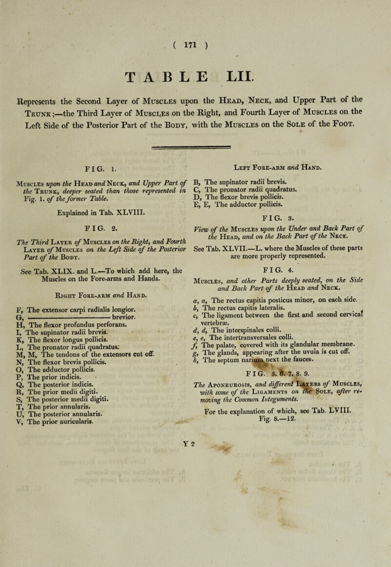 TABLE LII. Represents the Second Layer of Muscles upon the Head, Neck, and Upper Part of the Trunk;—the Third Layer of Muscles on the Right, and Fourth Layer of Muscles on the Left Side of the Posterior Part of the Body, with the Muscles on the Sole of the Foot. FiG. i. Left Fore-arm and Hand. Muscles upon the Head and Neck, and Upper Part of the Trunk, deeper seated than those represented in Fig. 1. of the former Table. Explained in Tab. XLVIII. FIG. 2. The Third Layer of Muscles on the Rights and Fourth Layer of Muscles on the Left Side of the Posterior Part of the Body. See Tab. XLIX. and L.—To which add here, the Muscles on the Fore-arms and Hands. Right Fore-arm and Hand. F, The extensor carpi radialis longior. G, -brevior. H, The flexor profundus perforans. I, The supinator radii brevis. K, The flexor longus pollicis. L, The pronator radii quadratus; M, M, The tendons of the extensors cut off*. N, The flexor brevis pollicis. O, The adductor pollicis. P, The prior indicis. Q, The posterior indicis. R, The prior medii digiti. S, The posterior medii digiti. T, The prior annularis. U, The posterior annularis. V, The prior auricularis. B, The supinator radii brevis. C, The pronator radii quadratus. D, The flexor brevis pollicis. E, E, The adductor pollicis. FIG. 3. View of the Muscles upon the Under and Back Part of the Head, and on the Back Part of the Neck. See Tab. XLVII.—L. where the Muscles of these parts are more properly represented. FIG. 4. Muscles, and other Parts deeply seated, on the Side and Back Part of the Head and Neck. a, at The rectus capitis posticus minor, on each side. b, The rectus capitis lateralis. c, The ligament between the first and second cervical vertebrae. d, d, The interspinales colli. e, e, The intertransversales colli. f The palate, covered with its glandular membrane. g, The glands, appearing after the uvula is cut off. hf The septum narium next the fauces. F I G. 5. 6*. 7. 8. 9. The Aponeurosis, and different Layers of Muscles, with some of the Ligaments on tfie Sole, after re¬ moving the Common Integuments. For the explanation of which, see Tab. LVIII. Fig. 8.—12. Y 2