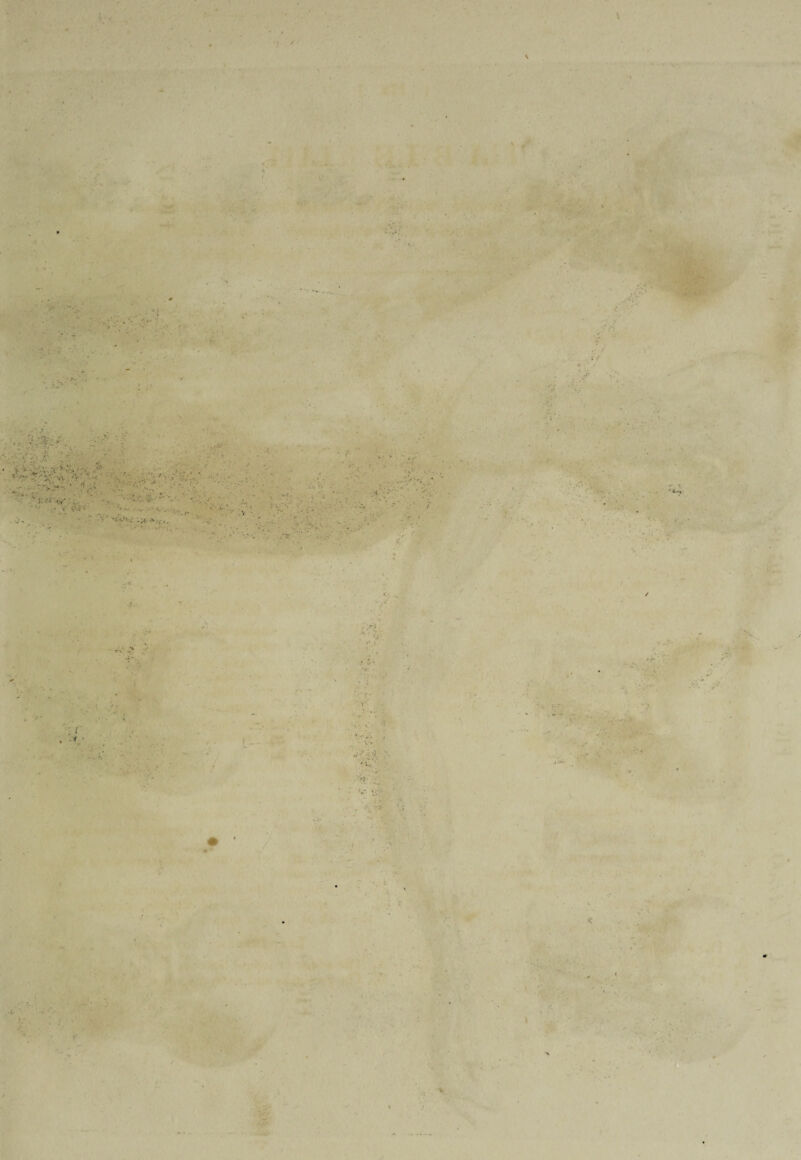 . ■ . •. . ■ - ’I ... ... i’V ; v: • *, 5 . f: 3 . . . *. ■ -.... ■ I ' ' :  'v • '.i> • ■V’^ . - ■ . • -V • J ’ • : ■ «• • ■ ■ • - . ^ . . ■ ‘ . • ..v ‘ i .. ' -■  ' , V > s •1 * •- V • ■ '7r\\ V * I Y '' ,-v-- . : / ' .. -■ V r - ' *1 - •: - ' ' • >, i ... - .. ■ V' • * . /- ‘. - ' v ,'V - . ' ‘ V v v;-- / .i. 4 */