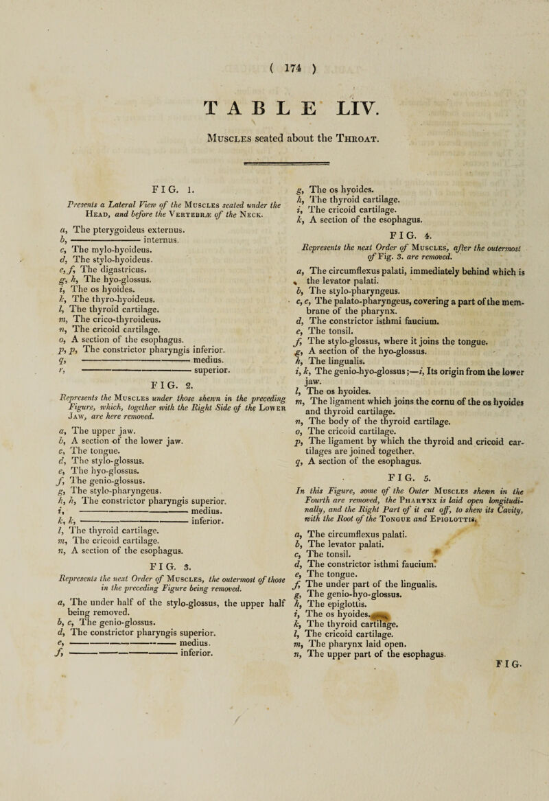 ) TABLE LIY. Muscles seated about the Throat. FIG. l. Presents a Lateral View of the Muscles seated under the Head, and before the Vertebrae of the Neck. a, The pterygoideus externus. b, -interims. c, The mylo-hyoideus. d, The stylo-hyoideus. e, f, The digastricus. g, h, The hyo-glossus. i, The os hyoides. k, The thyro-hyoideus. /, The thyroid cartilage. ni, The crico-thyroideus. 91, The cricoid cartilage. o, A section of the esophagus. p, p, The constrictor pharyngis inferior. q, -medius. r, -superior. FIG. 2. Represents the Muscles under those shewn in the preceding Figure, which, together with the Right Side of the Lower Jaw, are here removed. a, The upper jaw. b, A section of the lower jaw, c, The tongue. d, The stylo-glossus. e, The hyo-glossus. f, The genio-glossus. g, The stylo-pharyngeus. h, h, The constrictor pharyngis superior. i, -medius. k, k,--— inferior. l, The thyroid cartilage. m, The cricoid cartilage. n, A section of the esophagus. FIG. 3. Represents the next Order of Muscles, the outermost of those in the preceding Figure being removed. a, The under half of the stylo-glossus, the upper half being removed. b, c, The genio-glossus. d, The constrictor pharyngis superior. e, -medius. f,-inferior. g. The os hyoides. h. The thyroid cartilage. i. The cricoid cartilage. k, A section of the esophagus. FIG. 4. Represents the next Order of Muscles, after the outermost of Fig. 3. are removed. a, The circumflexus palati, immediately behind which is * the levator palati. b, The stylo-pharyngeus. c, c, The palato-pharyngeus, covering a part of the mem¬ brane of the pharynx. d, The constrictor isthmi faucium. e, The tonsil. f, The stylo-glossus, where it joins the tongue. g, A section of the hyo-glossus. h, The lingualis. i, k, The genio-hyo-glossus;—i. Its origin from the lower jaw. l, The os hyoides. m, The ligament which joins the cornu of the os hyoides and thyroid cartilage. n, The body of the thyroid cartilage. o, The cricoid cartilage. p, The ligament by which the thyroid and cricoid car¬ tilages are joined together. q, A section of the esophagus. FIG. 5. In this Figure, some of the Outer Muscles shewn in the Fourth are removed, the Pharynx is laid open longitudi¬ nally, and the Right Part of it cut off, to shew its Cavity, with the Root of the Tongue and Epiglottis. a, The circumflexus palati. b, The levator palati. c, The tonsil. d, The constrictor isthmi faucium' e, The tongue. f, The under part of the lingualis. g, The genio-hyo-glossus. h, The epiglottis. i, The os hyoides. gugfe k, The thyroid cartilage. l, The cricoid cartilage. 77i, The pharynx laid open. n. The upper part of the esophagus. FIG.