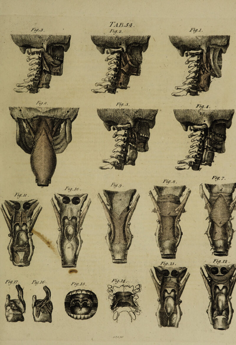 J’ABJl. R\M«| y^5C& 'jij i S  Xv-3^ t * i -‘r%'■ .jj ' j$19 \M ;:m ■Sim ■ A?jS <0?M 'MBZSr. ‘•t-rl. ,£•**'• y$£3 \ :l^y£wt m SSS9^ :yy'<i& Wt PI iiniM \ jmw J;vw 1, < 1 M v 'k IrkW # , 1 »K*W IF $ 1 Hgbv & V$-WB w ^K-f ,*mt . sji \tml ' aBs |ff! if.MCfi y 0Sm! W>mf wm »;j*| i 'Vw pT ' s ‘ r<t/Sk o.WfM &/ ■if :'i ;a^L / 4] Ip® I H/mif ftML vM / JJB mm m 'tjj im ■ ot-mM a tfwpl ^1%;. <• im ! If • Wwr-W i M If J? \- • V Hraf^ j$l 9k' Mmgj <
