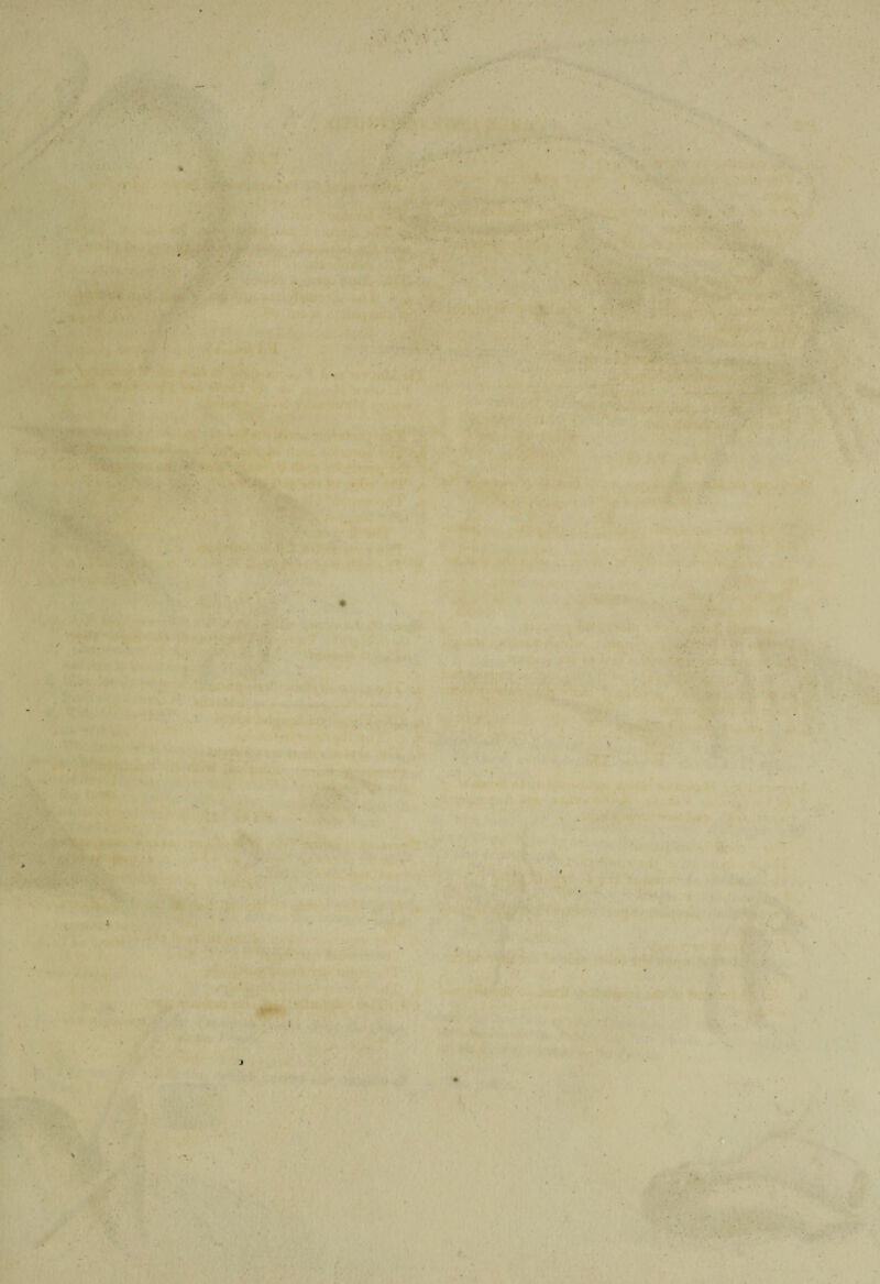 . '5 ._ ■> • l C • tf — ' ' • '■ * * ' • % ■ *<* . ' * •. • ■' . . - :■ * .> i N - * ■ V- . - : . • ■* . • ‘ ' f ■ '■ '•* - ^ ‘ . ? > > / * *• ■ r sr. ' V •• • ;