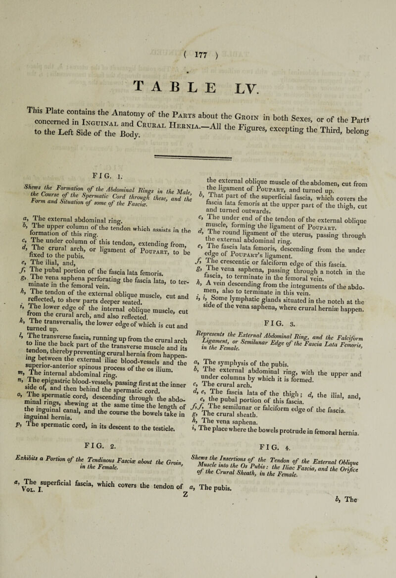 table lv. ™'n«™d“tLti”Tc,0f ,b°“ G“™ ” M « «f *1.. P»» to lb. Loft Side of the Bodjo H“»o-A» Ho Figure,, ourepUng tire Tbird, belong FIG. i. Shews the Formation of the Abdominal Rings in the Male the Course of the Spermatic Cord through these, and the Form and Situation of some of the Fascice. 3 a» The external abdominal ring. ’ fo™ar„eofirrni„°gfthe tendon which ■»“*■ - c. The under column of this tendon, extending from, ’fixed to ^e pubis.’ °r l,S!Unent °f P0BPAET’ be ey The ilial, and, f. The pubal portion of the fascia lata femoris. * f3n!fIT„a.fPfena Pfrfo.ratil)g ‘he fascia lata, to ter- minate m the femoral vein. //, The tendon of the external oblique muscle, cut and reflected, to shew parts deeper seated. f, he lower edge of the internal oblique muscle, cut from the crural arch, and also reflected. ’turneirup!VerS ’ ,he lower edSe of w'>ich is cut and l' Pr trTTse,fascia’ running up from the crural arch o hue the back part of the transverse muscle and Us tendon, thereby preventing crural hernia from happen¬ ing between the external iliac blood-vessels andPthe super,or-anter,or spinous process of the os ilium w, The internal abdominal ring. ?.he «P'S»stric blood-vessels,0passing first at the inner Side of, and then behind the spermatic cord. °’ m !°1SPer'nat'? eo.rd’ descending through the abdo- minal rings shewing at the same time the length of inguinal hemTa? ’ the bowds take in The spermatic cord, in its descent to the testicle. the external oblique muscle of the abdomen, cut from the ligament of Poupart, and turned up. 0, That part of the superficial fascia, which covers the fascia lata femoris at the upper part of the thigh, cut and turned outwards. c, The under end of the tendon of the external oblique muscle, forming the ligament of Poupart. ’ Ihe round ligament of the uterus, passing through the external abdominal ring. e* f““a lata femoris, descending from the under edge of Poupart’s ligament. The crescentic or falciform edge of this fascia. ^,1 he vena saphena, passing through a notch in the tascia, to terminate in the femoral vein. 9 A vein descending from the integuments of the abdo- men, also to terminate in this vein. h ?, Some lymphatic glands situated in the notch at the side ot the vena saphena, where crural hernise happen. FIG. 3. Represents the External Abdominal Ring, and the Falciform a, The symphysis of the pubis. ’ The external abdominal ring, with the upper and mider columns by which it is formed. PP c, 1 he crural arch. d'€; f?sfia lafa°fthe thigh; d, the ilial, and, 5 “If Pubal Portion of this fascia. sem/lanar or falciform edge of the fascia. g> The crural sheath. h, The vena saphena. h The place where the bowels protrude in femoral hernia. FIG. 2. FIG. L Exhibits a Portion of the Tendinous Fascia: about the Groin, ^MulchlnZ^n % T?d°n # tke External in the Female. Zthtr , Publs: the lliac fascia, and the Orifice qf the Crural Sheath, in the Female. J tf’^LeiSUPerfiCial faSCia> Whkh C0Vers the tend°nof The pubis. Pi b, The