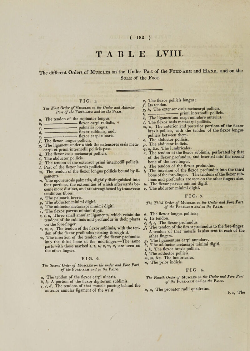 TABLE LVIII. The different Orders of Muscles on the Under Part of the Fore-arm and Hand, and on the Sole of the Foot. FIG. 1. The First Order of Muscles on the Under and Anterior Part of the Fore-arm and on the Palm. a, The tendon of the supinator longus. 1,_flexor carpi radialis. v C}__palmaris longus. j ---flexor sublimis, and, €i_flexor carpi ulnaris. /, The flexor longus pollicis. g, The ligament under which the extensores ossis meta¬ carpi et primi internodii pollicis pass. /*, The flexor ossis metacarpi pollicis. if The abductor pollicis. Jc, The tendon of the extensor primi internodii pollicis. l, Part of the flexor brevis pollicis. m, The tendon of the flexor longus pollicis bound by li¬ gaments. n. The aponeurosis palmaris, slightly distinguished into four portions, the extremities of which afterwards be¬ come more distinct, and are strengthened by transverse tendinous fibres. of The palmaris brevis. p, The abductor minimi digiti. q, The adductor metacarpi minimi digiti. r, The flexor parvus minimi digiti. s} t, u, Three small annular ligaments, which retain the tendons of the sublimis and profundus in their places on the fore-finger. v, Wf Xf The tendon of the flexor sublimis, with the ten¬ don of the flexor profundus passing through it. iv, The insertion of the tendon of the flexor profundus into the third bone of the mid-finger.—The same parts with those marked s, t, u} v, w, x, are seen on the other fingers. FIG. 2. The Second Order of Muscles on the under and Fore Part of the Fore-arm and on the Palm. e, The flexor pollicis longus ; f Its tendon. g, h, The extensor ossis metacarpi pollicis. i,__primi internodii pollicis. Jc, The ligamentum carpi annulare anterius. If The flexor ossis metacarpi pollicis. m, n, The anterior and posterior portions of the flexor brevis pollicis, with the tendon of the flexor longus pollicis between them. Of The abductor pollicis. Pf The abductor indicis. q, q, &c. The lumbricales. r, The tendon of the flexor sublimis, perforated by that of the flexor profundus, and inserted into' the second bone of the fore-finger. Sf The tendon of the flexor profundus. tf The insertion of the flexor profundus into the third bone of the fore-finger. The tendons of the flexor sub- limis and profundus are seen on the other fingers also. Uf The flexor parvus minimi digiti. Vj The abductor minimi digiti. F I G. 3. s The Third Order of Muscles on the Under and Fore Part of the Fore-arm and on the Palm. a, The flexor longus pollicis; bf Its tendon. Cf df e, The flexor profundus. ff The tendon of the flexor profundus to the fore-finger. A tendon of that muscle is also sent to each of the other fingers. gy The ligamentum carpi annulare. hf The adductor metacarpi minimi digiti. if Jc, The flexor brevis pollicis. l, The adductor pollicis. m, m, &c. The lumbricales. «, The prior indicis. FIG. 4. a, The tendon pf the flexor carpi ulnaris. . b, bf A portion of the flexor digitorum sublimis. e, Cf df The tendons of that muscle passing behind the anterior annular ligament of the wrist. The Fourth Order of Muscles on the Under and Fore Part of the Fore-arm and on the Palm. r, a, The pronator radii quadratus. bf Cf The