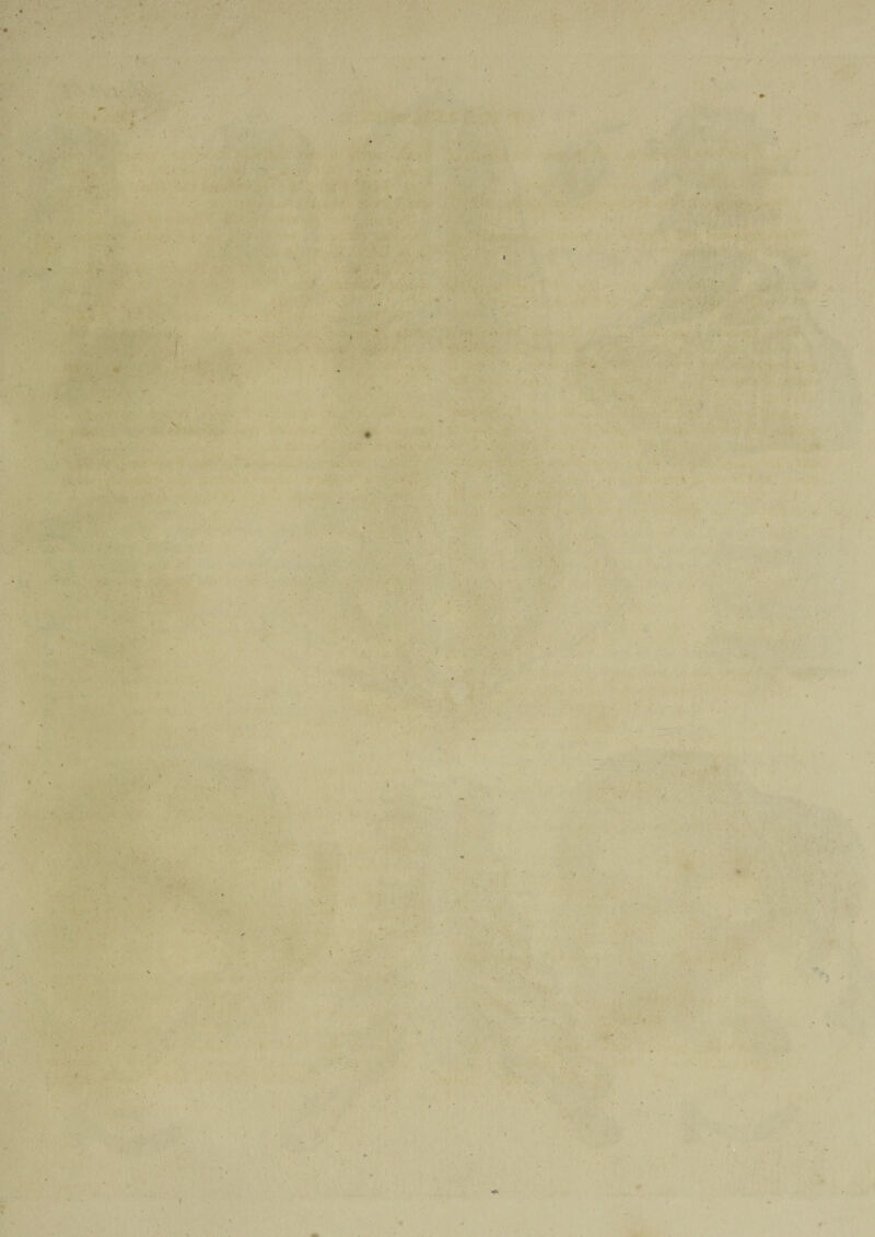 • • ’ • . • . . r ' ■ ' > . ‘ . • • * * * • ■ . • ■& -& ' ■. - ■ . • •..... . ■ ■ ' % l| ’ . • • - ' ’ . •• • . > „ . ■, - V ’ - „ - ■ ' *. . ■ . - , . . i ^ - ■ - ■ • - . . . . V ; ■ - , - - - ‘ ■ >. . - j - •* * ' - ' • :• , . *» • <’ • | * . ‘ y * • * ■* ' . : ' .