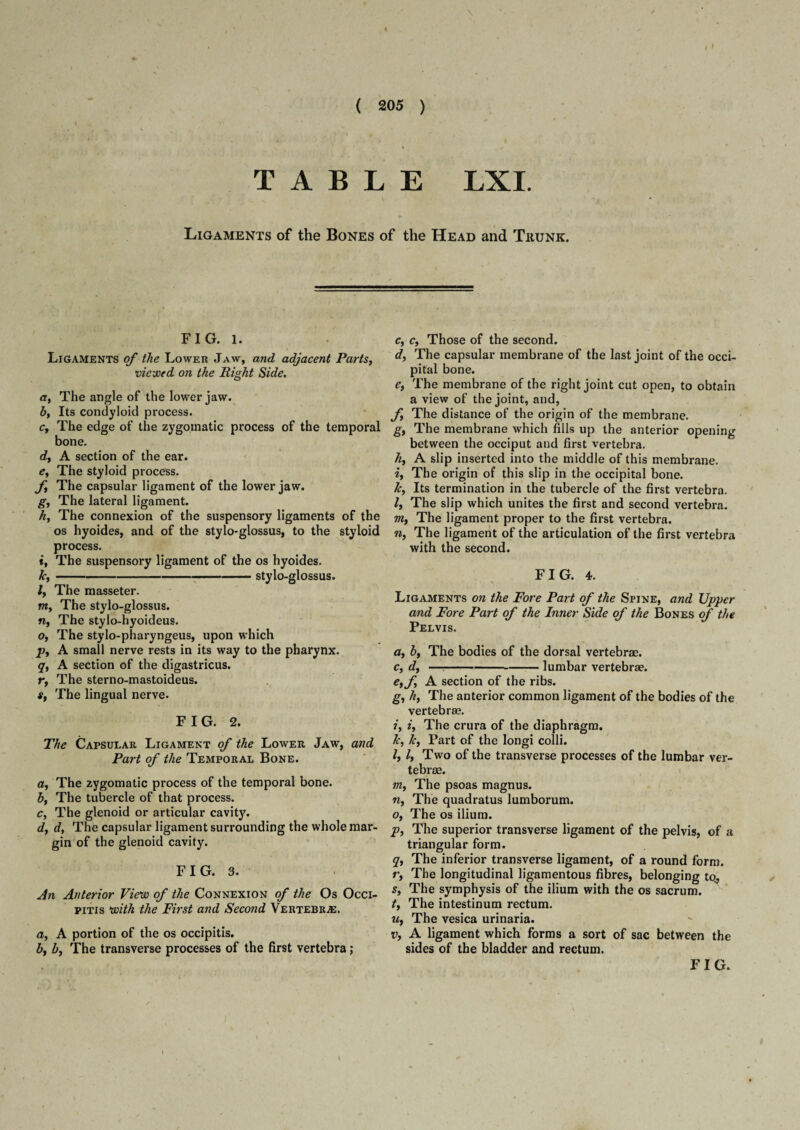 « \ / > ( 205 ) •* - > 9 * , ^ TABLE LXI. Ligaments of the Bones of the Head and Thunk. FIG. l. Ligaments of the Lower Jaw, and adjacent Parts, viewed on the Right Side. a, The angle of the lower jaw. by Its condyloid process. c, The edge of the zygomatic process of the temporal bone. d, A section of the ear. e, The styloid process. f The capsular ligament of the lower jaw. g, The lateral ligament. h, The connexion of the suspensory ligaments of the os hyoides, and of the stylo-glossus, to the styloid process. *, The suspensory ligament of the os hyoides. k,-stylo-glossus. /, The masseter. tn, The stylo-glossus. n, The stylo-hyoideus. o, The stylo-pharyngeus, upon which p, A small nerve rests in its way to the pharynx. q, A section of the digastricus. r, The sterno-mastoideus. s, The lingual nerve. FIG. 2. The Capsular Ligament of the Lower Jaw, and Part of the Temporal Bone. a, The zygomatic process of the temporal bone. b, The tubercle of that process. c, The glenoid or articular cavity. df d, The capsular ligament surrounding the whole mar¬ gin of the glenoid cavity. F I G. 3. An Anterior View of the Connexion of the Os Occi- pitis with the First and Second Vertebras. a, A portion of the os occipitis. by by The transverse processes of the first vertebra ; Cy Cy Those of the second. dy The capsular membrane of the last joint of the occi¬ pital bone. et The membrane of the right joint cut open, to obtain a view of the joint, and, fy The distance of the origin of the membrane. gy The membrane which fills up the anterior opening between the occiput and first vertebra. hy A slip inserted into the middle of this membrane. i, The origin of this slip in the occipital bone. ky Its termination in the tubercle of the first vertebra. ly The slip which unites the first and second vertebra. my The ligament proper to the first vertebra. n, The ligament of the articulation of the first vertebra with the second. FIG. 4. Ligaments on the Fore Part of the Spine, and Upper and Fore Part of the Inner Side of the Bones of the Pelvis. a, by The bodies of the dorsal vertebrae. Cy dy —----lumbar vertebrae. etfy A section of the ribs. gy hy The anterior common ligament of the bodies of the vertebrae. iy iy The crura of the diaphragm. ky ky Part of the longi colli. ly ly Two of the transverse processes of the lumbar ver¬ tebrae. ■my The psoas magnus. ny The quadratus lumborum. Oy The os ilium. p, The superior transverse ligament of the pelvis, of a triangular form. qy The inferior transverse ligament, of a round form, r, The longitudinal ligamentous fibres, belonging to., Sy The symphysis of the ilium with the os sacrum. ty The intestinum rectum. it. The vesica urinaria. v, A ligament which forms a sort of sac between the sides of the bladder and rectum. FIG. I